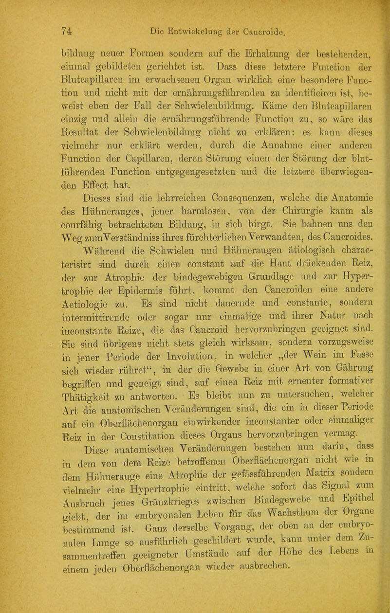 bildnng neuer Formen sondern auf die Erlialtung der bestehenden, einmal gebildeten gerichtet ist. Dass diese letztere Fnnctiun der Blntcapillaren im erwachsenen Organ wirhlich eine besondere Func- tion und nicht mit der ernährnngsführenden zm identificircn ist, l)e- weist eben der Fall der Schwielenbilduug. Käme den Blntcapillaren einzig und allein die eruährungsführeude Function zu, so wäre das Resultat der Schwielenbilduug nicht zu erklären: es kann dieses vielmehr nur erklärt werden, durch die Annahme einer anderen Function der Capillaren, deren Störung einen der Störung der blut- führenden Function entgegengesetzten und die letztere überwiegen- den Effect hat. Dieses sind die lehrreichen Cousequenzen, welche die Anatomie des Hühnerauges, jener harmlosen, von der Chirurgie kaum als courfähig betrachteten Bildung, in sich birgt. Sie bahnen uns den Wes zumVerständniss ihres fürchterlichen Verwandten, des Cancroides. Während die Schwielen und Hühneraugen ätiologisch charac- terisirt sind durch einen constant auf die Haut drückenden Reiz, der zur Atrophie der bindegewebigen Grundlage und zur Hyper- trophie der Epidermis führt, kommt den Caucroiden eine andere Aetiologie zu. Es sind nicht dauernde und constaute, sondern intermittirende oder sogar nur einmalige und ihrer Natur nach inconstante Reize, die das Cancroid hervorzubringen geeignet sind. Sie sind übrigens nicht stets gleich wirksam, sondern vorzugsweise in jener Periode der Involution, in welcher „der Wein im Fasse sich wieder rühret“, in der die Gewebe in einer Art von Gährung begriffen und geneigt sind, auf einen Reiz mit erneuter formativer Thätigkeit zu antworten. Es bleibt nnn zu untersuchen, welcher Art die anatomischen Veränderungen sind, die ein in dieser Periode auf ein Oberfiächenorgan einwirkender inconstanter oder einmaliger Reiz in der Constitution dieses Organs hervorzubriugen vermag. Diese anatomischen Veränderungen bestehen nmi dariu, dass in dem von dem Reize betroffenen Oberflächenorgau nicht wie in dem Hühnerauge eine Atrophie der gefässführenden Matrix sondern vielmehr eine Hypertrophie eintritt, welche sofort das Signal zum Ausbruch jenes Gränzkrieges zwischen Bindegewebe und Epithel giebt, der im embiyonalen Leben für das Wachsthum der Oigane bestimmend ist. Ganz derselbe Vorgang, der oben an der embiyo- nalen Lunge so ausführlich geschildert wurde, kann unter dem Zu- sammentreffen geeigneter Umstände auf der Höhe des Lebens m einem jeden Oberflächenorgan wieder ausbiechen.