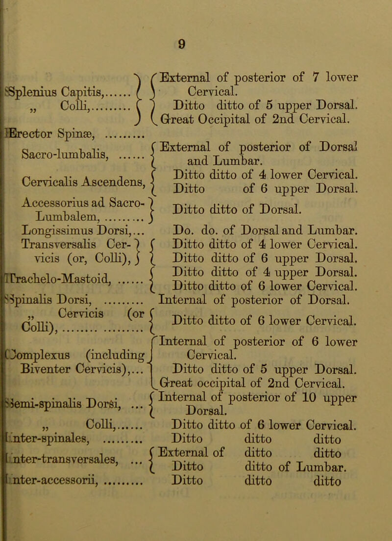 EElrector SpinsB, .. Sacro-lumbalis, Splenius Capitis,. CoUi,.... 1 Cervicalis Ascendens Accessorius ad Sacro Lumbalem, Longissimus Dorsi,., Transversalis Cer-) ( vicis (or, CoUi), j ( TTracbelo-Mastoid, Spinalis Dorsi, „ Cervicis (or C Colli), I External of posterior of 7 lower Cervical. Ditto ditto of 5 upper Dorsal. Q-reat Occipital of 2nd Cervical. External of posterior of Dorsal and Lumbar. Ditto ditto of 4 lower Cervical, Ditto of 6 upper Dorsal, Ditto ditto of Dorsal, Do, do. of Dorsal and Lumbar. Ditto ditto of 4 lower Cervical. Ditto ditto of 6 upper Dorsal. Ditto ditto of 4 upper Dorsal. Ditto ditto of 6 lower Cervical. Internal of posterior of Dorsal. Ditto ditto of 6 lower Cervical. □omplexus (including Biventer Cervicis),... Internal of posterior of 6 lower Cervical. Ditto ditto of 5 upper Dorsal, G-reat occipital of 2nd Cervical. ijemi.epma]i8 Dorsi, ... { „ Colli, Ditto ditto of 6 lower Cervical. iinter-spinales, Ditto ditto ditto iter-transveraales, ... ’ ( Ditto ditto of Lumbar. ■mter-accessorii, Ditto ditto ditto