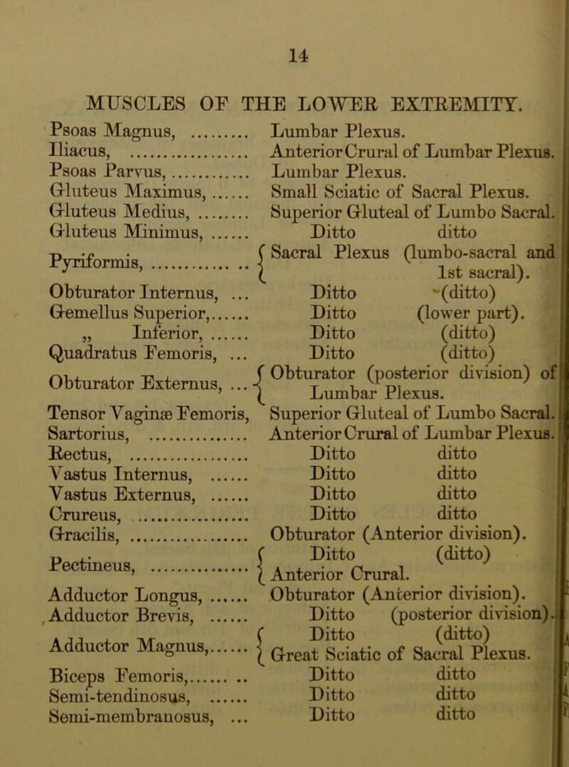 MUSCLES OF THE LOWEE EXTEEMITY. Psoas Magnus, Lumbar Plexus. Iliacus, AnteriorCrural of Lumbar Plexus. Psoas Parvus, Lumbar Plexus. Grluteus Maximus, Small Sciatic of Sacral Plexus. G-luteus Medius, Superior Grluteal of Lumbo Sacral. Grluteus Minimus, Ditto ditto p • (Sacral Plexus (lumbo-sacral and iryruormis, < i an/'ral'i f J.SI/ oaA^LcLxJ* ObturatorInternus, ... Ditto ''(ditto) G-emellus Superior, Ditto (lower part). „ Inferior, Ditto (ditto) Quadratus Femoris, ... Ditto (ditto) Obturator Evtemns ^ O^^^'^ator (posterior division) of ’ ( Lumbar Plexus. Tensor Vaginae Femoris, Superior Grluteal of Lumbo Sacral. Sartorius, AnteriorCrural of Lumbar Plexus. Eectus, Ditto ditto Vastus Internus, Ditto ditto Vastus Externus, Ditto ditto Crureus, Ditto ditto Oracilis, Obturator (Anterior division). D ,. ( Ditto (ditto) ^ I Anterior Crural. Adductor Longus, Obturator (Anterior division). , Adductor Brevis, Ditto (posterior dhdsion).; Adductor Magnus [ Greafsctatio of SairpLus. , Biceps Femoris, Ditto ditto ’ Semi-ten dinosiis, Ditto ditto Semi-membranosus, ... Ditto ditto