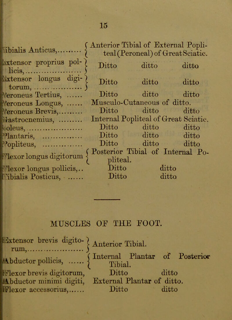 iibialia Anticus, liitensor proprius pol- licis, liitensor longus digi- torum, V’eronens Tertius, Veroneus Longus, Veroneus Brevis, iirastrocnemius, koleus, ’’lantaris, ’’opliteus, ' ^lexor longus digitorum ’ lexor longus poUicis,.. 'ibialis Posticus, Anterior Tibial of External Popli- teal (Peroneal) of Grreat Sciatic. Ditto ditto ditto Ditto ditto ditto Ditto ditto ditto Musculo-Cutaneous of ditto. Ditto ditto ditto Internal Popliteal of Great Sciatic Ditto ditto ditto Ditto ditto ditto Ditto ditto ditto Posterior Tibial of Internal Po' pliteal. Ditto ditto Ditto ditto MUSCLES OE THE FOOT. axtensor brevis digito- ) ^(.^rior Tibial. rum, ) • (Internal Plantar of Posterior A^-uductor poilicis, j TibiRl Hilexor brevis digitorum. Ditto ditto Hbductor minimi digiti. External Plantar of ditto. tPlexor accessorius, Ditto ditto