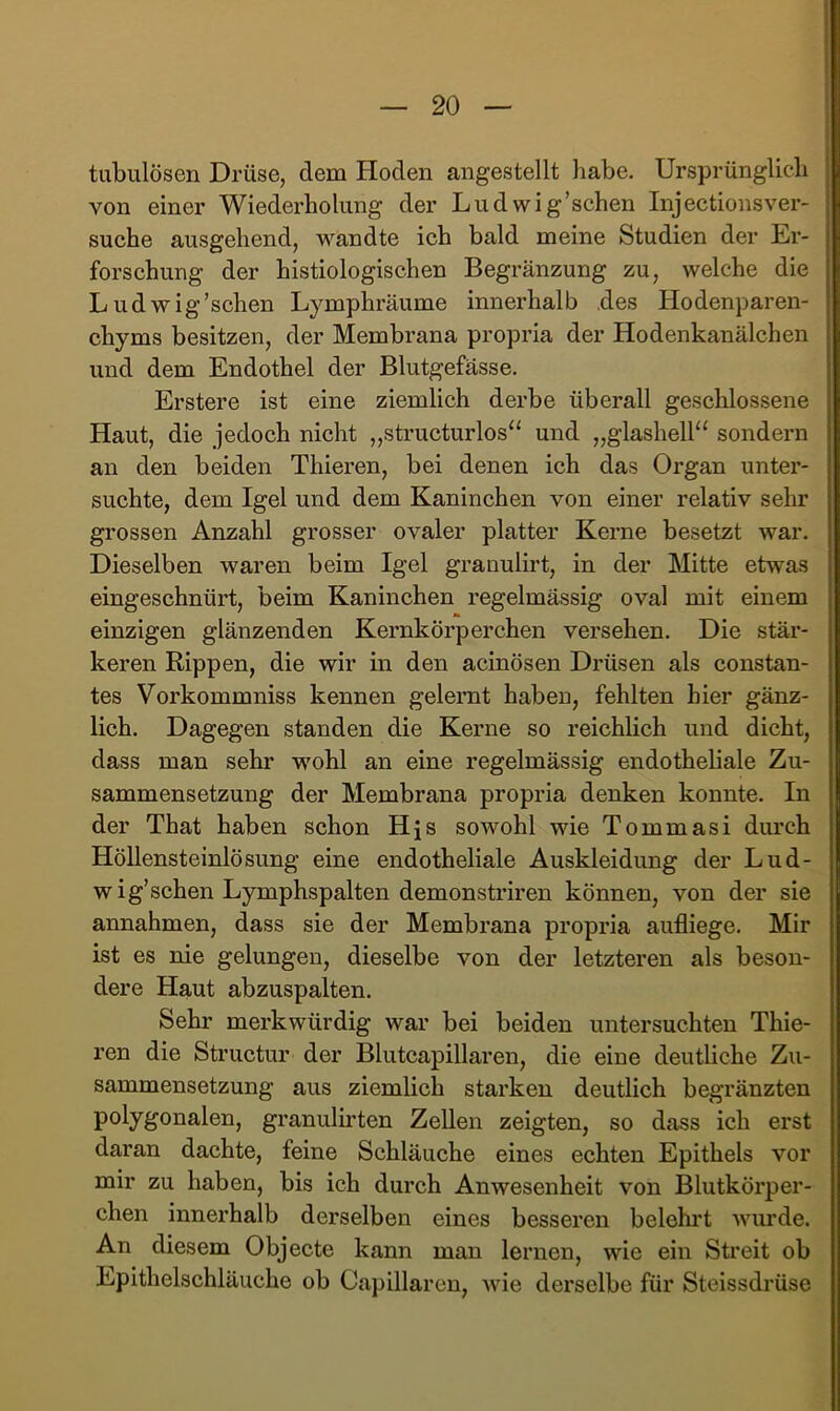 tubulösen Drüse, dem Hoden angestellt habe. Ursprünglich von einer Wiederholung der Ludwig’schen Injectionsver- suche ausgehend, wandte ich bald meine Studien der Er- forschung der histiologischen Begränzung zu, welche die Ludwig’schen Lymphräume innerhalb .des Hodenparen- chyms besitzen, der Membrana propria der Hodenkanälchen und dem Endothel der Blutgefässe. Erstere ist eine ziemlich derbe überall geschlossene Haut, die jedoch nicht ,,structurlos“ und „glashell“ sondern an den beiden Thieren, bei denen ich das Organ unter- suchte, dem Igel und dem Kaninchen von einer relativ sehr grossen Anzahl grosser ovaler platter Kerne besetzt war. Dieselben waren beim Igel granulirt, in der Mitte etwas eingeschnürt, beim Kaninchen regelmässig oval mit einem einzigen glänzenden Kernkörperchen versehen. Die stär- keren Rippen, die wir in den acinösen Drüsen als constan- tes Vorkommniss kennen gelernt haben, fehlten hier gänz- lich. Dagegen standen die Kerne so reichlich und dicht, dass man sehr wohl an eine regelmässig endotheliale Zu- sammensetzung der Membrana propria denken konnte. In der That haben schon Hjs sowohl wie Tommasi durch Höllensteinlösung eine endotheliale Auskleidung der Lud- wig’schen Lymphspalten demonstriren können, von der sie annahmen, dass sie der Membrana propria aufliege. Mir ist es nie gelungen, dieselbe von der letzteren als beson- dere Haut abzuspalten. Sehr merkwürdig war bei beiden untersuchten Thie- ren die Structur der Blutcapillaren, die eine deutliche Zu- sammensetzung aus ziemlich starken deutlich begränzten polygonalen, granulh’ten Zellen zeigten, so dass ich erst daran dachte, feine Schläuche eines echten Epithels vor mir zu haben, bis ich durch Anwesenheit von Blutkörper- chen innerhalb derselben eines besseren belehrt wui'de. An diesem Objecte kann man lernen, wie ein Streit ob Epithelschläuche ob Capillaren, wie derselbe für Steissdrüse