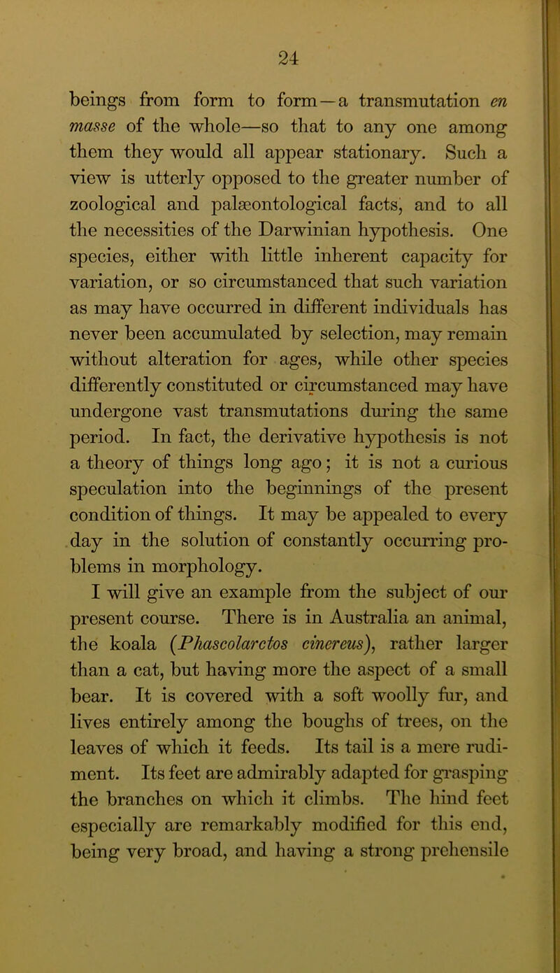 beings from form to form —a transmutation en masse of the whole—so that to any one among them they would all appear stationary. Such a view is utterly opposed to the greater number of zoological and palaeontological facts, and to all the necessities of the Darwinian hypothesis. One species, either with little inherent capacity for variation, or so circumstanced that such variation as may have occurred in different individuals has never been accumulated by selection, may remain without alteration for ages, while other species differently constituted or circumstanced may have undergone vast transmutations dmdng the same period. In fact, the derivative hypothesis is not a theory of things long ago; it is not a curious speculation into the beginnings of the present condition of things. It may be appealed to every .day in the solution of constantly occurring pro- blems in morphology. I will give an example from the subject of our present course. There is in Australia an animal, the koala [Phascolarctos cinereus), rather larger than a cat, but having more the aspect of a small bear. It is covered with a soft woolly fur, and lives entirely among the boughs of trees, on the leaves of which it feeds. Its tail is a mere rudi- ment. Its feet are admirably adapted for gi'asping the branches on which it climbs. The hind feet especially are remarkably modified for this end, being very broad, and having a strong prehensile