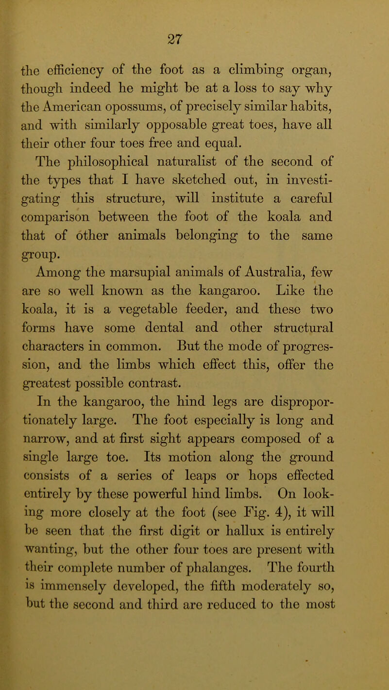 the efficiency of the foot as a climbing organ, though indeed he might be at a loss to say why the American opossums, of precisely similar habits, and with similarly opposable great toes, have all their other fom’ toes free and equal. The philosophical naturalist of the second of the types that I have sketched out, in investi- gating this structure, will institute a careful comparison between the foot of the koala and that of other animals belonging to the same group. Among the marsupial animals of Australia, few are so well known as the kangaroo. Like the koala, it is a vegetable feeder, and these two forms have some dental and other structural characters in common. But the mode of progres- sion, and the limbs which effect this, offer the greatest possible contrast. In the kangaroo, the hind legs are dispropor- tionately large. The foot especially is long and narrow, and at first sight appears composed of a single large toe. Its motion along the ground consists of a series of leaps or hops effected entirely by these powerful hind limbs. On look- ing more closely at the foot (see Fig. 4), it will be seen that the first digit or hallux is entirely wanting, but the other four toes are present with their complete number of phalanges. The fourth is immensely developed, the fifth moderately so, but the second and third are reduced to the most