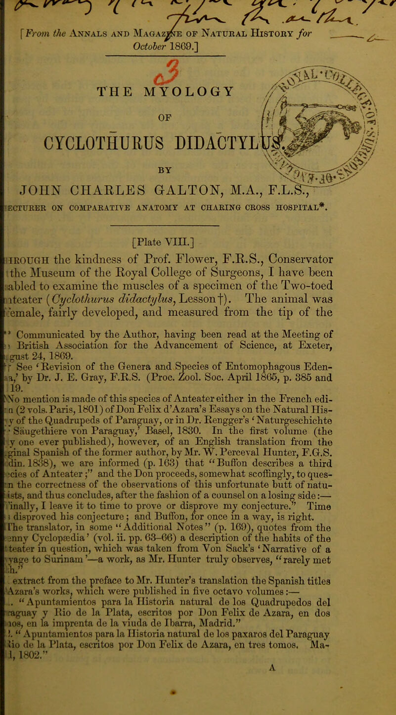 !J^E OP October 18G9.] [ Frow Me Annals and Magazj^e op Natural History for (3 THE MYOLOGY CYCLOTHURUS D BY JOHN CHAKLES GALLON, M.A., F.L.^., fecturer on comparative anatomy at charing cross hospital*. [Plate vm.] iiEOUGH tlie kindness of Prof. Flower, F.P.S., Conservator ’ the Museum of the Koyal College of Surgeons, I have been Fabled to examine the muscles of a specimen of the Two-toed Piiteater [CyclotJiurus Lessonf). The animal was ‘I’emale, fairly developed, and measured from the tip of the '* Communicated hy the Author, having been read at the Meeting of !5 British Association for the Advancement of Science, at Exeter, ;.gust 24, 18G9. b See ‘Kevision of the Genera and Species of Entomophagous Eden- aa,’ by Dr. J. E. Gray, F.R.S. (Proc. Zool. Soc. April 18G6, p. 386 and 19. '‘.Vo mention is made of this species of Anteater either in the French edi- r Q (2 Tols. Paris, 1801) of Don Felix d’Azara’s Essays on the Natural His- y of the Quadrupeds of Paraguay, or in Dr. Rengger’s ‘ Naturgeschichte • Saugethiere von Paraguay,^ Basel, 1830. In the first volume (the ;.y one ever published), however, of an English translation from the |.ginal Spanish of the former author, by Mr. W. Perceval Hunter, F.G.S. din. 18.38), we are informed (p. 163) that “ Buftbn describes a third jcies of Anteaterand the Don proceeds, somewhat scoffingly, to ques- n the correctness of the observations of this unfortunate butt of natu- ■ists, and thus concludes, after the fashion of a counsel on a losing side:— i'inally, I leave it to time to prove or disprove mj conjecture.” Time ) disproved his conjecture; and Buffon, for once in a way, is right. The translator, in some “Additional Notes” (p. 169), quotes from the enny Cyclopaedia ’ (vol. ii. pp. 63-66) a description of the habits of the tteater in question, which was taken from Von Sack’s ‘Narrative of a ya^e to Surinam ’—a work, as Mr. Hunter truly observes, “rarely met - ^ extract from the preface to Mr. Hunter’s translation the Spanish titles ►'Azara’s works, which were published in five octavo volumes:— .. “ Apuntamientos para la Historia natural de los Quadrupedos del rraguay y llio de la Plata, escritos por Don Felix de Azara, en dos nos, en la imprenta de la viuda de Ibarra, Madrid.” !. “ Apuntamientos para la Historia natural de los paxaros del Paraguay ‘ lio de la Plata, escritos por Don Felix de Azara, en tros tomos. Ma- 1, 1802.” A