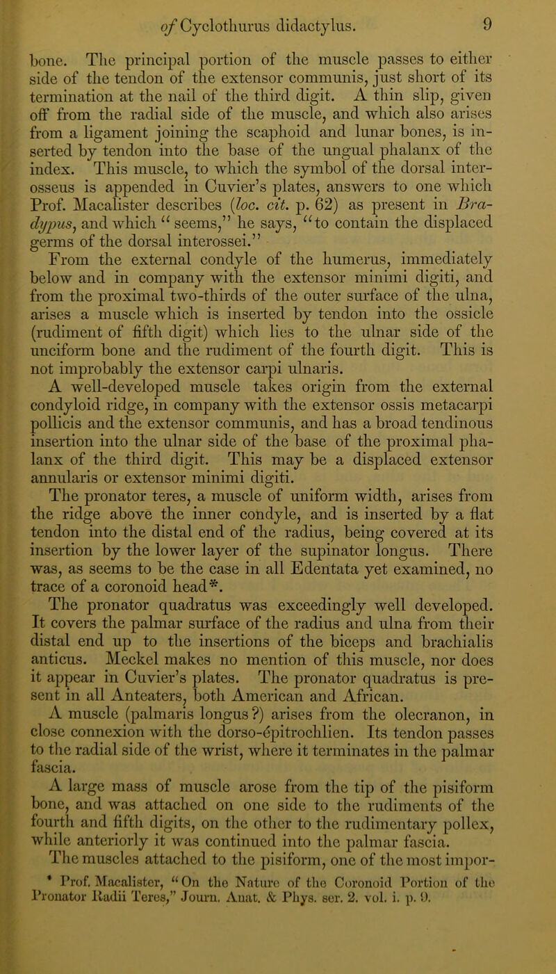 bone. The principal portion of the muscle passes to either side of the tendon of the extensor communis, just short of its termination at the nail of the third digit. A thin slip, given off from the radial side of the muscle, and which also arises from a ligament joining the scaphoid and lunar bones, is in- serted by tendon into the base of the ungual phalanx of the index. This muscle, to which the symbol of the dorsal inter- osseus is appended in Cuvier’s plates, answers to one which Prof. Macalister describes {loc. cit. p. 62) as present in Bra- dypuSj and which seems,” he says, ^^to contain the displaced germs of the dorsal interossei.” From the external condyle of the humerus, immediately below and in company with the extensor minimi digiti, and from the proximal two-thirds of the outer surface of the ulna, arises a muscle which is inserted by tendon into the ossicle (rudiment of fifth digit) which lies to the ulnar side of the unciform bone and the rudiment of the fourth digit. This is not improbably the extensor carpi ulnaris. A well-developed muscle takes origin from the external condyloid ridge, in company with the extensor ossis metacarpi pollicis and the extensor communis, and has a broad tendinous insertion into the ulnar side of the base of the proximal pha- lanx of the third digit. This may be a displaced extensor annularis or extensor minimi digiti. The pronator teres, a muscle of uniform width, arises from the ridge above the inner condyle, and is inserted by a flat tendon into the distal end of the radius, being covered at its insertion by the lower layer of the supinator longus. There was, as seems to be the case in all Edentata yet examined, no trace of a coronoid head*. The pronator quadratus was exceedingly well developed. It covers the palmar surface of the radius and ulna from their distal end up to the insertions of the biceps and brachialis anticus. Meckel makes no mention of this muscle, nor does it appear in Cuvier’s plates. The pronator quadi’atus is pre- sent in all Anteaters, both American and African. A muscle (palmaris longus ?) arises from the olecranon, in close connexion with the dorso-epitrochlien. Its tendon passes to tlie radial side of the wrist, where it terminates in the palmar fascia. A large mass of muscle arose from the tip of the pisiform bone, and was attached on one side to the rudiments of the fourth and fifth digits, on the otlicr to the rudimentary pollex, while anteriorly it was continued into the palmar fascia. The muscles attached to the pisiform, one of the most impor- * Prof. Macalister, “ On the Nature of the Coronoid Portion of the Pronator Radii Teres,” Joum. Auat. & Phys. ser, 2. vol. i. p.!).