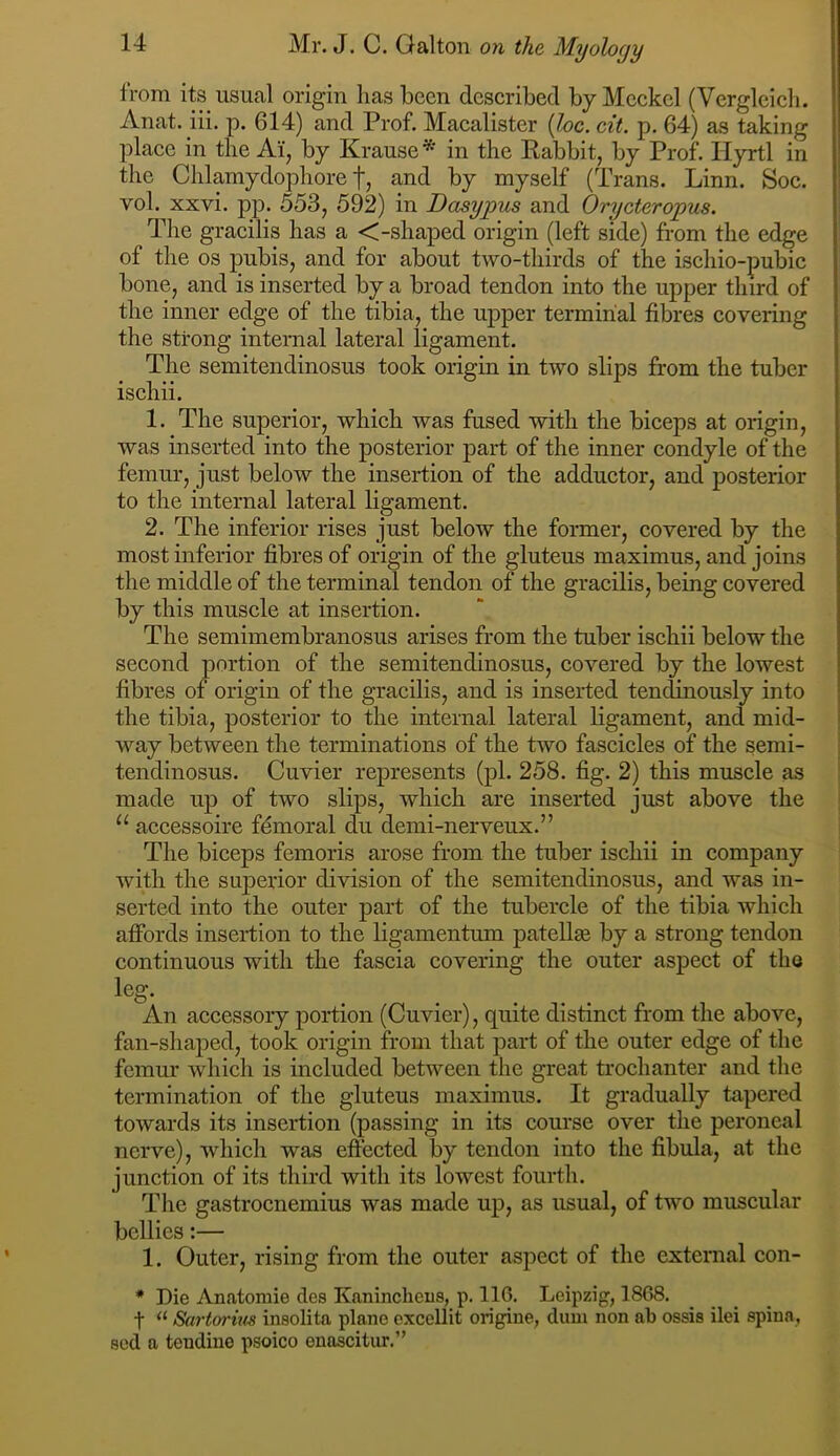 from its usual origin has been described by Meckel (Vcrgleich. Anat. iii. p. 614) and Prof. Macalister {loc. cit. p. 64) as taking place in the Ai, by Krause* in the Kabbit, by Prof. Hyrtl in the Chlamydophore t, and by myself (Trans. Linn. Soc. vol. xxvi. pp. 553, 592) in Dasypus and Orycteropus. The gracilis has a <-shaped origin (left side) from the edge of the os pubis, and for about two-thirds of the ischio-pubic bone, and is inserted by a broad tendon into the upper third of the inner edge of the tibia, the upper terminal fibres covering the strong internal lateral ligament. The semitendinosus took origin in two slips from the tuber ischii. 1. The superior, which was fused with the biceps at origin, was inserted into the posterior part of the inner condyle of the femur, just below the insertion of the adductor, and posterior to the internal lateral ligament. 2. The inferior rises just below the former, covered by the most inferior fibres of origin of the gluteus maximus, and joins the middle of the terminal tendon of the gracilis, being covered by this muscle at insertion. The semimembranosus arises from the tuber ischii below the second portion of the semitendinosus, covered by the lowest fibres of origin of the gracilis, and is inserted tendinously into the tibia, posterior to the internal lateral ligament, and mid- | way between the terminations of the two fascicles of the semi- | tendinosus. Cuvier represents (pi. 258. fig. 2) this muscle as made up of two slips, which are inserted just above the accessoire femoral du demi-nerveux.” The biceps femoris arose from the tuber ischii in company with the superior division of the semitendinosus, and was in- serted into the outer part of the tubercle of the tibia which afibrds insertion to the ligamentum patellse by a strong tendon continuous with the fascia covering the outer aspect of the An accessory portion (Cuvier), quite distinct from the above, fan-shajjed, took origin from that part of the outer edge of the femur which is included between the great trochanter and the termination of the gluteus maximus. It gradually tapered towards its insertion (passing in its course over the peroneal nerve), which was effected by tendon into the fibula, at the junction of its third with its lowest fourth. The gastrocnemius was made up, as usual, of two muscular bellies:— 1. Outer, rising from the outer aspect of the external con- * Die Anatomie des Kaninclieus, p. 116. Leipzig, 1868. t “ Sartm-ius insolita plane excellit origine, dum non ab ossis ilei spina, sod a tendiue psoico enascitur.”