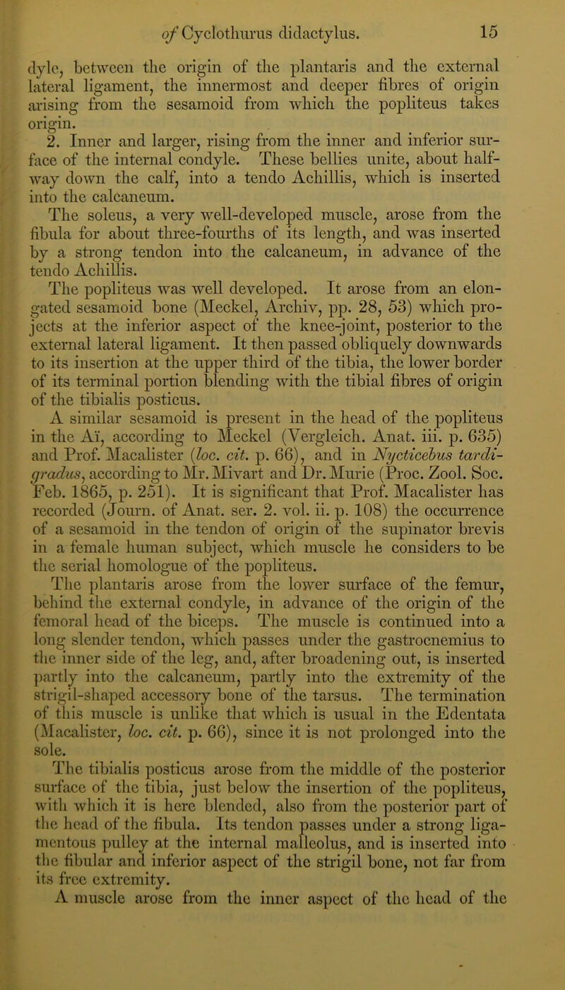 dylc, between the origin of the plantaris and the external lateral ligament, the innermost and deeper fibres of origin arising from the sesamoid from which the poplitens takes origin. 2. Inner and larger, rising from the inner and inferior sur- face of the internal condyle. These bellies unite, about half- way down the calf, into a tendo Achillis, which is inserted into the calcaneum. The soleus, a very well-developed muscle, arose from the fibula for about three-fourths of its length, and was inserted by a strong tendon into the calcaneum, in advance of the tendo Achillis. The popliteus was well developed. It arose from an elon- gated sesamoid bone (Meckel, Archiv, pp. 28, 53) which pro- jects at the inferior aspect of the knee-joint, posterior to the external lateral ligament. It then passed obliquely downwards to its insertion at the upper third of the tibia, the lower border of its terminal portion blending with the tibial fibres of origin of the tibialis posticus. A similar sesamoid is present in the head of the popliteus in the Ai, according to Meckel (Vergleich. Anat. iii. p. 635) and Prof. Macalister [loc. cit. p. 66), and in Nycticehus tardi- gradus^ according to Mr. Mivart and Dr. Murie (Proc. Zool. Soc. Feb. 1865, p. 251). It is significant that Prof. Macalister has recorded (Journ. of Anat. ser. 2. vol. ii. p. 108) the occurrence of a sesamoid in the tendon of origin of the supinator brevis in a female human subject, which muscle he considers to be the serial homologue of the popliteus. The plantaris arose from the lower surface of the femur, behind the external condyle, in advance of the origin of the femoral head of the biceps. The muscle is continued into a long slender tendon, which passes under the gastrocnemius to the inner side of the leg, and, after broadening out, is inserted partly into the calcaneum, partly into the extremity of the strigil-shaped accessory bone of the tarsus. The termination of this muscle is unlike that which is usual in the Edentata (Macalister, loc. cit. p. 66), since it is not prolonged into the sole. The tibialis posticus arose from the middle of the posterior surface of the tibia, just below the insertion of the popliteus, with which it is here blended, also from the posterior part of tlie head of tlie fibula. Its tendon passes under a strong liga- mentous pulley at the internal malleolus, and is inserted into the fibular and inferior aspect of the strigil bone, not far from its free extremity. A muscle arose from the inner aspect of the head of the