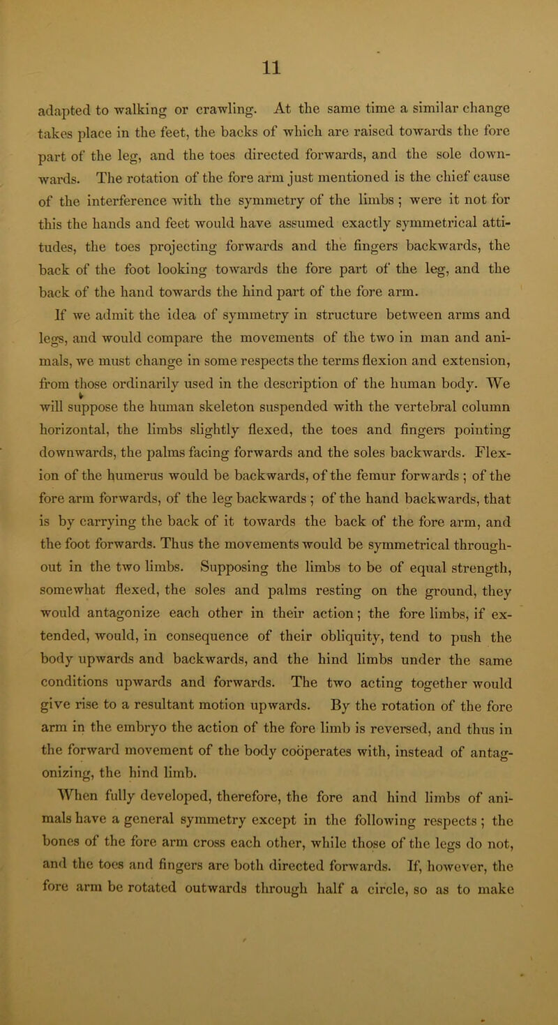 adapted to walking or crawling. At the same time a similar change takes place in the feet, the backs of which are raised towards the fore part of the leg, and the toes directed forwards, and the sole down- wards. The rotation of the fore arm just mentioned is the chief cause of the interference with the symmetry of the limbs ; were it not for this the hands and feet would have assumed exactly symmetrical atti- tudes, the toes projecting forwards and the fingers backwards, the back of the foot looking towards the fore part of the leg, and the back of the hand towards the hind part of the fore arm. If we admit the idea of symmetry in structure between arms and legs, and would compare the movements of the two in man and ani- mals, we must change in some respects the terms flexion and extension, from those ordinai'ily used in the description of the human body. We will suppose the human skeleton suspended with the vertebral column horizontal, the limbs slightly flexed, the toes and fingers pointing downwards, the palms facing forwards and the soles backwards. Flex- ion of the humerus would be backwards, of the femur forwards ; of the fore arm forwards, of the leg backwards ; of the hand backwards, that is by carrying the back of it towards the back of the fore arm, and the foot forwards. Thus the movements would be symmetrical through- out in the two limbs. Supposing the limbs to be of equal strength, somewhat flexed, the soles and palms resting on the ground, they would antagonize each other in their action; the fore limbs, if ex- tended, would, in consequence of their obliquity, tend to push the body upwards and backwards, and the hind limbs under the same conditions upwards and forwards. The two acting together would give rise to a resultant motion upwards. By the rotation of the fore arm in the embryo the action of the fore limb is revereed, and thus in the forward movement of the body cooperates with, instead of antag- onizing, the hind limb. When fully developed, therefore, the fore and hind limbs of ani- mals have a general symmetry except in the following respects; the bones of the fore arm cross each other, while those of the legs do not, and the toes and fingers are both directed forwards. If, however, the fore arm be rotated outwards through half a circle, so as to make