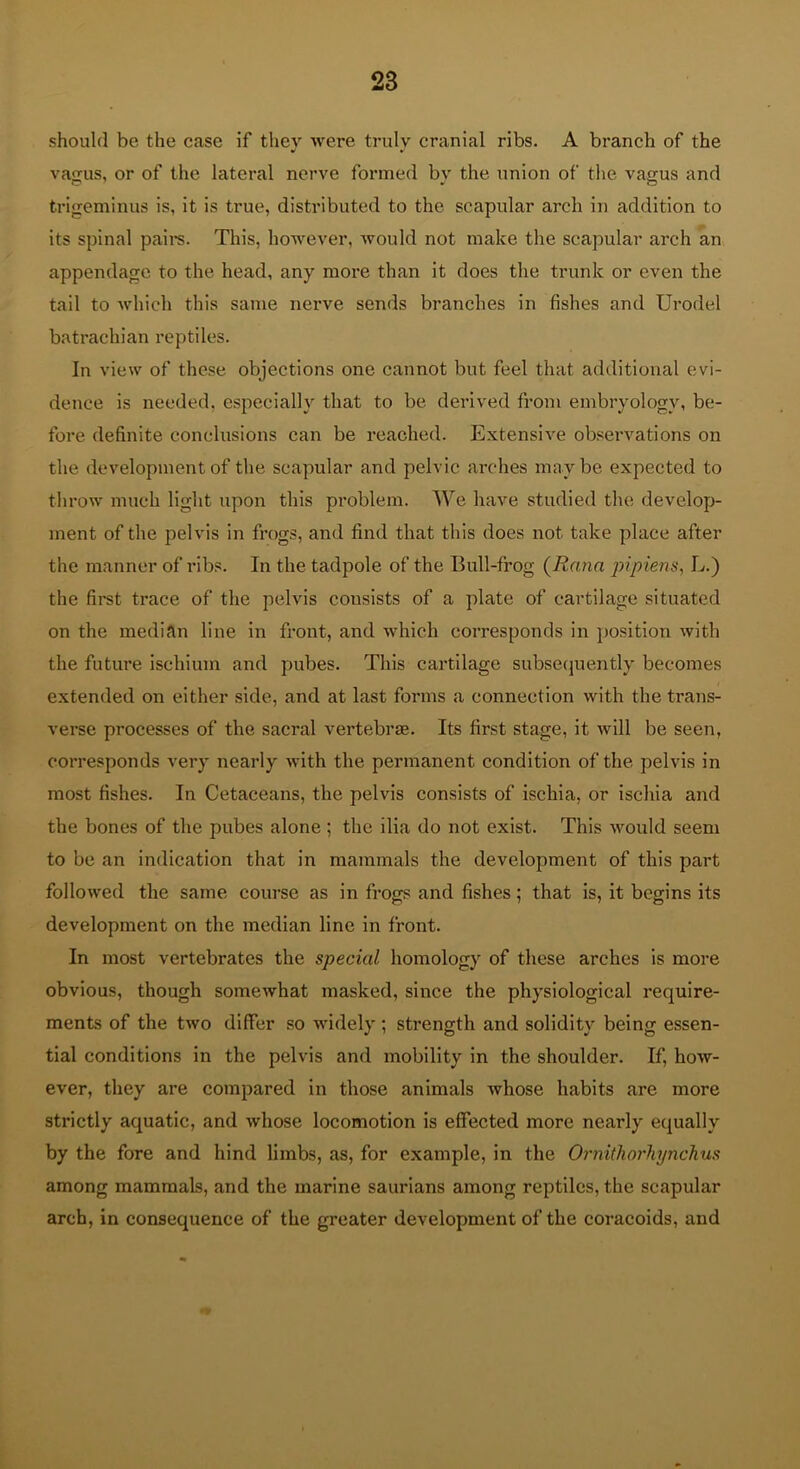 should be the case if thev were trulv cranial ribs. A branch of the y » vagus, or of the lateral nerve formed by the union of the vagus and trigeminus is, it is true, distributed to the scapular arch in addition to its spinal pail's. This, however, would not make tlie scapular arch an appendage to the head, any more than it does the trunk or even the tail to which this same nerve sends branches in fishes and Urodel batrachian reptiles. In view of these objections one cannot but feel that additional evi- dence is needed, especially that to be derived from embryology, be- fore definite conclusions can be reached. Extensive observations on the development of the scapular and pelvic arches maybe expected to throw much light upon this problem. We have studied the develop- ment of the pelvis in frogs, and find that this does not take place after the manner of ribs. In the tadpole of the Bull-frog {Rann pipiens, L.) the first trace of the pelvis consists of a plate of cartilage situated on the median line in front, and which corresponds in position with the future ischium and pubes. This cartilage subsecjuently becomes e.xtended on either side, and at last forms a connection with the trans- verse processes of the sacral vertebra. Its first stage, it will be seen, corresponds very nearly with the permanent condition of the pelvis in most fishes. In Cetaceans, the pelvis consists of ischia, or ischia and the bones of the pubes alone ; the ilia do not exist. This would seem to be an indication that in mammals the development of this part followed the same course as in frogs and fishes; that is, it begins its development on the median line in front. In most vertebrates the special homology of these arches is more obvious, though somewhat masked, since the physiological require- ments of the two differ so widely ; strength and solidity being essen- tial conditions in the pelvis and mobility in the shoulder. If, how- ever, they are compared in those animals whose habits are more strictly aquatic, and whose locomotion is effected more nearly equally by the fore and hind limbs, as, for example, in the Ornithorhynchus among mammals, and the marine saurians among reptiles, the scapular arch, in consequence of the greater development of the coracoids, and