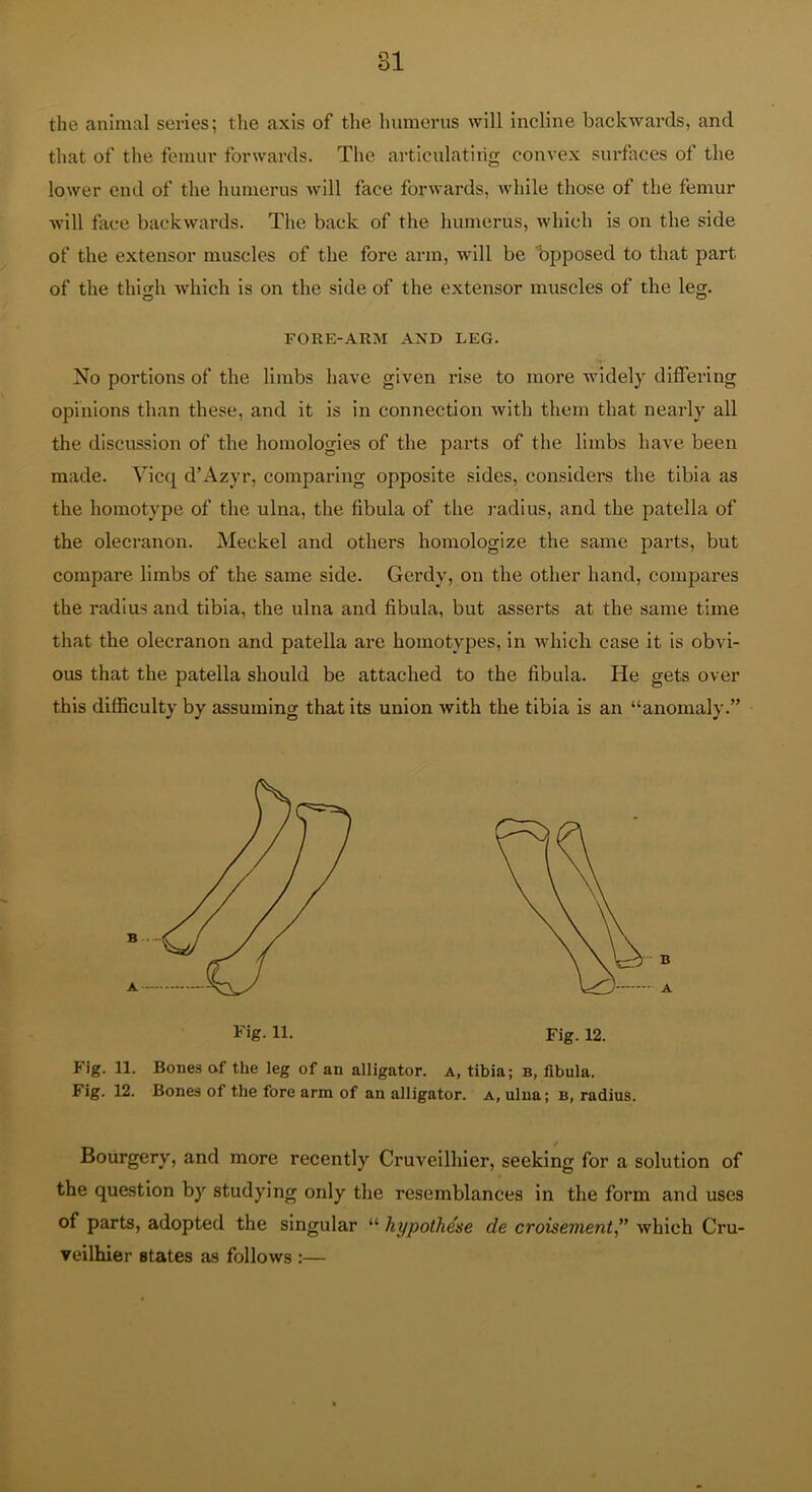 the animal series; the axis of the humerus will incline backwards, and that of the femur forwards. The articulating convex surfaces of the lower end of the humerus will face forwards, while those of the femur will face backwards. The back of the humerus, which is on the side of the extensor muscles of the fore arm, will be bpposed to that part of the thio;h which is on the side of the extensor muscles of the leg. o o FORE-ARM AND LEG. No portions of the limbs have given rise to more wddely differing opinions than these, and it is in connection with them that nearly all the discussion of the homologies of the parts of the limbs have been made. Vicq d’Azyr, comparing opposite sides, considers the tibia as the homotype of the ulna, the fibula of the radius, and the patella of the olecranon. Meckel and others homologize the same parts, but compare limbs of the same side. Gerdy, on the other hand, compares the radius and tibia, the ulna and fibula, but asserts at the same time that the olecranon and patella are homotypes, in which case it is obvi- ous that the patella should be attached to the fibula. He gets over this difficulty by assuming that its union with the tibia is an “anomaly.” Fig. 12. Fig. n. Bones of the leg of an alligator, a, tibia; b, fibula. Fig. 12. Bones of the fore arm of an alligator, a, ulna; B, radius. Bourgery, and more recently Cruvellhier, seeking for a solution of the question by studying only the resemblances in the form and uses of parts, adopted the singular “ hypothese de croisement” which Cru- veilhier states as follows :—