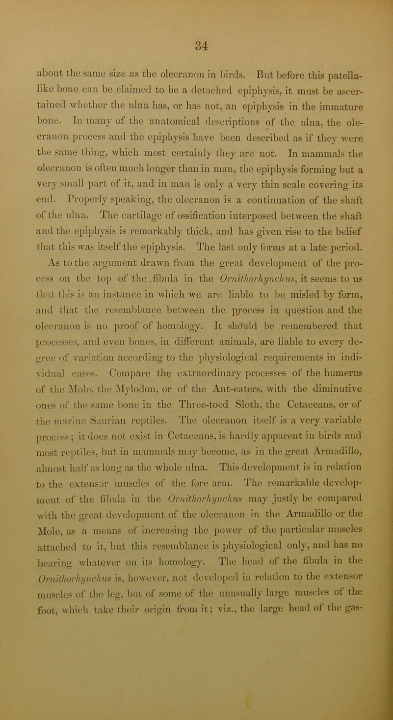 about the same size as the olecranon in birds. But before this patella- like bone can be claimed to be a detached epiphysis, it must be ascer- tained whether the ulna has, or has not, an epiphysis in the immature bone. In many of the anatomical descriptions of the ulna, the ole- cranon jjrocess and the epiphysis have been described as if they were the same thing, which most certainly they are not. In mammals the olecranon is often much longer than in man, the e^Diphysis forming but a very small part of it, and in man is only a very thin scale covering its end. Properly speaking, the olecranon is a continuation of the shaft of the ulna. The cartilage of ossification interposed between the shaft and the epiphysis is remarkably thick, and has given rise to the belief that this was itself the epiphysis. The last only forms at a late period. As to the argument drawn from the great development of the pro- cess on the top of the .fibula in the OrnitJiorhynchus, it seems to us that this is an instance in which we are liable to be misled by form, and that the resemblance between the p,rocess in question and the olecranon is no proof of homology. It should be remembered that processes, and even bones, in different animals, are liable to every de- gree of vai-iation according to the physiological requirements in indi- vidual casi!S. Compare the extraordinary processes of the humerus of the Mole, the Mylodon, or of the Ant-eaters, with the diminutive ones of the same bone in the Three-toed Sloth, the Cetaceans, or of the marine Saurian reptiles. The olecranon itself is a very variable process; it does not exist in Cetaceans, is hardly apparent in birds and most reptiles, but In mammals may become, as in the great Armadillo, almost half as long as the whole ulna. This development is in relation to the e.xteusor muscles of the fore arm. The remarkable develop- ment of the fibula in the Oraithorhynchus may justly be comj)ared with the great development of the oleci’amm in the Armadillo or the Mole, as a means of increasing the power of the particular muscles attached to it, but this resemblance is physiological only, and has no bearing whatever on its homology. The lu^ad of the fibula in the Oi-nithorhynclius is, however, not developed in relation to the extensor muscles of the leg, but of some of the unusually laigc muscles of the foot, wlfu'h take their origin from it; viz., the large head of the gas-