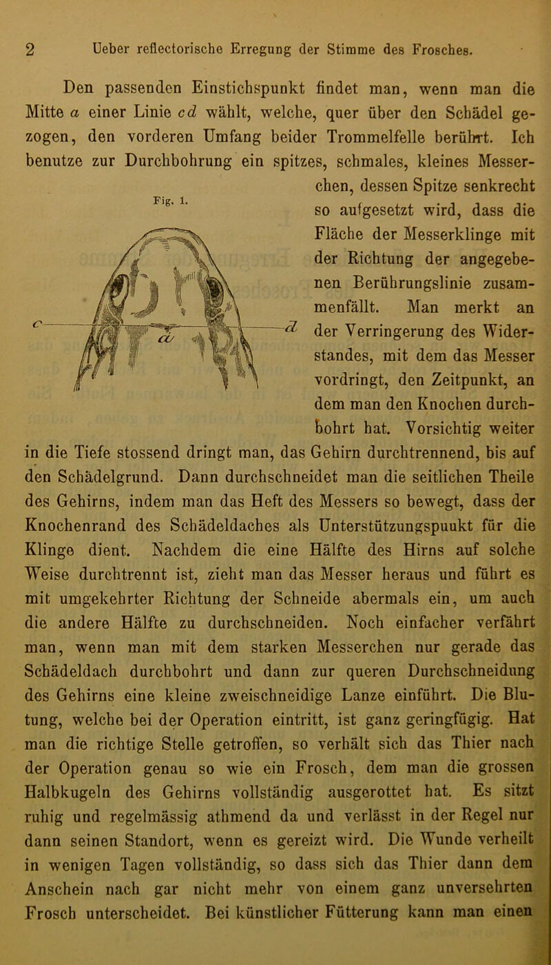Den passenden Einstichspunkt findet man, wenn man die Mitte a einer Linie cd wählt, welche, quer über den Schädel ge- zogen, den vorderen Umfang beider Trommelfelle berührt. Ich benutze zur Durchbohrung ein spitzes, schmales, kleines Messer- chen, dessen Spitze senkrecht so aufgesetzt wird, dass die Fläche der Messerklinge mit der Richtung der angegebe- nen Berührungslinie zusam- menfällt. Man merkt an der Verringerung des Wider- standes, mit dem das Messer vordringt, den Zeitpunkt, an dem man den Knochen durch- bohrt hat. Vorsichtig weiter in die Tiefe stossend dringt man, das Gehirn durchtrennend, bis auf den Schädelgrund. Dann durchschneidet man die seitlichen Theile des Gehirns, indem man das Heft des Messers so bewegt, dass der Knochenrand des Schädeldaches als ünterstützungspuukt für die Klinge dient. Nachdem die eine Hälfte des Hirns auf solche Weise durchtrennt ist, zieht man das Messer heraus und führt es mit umgekehrter Richtung der Schneide abermals ein, um auch die andere Hälfte zu durchschneiden. Noch einfacher verfährt man, wenn man mit dem starken Messerchen nur gerade das Schädeldach durchbohrt und dann zur queren Durchschneidung des Gehirns eine kleine zweischneidige Lanze einführt. Die Blu- tung, welche bei der Operation eintritt, ist ganz geringfügig. Hat man die richtige Stelle getroffen, so verhält sich das Thier nach der Operation genau so wie ein Frosch, dem man die grossen Halbkugeln des Gehirns vollständig ausgerottet hat. Es sitzt ruhig und regelmässig athmend da und verlässt in der Regel nur dann seinen Standort, wenn es gereizt wird. Die Wunde verheilt in wenigen Tagen vollständig, so dass sich das Thier dann dem Anschein nach gar nicht mehr von einem ganz unversehrten Frosch unterscheidet. Bei künstlicher Fütterung kann man einen Fig. 1.