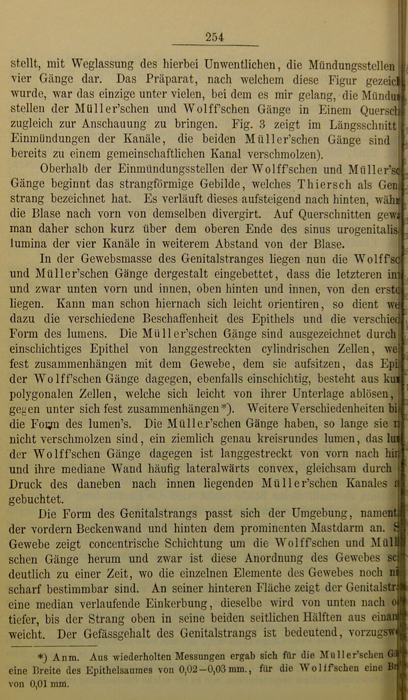 l! 254 stellt, mit Weglassung des hierbei Unwentlichen, die Mündungsstellen | vier Gänge dar. Das Präparat, nach welchem diese Figur gezeicll wurde, war das einzige unter vielen, bei dem es mir gelang, die MünduÄ stellen der Müller’schen und Wolffschen Gänge in Einem QuersclJ zugleich zur Anschauung zu bringen. Fig. 3 zeigt im Längsschnitt Einmündungen der Kanäle, die beiden Müller’schen Gänge sind bereits zu einem gemeinschaftlichen Kanal verschmolzen). Oberhalb der Einmtindungsstellen der Wolffschen und Müller’st Gänge beginnt das strangförmige Gebilde, welches Thiersch als Gen Strang bezeichnet hat. Es verläuft dieses aufsteigend nach hinten, wähl die Blase nach vorn von demselben divergirt. Auf Querschnitten gewi man daher schon kurz über dem oberen Ende des sinus urogenitalis lumiua der vier Kanäle in weiterem Abstand von der Blase. 1 “ In der Gewebsmasse des Genitalstranges liegen nun die W’’olffsq und Müller’scheii Gänge dergestalt eingebettet, dass die letzteren inj! . und zwar unten vorn und innen, oben hinten und innen, von den erst() liegen. Kann man schon hiernach sich leicht orientiren, so dient wtj dazu die verschiedene Beschaffenheit des Epithels und die verschied , Form des lumens. Die Müller’schen Gänge sind ausgezeichnet durch| ‘ einschichtiges Epithel von langgestreckten cylindrischen Zellen, we fest Zusammenhängen mit dem Gewebe, dem sie aufsitzen, das Epi der Wolffschen Gänge dagegen, ebenfalls einschichtig, besteht aus k polygonalen Zellen, welche sich leicht von ihrer Unterlage ablösen gegen unter sichtest Zusammenhängen Weitere Verschiedenheiten bi die Foi;ni des lumen’s. Die Mülle.r’schen Gänge haben, so lange sie n nicht verschmolzen sind, ein ziemlich genau kreisrundes lumen, das lul der W^olffsehen Gänge dagegen ist langgestreckt von vorn nach hii und ihre mediane Wand häufig lateralwärts convex, gleichsam durch Druck des daneben nach innen liegenden Müller’schen Kanales i gebuchtet. Die Form des Genitalstrangs passt sich der Umgebung, nament der vordem Beckenwand und hinten dem prominenten Mastdarm an. £ Gewebe zeigt concentrische Schichtung um die Wolffschen und Müll sehen Gänge herum und zwar ist diese Anordnung des Gewebes sc deutlich zu einer Zeit, wo die einzelnen Elemente des Gewebes noch ni scharf bestimmbar sind. An seiner hinteren Fläche zeigt der Genitalstr eine median verlaufende Einkerbung, dieselbe wird von unten nach o tiefer, bis der Strang oben in seine beiden seitlichen Hälften aus einan weicht. Der Gefässgehalt des Geuitalstrangs ist bedeutend, vorzugswi *) Anm. Aus wiederholten Messungen ergab sich für die Müller’schen Gj eine Breite des Epithelsauraes von 0,02—0,03 mm., für die Wolifschen eine Bi von 0,01 mm.