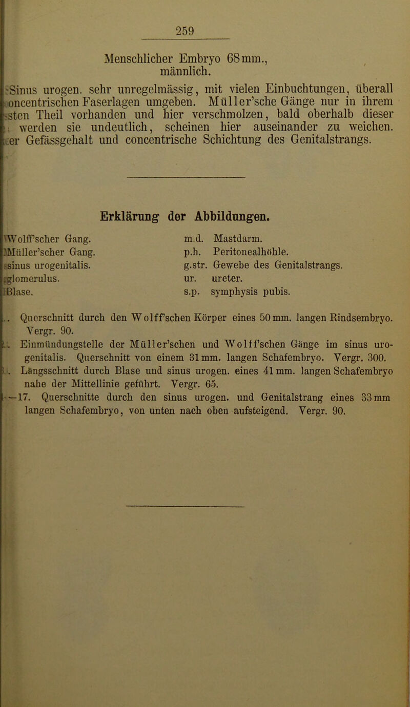 Menschlicher Embryo 68 mm. männlich. 'Sinus urogen. sehr unregelmässig, mit vielen Einbuchtungen, überall ioncentrischen Faserlagen umgeben. Müller’sche Gänge nur in ihrem ^sten Theil vorhanden und hier verschmolzen, bald oberhalb dieser ;; werden sie undeutlich, scheinen hier auseinander zu weichen, ter Gefässgehalt und concentrische Schichtung des Genitalstrangs. .. Querschnitt durch den Wolff sehen Körper eines 50 mm. langen Rindsembryo. Vergr. 90. Einmündungstelle der Müller’schen und Wolffschen Gänge im sinus uro- genitalis. Querschnitt von einem 31mm. langen Schafembryo. Vergr. 300. 1 . Längsschnitt durch Blase und sinus urogen. eines 41 mm. langen Schafemhryo nahe der Mittellinie geführt. Vergr. 65. —17. Querschnitte durch den sinus urogen. und Genitalstrang eines 33 mm langen Schafembryo, von unten nach oben aufsteigend. Vergr. 90. Erklärung der Abbildungen. I Blase. ^Wolff’scher Gang. >Müller’scher Gang, jsinus urogenitalis. cglomerulus. m.d. Mastdarm. p.h. Peritonealhohle. g.str. Gewebe des Genitalstrangs. ur. ureter. s.p. symphysis pubis.