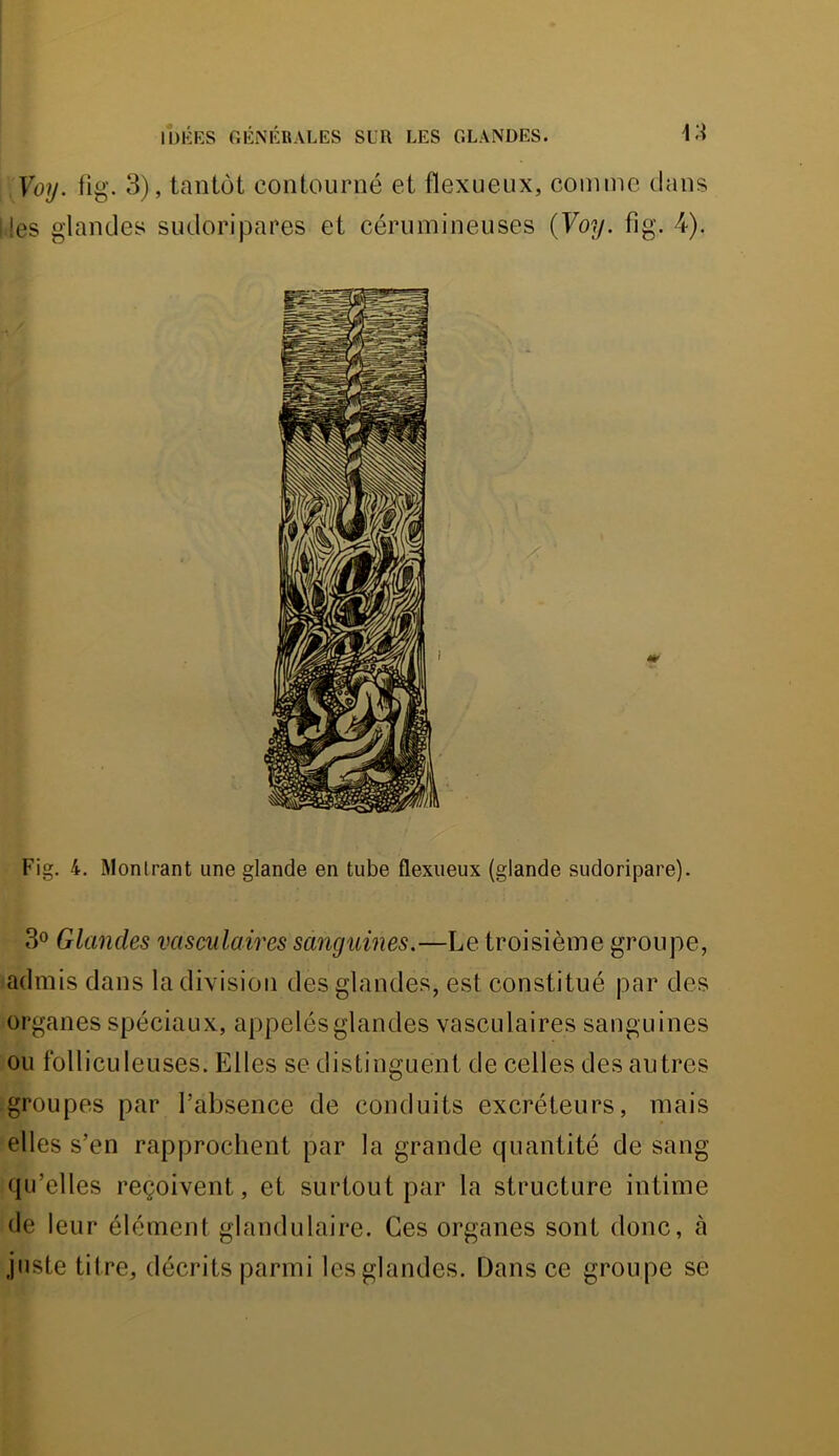 Voy. fîg. 3), tantôt contourné et fïexuenx, comme dans les glandes sudoripares et cérumineuses {Voy. fig. 4). Fig. 4. Montrant une glande en tube flexueux (glande sudoripare). 3° Glandes vasculaires sanguines.—Le troisième groupe, admis dans la division des glandes, est constitué par des organes spéciaux, appelés glandes vasculaires sanguines ou folliculeuses. Elles se distinguent de celles des autres groupes par l’absence de conduits excréteurs, mais elles s’en rapprochent par la grande quantité de sang qu’elles reçoivent, et surtout par la structure intime de leur élément glandulaire. Ces organes sont donc, à juste titre, décrits parmi les glandes. Dans ce groupe se