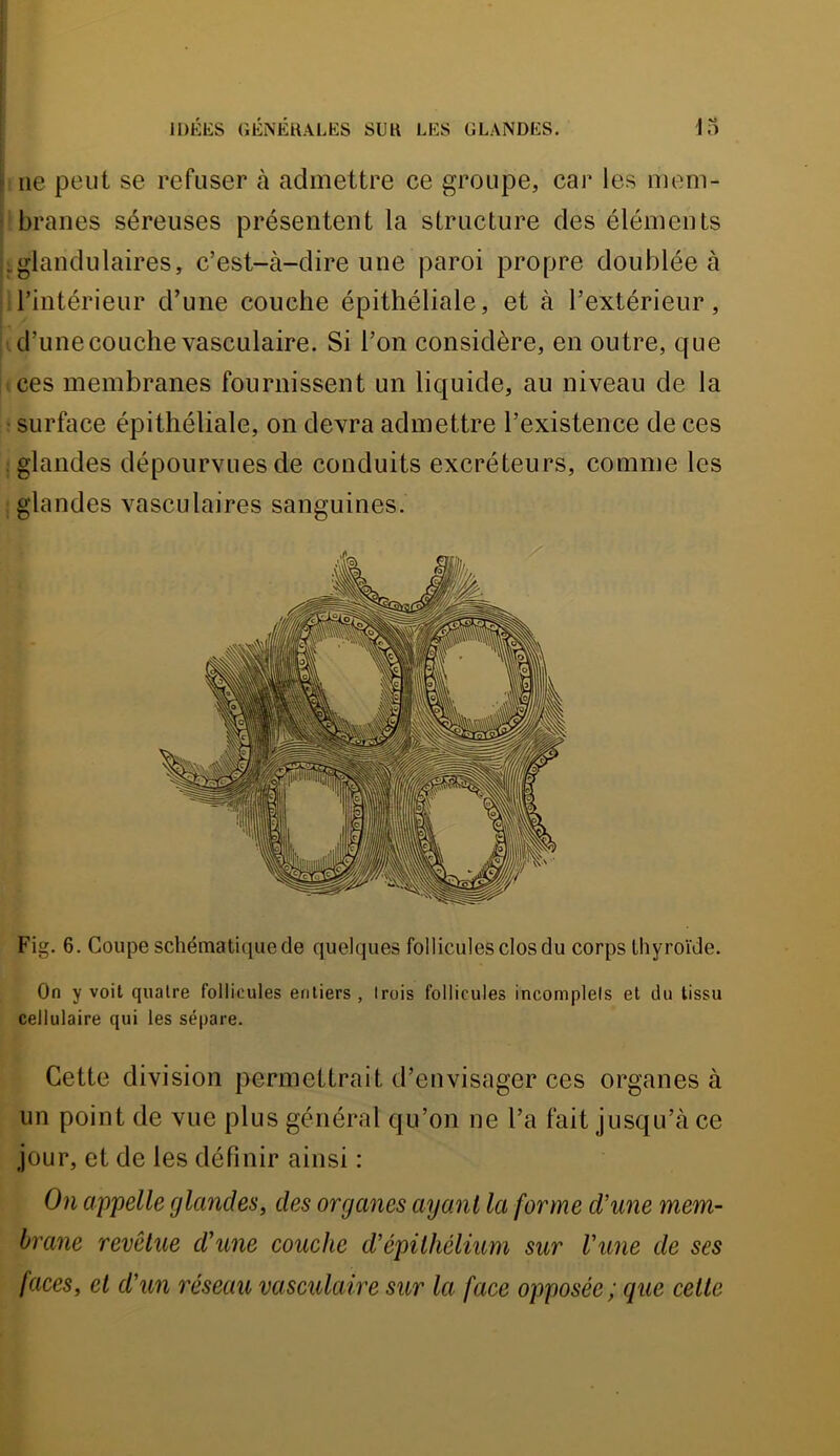 ne peut se refuser à admettre ce groupe, car les mem- branes séreuses présentent la structure des éléments iglandulaires, c’est-à-dire une paroi propre doublée à 1 l’intérieur d’une couche épithéliale, et à l’extérieur, ; d’une couche vasculaire. Si l’on considère, en outre, que (Ces membranes fournissent un liquide, au niveau de la • surface épithéliale, on devra admettre l’existence de ces : glandes dépourvues de conduits excréteurs, comme les •.glandes vasculaires sanguines. Fig. 6. Coupe schématique de quelques follicules clos du corps thyroïde. On y voit quatre follicules entiers , trois follicules incomplets et du tissu cellulaire qui les sépare. Cette division permettrait d’envisager ces organes à un point de vue plus général qu’on ne l’a fait jusqu’à ce jour, et de les définir ainsi : On appelle glandes, des organes ayant la forme d’une mem- brane revêtue d’une couche d’épithélium sur l’une de ses faces, et d’un réseau vasculaire sur la face opposée; que cette