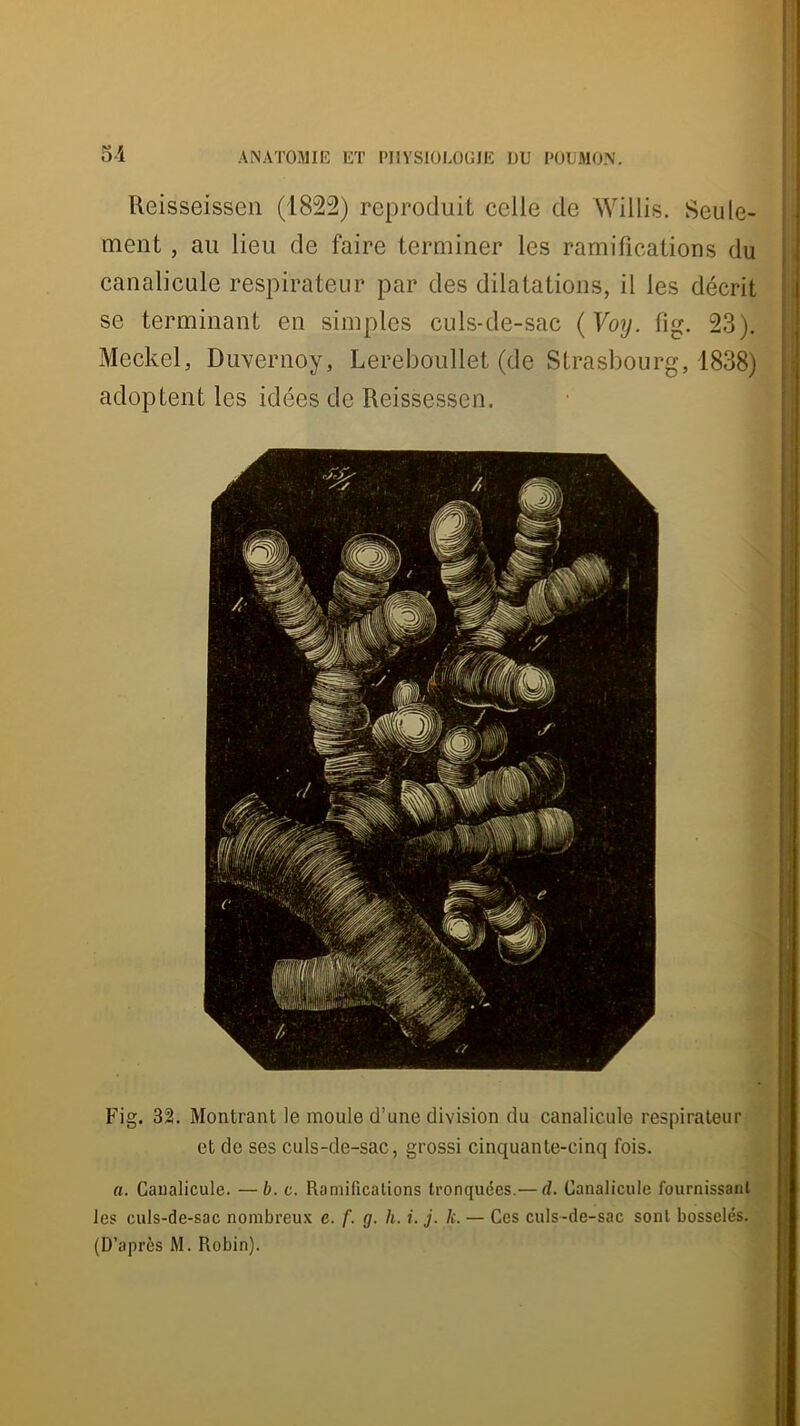 Reisseissen (1822) reproduit celle de Willis. Seule- ment , au lieu de faire terminer les ramifications du ; canalicule respirateur par des dilatations, il les décrit 1 se terminant en simples culs-de-sac {Yoy. fig. 23). Meckel, Duvernoy, Lereboullet (de Strasbourg, 1838) | adoptent les idées de Reissessen. • j F'ig. 32. Montrant le moule d’une division du canalicule respirateur et de ses culs-de-sac, grossi cinquante-cinq fois. a. Canalicule. —b. c. Ramifications tronquées.— d. Canalicule fournissant les culs-de-sac nombreux e. f. g. h. i. j. k. — Ces culs-de-sac sont bosselés. (D’après M. Robin).