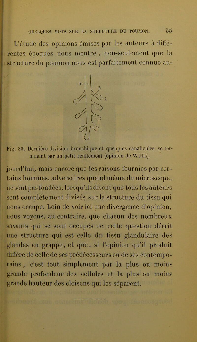 L’étude des opinions émises par les auteurs à difle- rentes époques nous montre , non-seulement que la structure du poumon nous est parfaitement connue au- P’ig. 33. Dernière division bronchique et quelques canalicules se ter- minant par un petit renflement (opinion de Willis). jourd’liui, mais encore que les raisons fournies par cer- tains hommes, adversaires quand même du microscope, ne sont pas fondées, lorsqu’ils disent que tous les auteurs sont complètement divisés sur la structure du tissu qui nous occupe. Loin de voir ici une divergence d’opinion, nous voyons, au contraire, que chacun des nombreux savants ([ui se sont occupés de cette question décrit une structure qui est celle du tissu glandulaire des glandes en grappe, et que, si l’opinion qu’il produit diffère de celle de ses prédécesseurs ou de ses contempo- rains , c’est tout simplement par la plus ou moins grande profondeur des cellules et la plus ou moins grande hauteur des cloisons qui les séparent.
