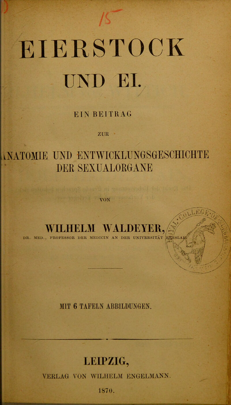 EIERSTOCK - UND EL 3 ■ 51' ■.. -' Äs EIN BEITRAG iNATOMIE UND ENTWICKLUNGSGESCHICHTE DEK SEXUALORGANE VON WILHELM WALDEYER, , I^SLAIB y DR. MED., PROFESSOR DER MEDICIN AN DER UNIVERSITÄT Ycr - ^ \c- #/ MIT 6 TAFELN ABBILDUNGEN. LEIPZIG, VERLAG VON WILHELM ENGELMANN. 1870.