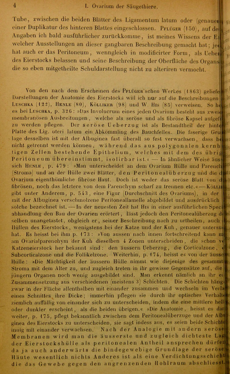 Tube, zwischen die beiden Bliittei' des Ligainenlmn latum oder (genauei einer Diiplikatur des liinteren Blattes eingeschlossen. Pflüüeu (150), auf de» Angaben ich bald ausführlicher zurückkommo, ist meines Wissens der Ei welcher Ausstellungen an dieser gangbaren Beschreibung gemacht hat; jec hat auch er das Peritoneum, wenngleich in modificirter Form, als Uebei des Eierstocks belassen und seine Beschreibung der Oberfläche des Organ. die so eben mitgetheilte Schuldarslellung nicht zu alteriren vermocht. 1 \Vii ■fÜ t 1^ Von den nach dem Erscheinen des PFLÜGEiPschen Werkes (1863) geliefe» ^ Darslellungen der Anatomie des Eierstocks will ich nur auf die Beschreibungen Luschka (122), Henle (80), Kölliker (98) und W. Bis (85) verweisen. So In- es bei Luschka, p. 326: »Das [nvolucrum eines jeden Ovarium besieht aus zwei< membranosen Ausbreitungen , welche als seröse und als fibröse Kap.sel aufgefl zu werden pflegen. Der seröse üeberzug ist als Beslandtheil der hinti Platte des Lig. uteri lalum ein Abkömmling des Bauchfelles. Die faserige Grul läge desselben ist irnt der Albuginea fast überall so fest verwachsen, dass bi| nicht gelrennt werden können, während das aus polygonalen kernh ligen Zellen bestehende Epitheliom, welches mit den) des übrii Peritoneum ü b e r e i n s t i rn m t, i s o 1 i r b a r ist.« — In ähnlicher Weise äus sich Henle, p. 479: »Man unterscheidet an den) Ovarium Hülle und Parenclit (Stroma) und an der Hülle zwei Blättei-, den Periton ealüb ei-zug und die c Ovarium eigenlhümliche fibröse Haut. Doch ist weder das seröse Blatt von fibrösen, noch das letztere von dem Parenchym scharf zu trennen etc.« — Kolli gibt unter Anderem, p. 543, eine Figur (Durchschnitt des Ovariums), in der mit der Albuginea verschmolzene Periloneallamelle abgebildet und ausdrücklich ’ solche bezeichnet ist.—In der neuesten Zeit hat His in einer ausführlichen Spec abhandlung den Bau der Ovarien erörtert, lässt jedoch den Peritonealüberzug d selben unangetastet, obgleich er, seiner Beschreibung nach zu urtheilen, auch Hüllen des Eierstocks, wenigstens bei der Katze und der Kuh, genauer ut)lersu hat. Es heisst bei ihm p. 173: »Von aussen nach innen fortschreitend kann n am Ovarialparenohym der Kuh dieselben 4 Zonen unterscheiden , die schon v Katzeneierstock her bekannt sind: den äussern üeberzug, die Corticalzone, Subcorticalzone und die FoHikelzone. Weiterhin, p. 174, heisst es von der äusst Hülle: »Die Mächtigkeit der äussern Hülle nimmt wie diejenige des gesammt Stroma mit dem Alter zu, und zugleich treten in ihr gewisse Gegensätze auf, die jüngern Organen noch wenig ausgebildet sind. Man erkennt nämlich an ihr ei Zusammensetzung aus verschiedenen (meistens 3) Schichten. Die Schichten häng zwar in der Fläche allenthalben mit einander zusammen und wechseln im VerN eines Schnittes ihre Dicke; immerhin pflegen sie durch ihr optisches Verhall« ziemlich auffällig von einander sich zu unterscheiden, indem die eine mittlere hell| oder dur)kler erscheint, als die beiden übrigen.« »Die Anatomie, heisst es dar weiter, p. 175, pflegt bekanntlich zwischen dem Peritonealüberzuge und der Alb ginea des Eierstocks zu unterscheiden, sie sagt indess aus, es seien beide Schicht innig mit einander verwachsen. Nach der Analogie mit andern seröse Membranen wird man die äusserste und zugleich dichteste La der Eierstockshülle als peritonealen Antheil ansprechen dürfe da ja auch anderwärts die bindegewebige Grundlage der seröse Häute wesentlich nichts Anderes ist als eit)e Verdichtungsschich die das Gewebe gegen den angrenzenden Hohlraum abschliesst