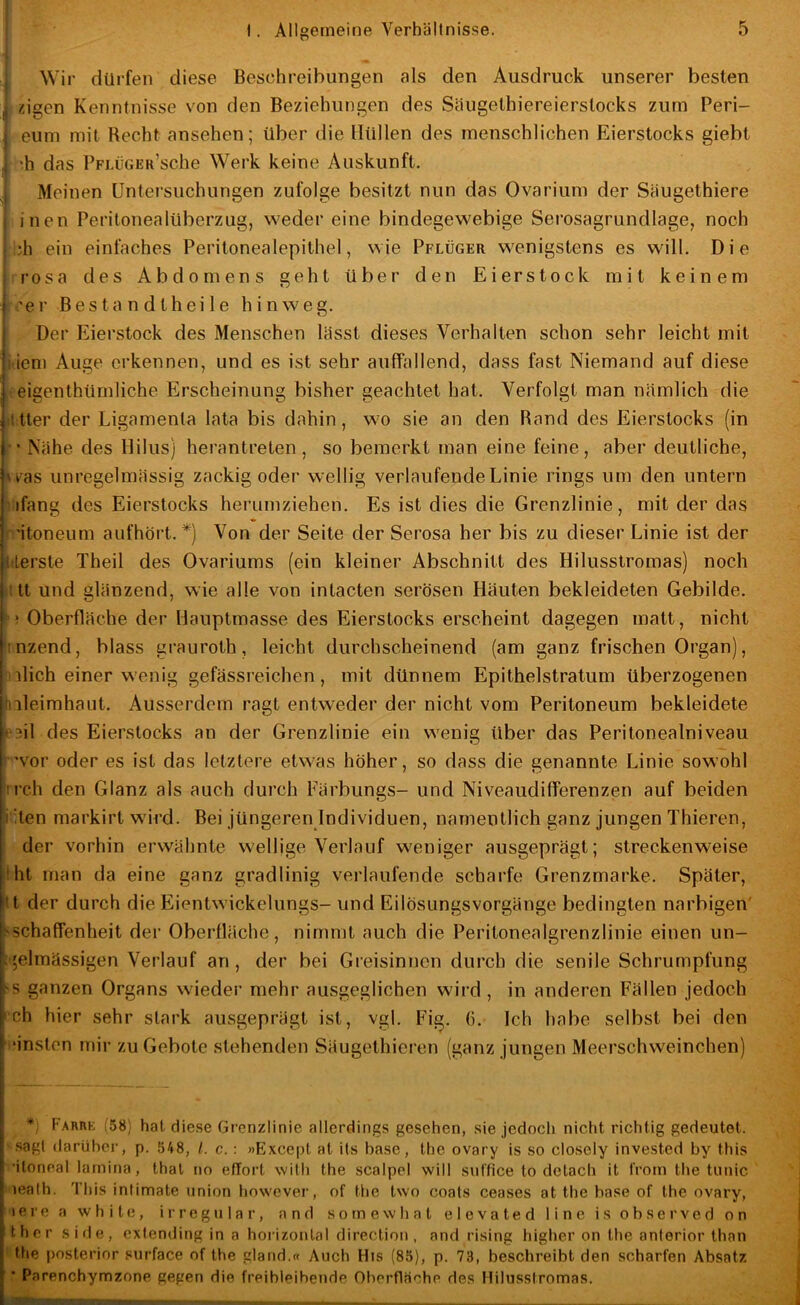 * Wir dürfen diese Beschreibungen als den Ausdruck unserer besten , zigen Kenntnisse von den Beziehungen des Säugelhiereierslocks zum Peri- eum mit Recht ansehen; über die Hüllen des menschlichen Eierstocks giebt ^ ‘h das PFLÜGER’sche Werk keine Auskunft. Meinen Untersuchungen zufolge besitzt nun das Ovarium der Säugethiere inen Peritonealüberzug, weder eine bindegewebige Serosagrundlage, noch ;iih ein einfaches Peritonealepithel, wie Pflüger wenigstens es will. Die iTosa des Abdomens geht über den Eierstock mit keinem rer Besta n dtheile hinweg. Der Eierstock des Menschen lässt dieses Verhalten schon sehr leicht mit ( iem Auge erkennen, und es ist sehr auffallend, dass fast Niemand auf diese ; eigenthümliche Erscheinung bisher geachtet hat. Verfolgt man nämlich die Mtter der Ligamenta lata bis dahin, wo sie an den Rand des Eierstocks (in Nähe des Hilus) herantrelen , so bemerkt man eine feine, aber deutliche, »ras unregelmässig zackig oder wellig verlaufende Linie rings um den untern ifang des Eierstocks herumziehen. Es ist dies die Grenzlinie, mit der das 'itoneum aufhört.*) Von der Seite der Serosa her bis zu dieser Linie ist der iderste Theil des Ovariums (ein kleiner Abschnitt des Hilusstromas) noch litt und glänzend, wie alle von intacten serösen Häuten bekleideten Gebilde. ? Oberfläche der Hauptmasse des Eierstocks erscheint dagegen matt, nicht 'inzend, blass grauroth, leicht durchscheinend (am ganz frischen Organ), hilich einer wenig gefässreichen, mit dünnem Epithelstratum überzogenen nleimhaut. Ausserdem ragt entweder der nicht vom Peritoneum bekleidete e:»il des Eierstocks an der Grenzlinie ein wenig über das Peritonealniveau vor oder es ist das letztere etwas höher, so dass die genannte Linie sowohl irch den Glanz als auch durch Färbungs- und Niveaiidifferenzen auf beiden itilen markirt wird. Bei jüngeren Individuen, namentlich ganz jungen Thieren, ; der vorhin erwähnte wellige Verlauf weniger ausgeprägt; streckenweise tht man da eine ganz gradlinig verlaufende scharfe Grenzmarke. Später, tt der durch die Eientwickelungs- und Eilösungsvorgänge bedingten narbigen' sschaffenheit der Oberfläche, nimmt auch die Peritonealgrenzlinie einen un- 1'elmässigen Verlauf an , der bei Greisinnen durch die senile Schrumpfung ‘s ganzen Organs wieder mehr ausgeglichen wird, in anderen Fällen jedoch i'ch hier sehr stark ausgeprägt ist, vgl. Fig. 6. Ich habe selbst bei den !*insten mir zu Gebote stehenden Säugethicren (ganz jungen Meerschweinchen) Fahre (58) hat diese Grenzlinie allerdings gesehen, sie jedoch nicht richtig gedeutet. ■ .sagt darübei', p. 548, /. c.: »Exce[)t at its base, the ovary is so closely invested by this ■itoneal larnina, that no e/Tort willi tbe scalpel will suffice to delach it IVom the tunic lealh. This infimate iinion however, of the two coats ceases at the base of the ovary, lere a white, irregulär, and somewhat elevated line is observed on ther side, extending in a horizontal direction, and rising higher on the anterior than ' the posterior surface of the gland.« Auch His (85), p. 73, beschreibt den scharfen Absatz ' Parenchymzone gegen die freibleibende Oberfläche des Hilusstromas.