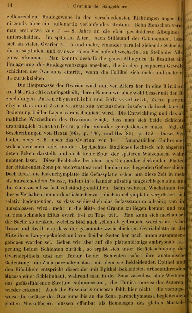 zellenreichem Bindegewebe in den verschiedensten Richtungen angeordq nirgends aber ein hilllenartig verlaufendes stratuin. Beim Mensclien verni man eist etwa vom /. — 8. Jahre an die eben geschilderte Albuginea unterscheiden. Im spiitcren Alter, nach Stillstand der Gatamenien, lasfj sich an vielen Ovarien 4—5 und mehr, einander parallel ziehende Schicht^i die in sagittalem und transversalem Verlaufe abwechseln, an Stelle der Alb-I ginea erkennen. Man könnte deshalb die ganze Albuginea als Resultat eiri Umlagerung der Bindegewebszüge ansehen, die in den peripheren Geweb schichten des Ovariums eintritt, wenn die Follikel sich mehr und mehr v da zurückziehen. Die Hauptmasse der Ovarien wird nun von Alters her in eine Rindei und Ma rkschicht eingetheilt, deren Namen wir aber wohl bessermit den B Zeichnungen Pa re n chy m sch i ch t und Gefässschicht, Zona parer chymatosa und Zona vasculosa vertauschen, insofern dadurch kurz Bedeutung beider Lagen veranschaulicht wird. Die Entwicklung und das al mähliche Wachsthum des Ovariums zeigt, dass man sich beide Schicht! ursprünglich plattenförmig übereinander gelegt denken muss. Vgl. d Beschreibungen von Henle (80), p. 480, und His (85), p. 152. Dieses Vei halten zeigt z. B. noch das Ovarium von 3- — 5monatlichen Embryonei welches ein mehr oder minder abgeflachtes längliches Rechteck mit abgeru deten Ecken darstellt und noch keine Spur der späteren Walzenform wah nehmen lässt. Diese Rechtecke bestehen aus 2 einander deckenden Platte der ei führenden Zona parenchymatosa und der darunter liegenden Gefässschich Doch deckt die Parenchymplatte die Gefässplatte schon um diese Zeit in me' als hinreichendem Maasse, indem ihre Ränder allseitig umgeschlagen sind un die Zona vasculosa fast vollständig einhüllen. Beim weiteren Wachsthum tri dieses Verhalten immer deutlicher hervor; die Parenchymplatte vergrössert sic (UlO! skr«» 1 ^ .er! ■Jfi [/, liio ler :3Di b,: in be r ^ iwB bn m\ relativ bedeutender, so dass schliesslich das Gefässstratum allseitig von ih umschlossen wird, mehr in die Mitte des Organs zu liegen kommt und nu an dem schmalen Hilus ovarii frei zu Tage tritt. Man kann sich mechanisci die Sache so denken, welches Bild auch schon oft gebraucht worden ist, (s. be ® Henle und His 11. cc.) dass die gesammte zweischichtige Ovarialplatte in de Mitte ihrer Länge geknickt und von beiden Seiten her nach unten zusammen- gebogen worden sei. Gehen wir aber auf die plattenförmige embryonale La gerung beider Schichten zurück, so ergibt sich unter Berücksichtigung de Ovarialepithels und der Textur beider Schichten sofort ihre anatomisclu Bedeutung; die Zona parenchymatosa mit dem sie bekleidenden Epithel un den Eifollikeln entspricht direct der mit Epithel bekleideten drüsenführendei Mucosa einer Schleimhaut, während man in der Zona vasculosa ohne Weitere das gefässführende Stratum submucosum, die Tunica nervea der Autoren, wieder erkennt. Auch die Muscularis mucosae fehlt hier nicht; die Vorzugs weise die Gefässe des Ovariums bis an die Zona parenchymatosa begleitenden! glatten Muskelfasern müssen oflenbar als Homologen des glatten Muskel-