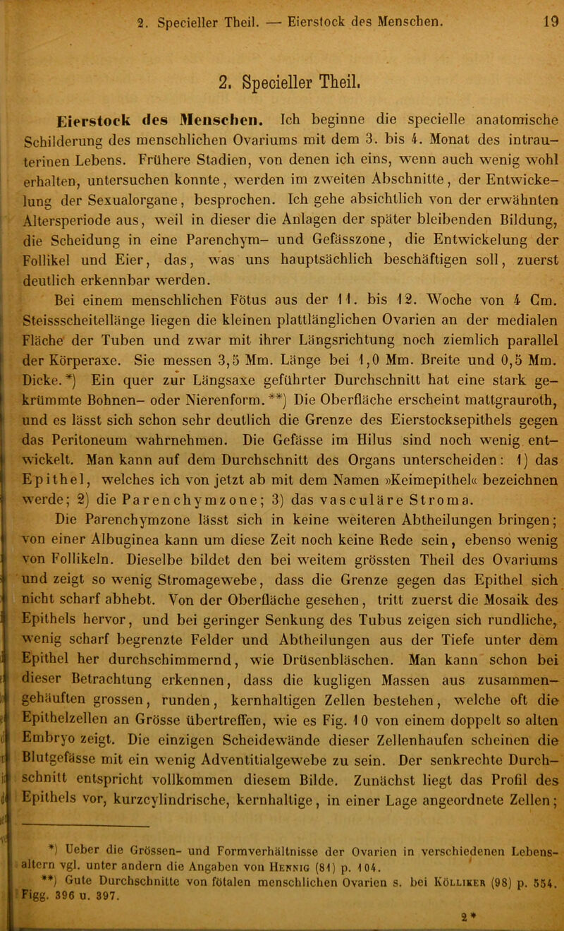 2. Specieller Theil. Eierstock des Menschen. Ich beginne die specielle anatomische Schilderung des menschlichen Ovariums mit dem 3. bis 4, Monat des intrau- terinen Lebens. Frühere Stadien, von denen ich eins, wenn auch wenig wohl erhalten, untersuchen konnte, werden im zweiten Abschnitte, der Entwicke- lung der Sexualorgane, besprochen. Ich gehe absichtlich von der erwähnten Altersperiode aus, weil in dieser die Anlagen der später bleibenden Bildung, die Scheidung in eine Parenchym- und Gefässzone, die Entwickelung der Follikel und Eier, das, was uns hauptsächlich beschäftigen soll, zuerst deutlich erkennbar werden. Bei einem menschlichen Fötus aus der W. bis 12. Woche von 4 Gm. ' Steissscheitellänge liegen die kleinen plattlänglichen Ovarien an der medialen Fläche' der Tuben und zwar mit ihrer Längsrichtung noch ziemlich parallel der Körperaxe. Sie messen 3,5 Mm. Länge bei 1,0 Mm. Breite und 0,5 Mm. Dicke.*) Ein quer zur Längsaxe geführter Durchschnitt hat eine stark ge- krümmte Bohnen- oder Nierenform.**) Die Oberfläche erscheint mattgrauroth, ' und es lässt sich schon sehr deutlich die Grenze des Eierstocksepithels gegen das Peritoneum wahrnehmen. Die Gefässe im Hilus sind noch wenig ent- I wickelt. Man kann auf dem Durchschnitt des Organs unterscheiden: 1) das ' Epithel, welches ich von jetzt ab mit dem Namen »Keimepithel« bezeichnen ' werde; 2) die Parenchymzone; 3) das vasculäre Stroma. Die Parenchymzone lässt sich in keine weiteren Abtheilungen bringen; I von einer Albuginea kann um diese Zeit noch keine Rede sein, ebenso wenig ! von Follikeln. Dieselbe bildet den bei weitem grössten Theil des Ovariums I und zeigt so wenig Stromagewebe, dass die Grenze gegen das Epithel sich 1 nicht scharf abhebt. Von der Oberfläche gesehen, tritt zuerst die Mosaik des i Epithels hervor, und bei geringer Senkung des Tubus zeigen sich rundliche, wenig scharf begrenzte Felder und Abtheilungen aus der Tiefe unter dem ! Epithel her durchschimmernd, wie Drüsenbläschen. Man kann schon bei dieser Betrachtung erkennen, dass die kugligen Massen aus zusammen— gehäuften grossen, runden, kernhaltigen Zellen bestehen, welche oft die Epithelzellen an Grösse übertreffen, wie es Fig. 10 von einem doppelt so alten Embryo zeigt. Die einzigen Scheidewände dieser Zellenhaufen scheinen die D Blutgefässe mit ein wenig Adventitialgewebe zu sein. Der senkrechte Durch-' ii schnitt entspricht vollkommen diesem Bilde. Zunächst liegt das Profil des d Epithels vor, kurzcylindrische, kernhaltige, in einer Lage angeordnete Zellen; lei *) lieber die Grössen- und Formverhältnisse der Ovarien in verschiedenen Lebens- altern vgl. unter andern die Angaben von Hennig (81) p. 104. * **) Gute Durchschnitte von fötalen menschlichen Ovarien s. bei Kölliker (98) p. 554. ' ? Figg. 396 u. 397. 2*