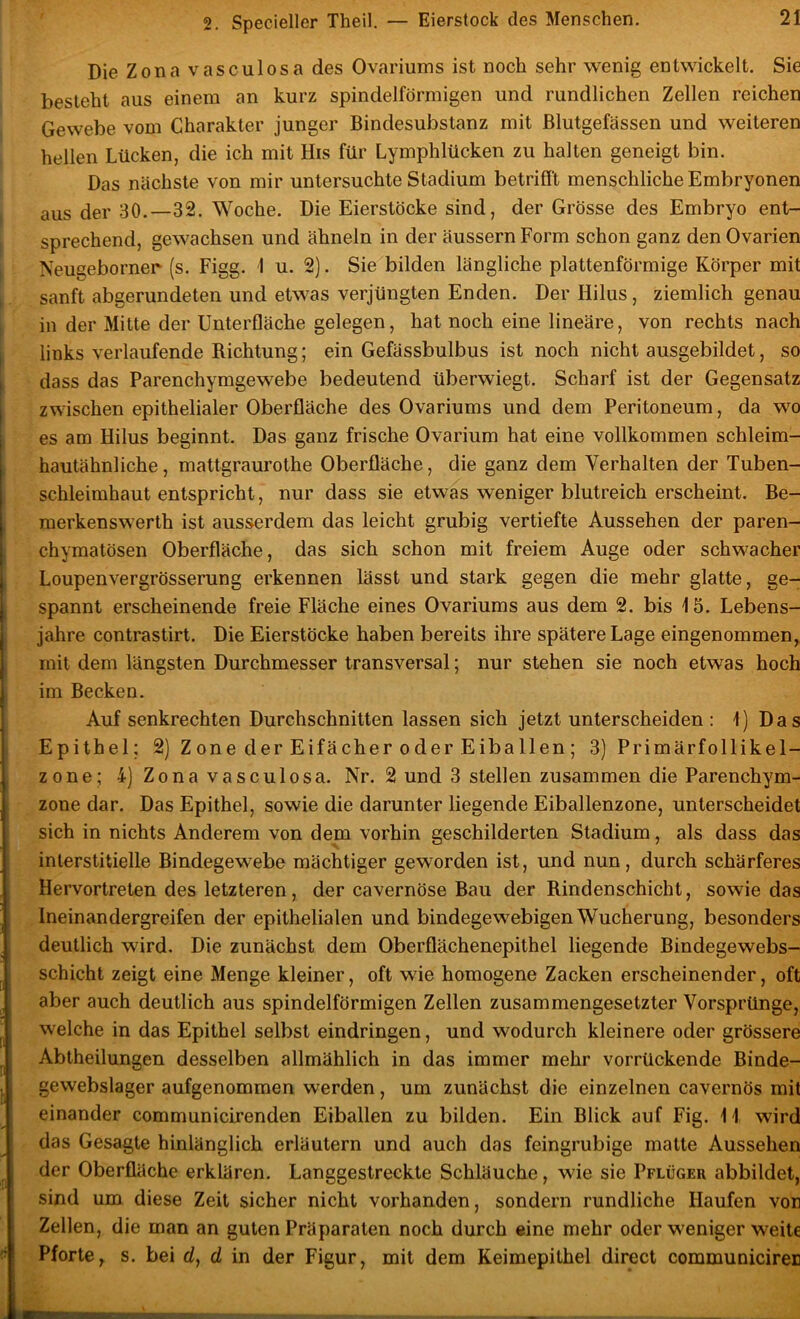 Die Zona vasculosa des Ovariums ist noch sehr wenig entwickelt. Sie besieht aus einem an kurz spindelförmigen und rundlichen Zellen reichen Gewebe vom Charakter junger Bindesubstanz mit Blutgefässen und weiteren hellen Lücken, die ich mit His für Lymphlücken zu halten geneigt bin. Das nächste von mir untersuchte Stadium betrifft menschliche Embryonen aus der 30.—32. Woche. Die Eierstöcke sind, der Grösse des Embryo ent- sprechend, gewachsen und ähneln in der äussern Form schon ganz den Ovarien Neugeborner (s. Figg. 1 u. 2]. Sie bilden längliche plattenförmige Körper mit sanft abgerundeten und etwas verjüngten Enden. Der Hilus, ziemlich genau in der Mitte der Unterfläche gelegen, hat noch eine lineäre, von rechts nach links verlaufende Richtung; ein Gefässbulbus ist noch nicht ausgebildet, so dass das Parenchymgewebe bedeutend überwiegt. Scharf ist der Gegensatz zwischen epithelialer Oberfläche des Ovariums und dem Peritoneum, da wo es am Hilus beginnt. Das ganz frische Ovarium hat eine vollkommen schleim- hautähnliche , mattgraurothe Oberfläche, die ganz dem Verhalten der Tuben- schleimhaut entspricht, nur dass sie etwas weniger blutreich erscheint. Be- merkenswerth ist ausserdem das leicht grubig vertiefte Aussehen der paren- chymatösen Oberfläche, das sich schon mit freiem Auge oder schwacher Loupenvergrösserung erkennen lässt und stark gegen die mehr glatte, ge- spannt erscheinende freie Fläche eines Ovariums aus dem 2. bis \ 5. Lebens- jahre contrastirt. Die Eierstöcke haben bereits ihre spätere Lage eingenommen, mit dem längsten Durchmesser transversal; nur stehen sie noch etwas hoch im Becken. Auf senkrechten Durchschnitten lassen sich jetzt unterscheiden : 1) Das Epithel; 2) Zone der Eifächer oder Eiballen ; 3) Primärfollikel- zone; 4) Zona vasculosa. Nr. 2 und 3 stellen zusammen die Parenchym- zone dar. Das Epithel, sowie die darunter liegende Eiballenzone, unterscheidet sich in nichts Anderem von dem vorhin geschilderten Stadium, als dass das interstitielle Bindegewebe mächtiger geworden ist, und nun, durch schärferes Hervortreten des letzteren, der cavernöse Bau der Rindenschicht, sowie das .Ineinandergreifen der epithelialen und bindegewebigen Wucherung, besonders deutlich wird. Die zunächst dem Oberflächenepithel liegende Bindegewebs- schicht zeigt eine Menge kleiner, oft wie homogene Zacken erscheinender, oft aber auch deutlich aus spindelförmigen Zellen zusammengesetzter Vorsprünge, welche in das Epithel selbst eindringen, und wodurch kleinere oder grössere Abtheilungen desselben allmählich in das immer mehr vorrückende Binde- gewebslager aufgenommen werden, um zunächst die einzelnen cavernös mit einander communicirenden Eiballen zu bilden. Ein Blick auf Fig. \\ wird das Gesagte hinlänglich erläutern und auch das feingrubige matte Aussehen der Oberfläche erklären. Langgestreckte Schläuche, wie sie Pflüger abbildet, sind um diese Zeit sicher nicht vorhanden, sondern rundliche Haufen von Zellen, die man an guten Präparaten noch durch eine mehr oder weniger weite Pforte, s. bei d, d in der Figur, mit dem Keimepithel direct communiciren