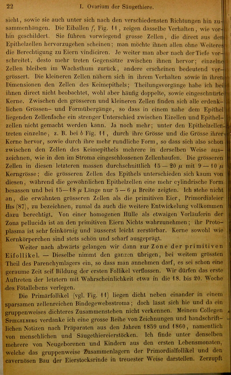 sieht, sowie sie auch unter sich nach den verschiedensten Richtungen hin zu4 sammenhängen. Die Eiballen Fig. 11 , zeigen dasselbe Verhalten, wie vor^ hin geschildert. Sie führen vorwiegend grosse Zellen, die direct aus dei| Epithelzellen hervorzugehen scheinen; man möchte ihnen allen ohne Weiteres die Berechtigung zu Eiern vindiciren. Je weiter man aber nach der Tiefe vor- schreitet, desto mehr treten Gegensätze zwischen ihnen hervor; einzelnt» Zellen bleiben im Wachsthum zurück, andere erscheinen bedeutend ver- grössert. Die kleineren Zellen nähern sich in ihrem Verhalten sowie in ihren![# Dimensionen den Zellen des Keimepithels; Theilungsvorgänge habe ich bei! ihnen direct nicht beobachtet, wohl aber häufig doppelte, sowie eingeschnürtel Kerne. Zwischen den grösseren und kleineren Zellen finden sich alle erdenk-i liehen Grössen- und Formübergänge, so dass in einem nahe dem Epithel} liegenden Zellenfache ein strenger Unterschied zwischen Eizellen und Epithel-j zellen nicht gemacht werden kann. Ja noch mehr; unter den Epithelzellec-l treten einzelne, z. B. bei 6 Fig. 11 , durch ihre Grösse und die Grösse ihrer' Kerne hervor, sowie durch ihre mehr rundliche Form, so dass sich also schon zwischen den Zellen des Keimepithels mehrere in derselben Weise aus- zeichnen, wie in den im Stroma eingeschlossenen Zellenhaufen. Die grösseren } Zellen in diesen letzteren massen durchschnittlich 15 — (.i mit 9 — 10 /fi Kerngrösse; die grösseren Zellen des Epithels unterschieden sich kaum von diesen, während die gewöhnlichen Epithelzellen eine mehr cylindrische Form besessen und bei 15—18 (x Länge nur 5 — Q (.i Breite zeigten. Ich stehe nicht an, die erwähnten grösseren Zellen als die primitiven Eier, Primordialeier His (87), zu bezeichnen, zumal da auch die weitere Entwickelung vollkommen dazu berechtigt. Von einer homogenen Hülle als etwaigen Vorläuferin der Zona pellucida ist an den primitiven Eiern Nichts wahrzunehmen; ihr Proto- plasma ist sehr feinkörnig und äusserst leicht zerstörbar. Kerne sowohl wie Kernkörperchen sind stets schön und scharf ausgeprägt. Weiter nach abwärts gelangen wir dann zur Zone der primitiven Eifollikel. — Dieselbe nimmt den ganzen übrigen, bei weitem grössten Theil des Parenchymlagers ein, so dass man annehmen darf, es sei schon eine geraume Zeit seif Bildung der ersten Follikel verflossen. Wir dürfen das erste Auftreten der letztem mit Wahrscheinlichkeit etwa in die 18. bis 20. Woche des Fötallebens verlegen. Die Primärfollikel (vgl. Fig. 11) liegen dicht neben einander in einem sparsamen zellenreichen Bindegewebsstroma; doch lässt sich hie und da ein gmppenweises dichteres Zusammenstehen nicht verkennen. Meinem Collegen Spiegelberg verdanke ich eine grosse Reihe von Zeichnungen und handschrift- lichen Notizen nach Präparaten aus den Jahren 1859 und 1860, namentlich von menschlichen und Säugethiereierstöcken. Ich finde unter denselben mehrere von Neugeborenen und Kindern aus den ersten Lebensmonaten, welche das gruppenweise Zusammenlagern der Primordialfollikel und den cavernösen Bau der Eierstocksrinde in treuester Weise darstellen. Zerzupft I