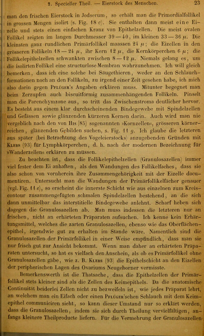 1 man den frischen Eierstock in Jodserum , so erhält man die Primordialfollikel ’j in grossen Mengen isolirt (s. Fig. 18c). Sie enthalten dann meist eine Ei- :j zelle und stets einen einfachen Kranz von Epithelzellen, Die meist ovalen ^ Follikel zeigten im langen Durchmesser 39 — 40, im kleinen 33 — f.i. Die -j kleinsten ganz rundlichen Primärfollikel maassen 24 /ii; die Eizellen in den I grösseren Follikeln 18 — 24 (.i, ihr Kern 12 die Kernkörperchen 6 (.i] die I Follikelepithelzellen schwankten zwischen 8 —12 ^.l. Niemals gelang es, um die isolirten Follikel eine structurlose Membran wahrzunehmen. Ich will gleich bemerken, dass ich eine solche bei Säugethieren, weder an den Schlauch- formationen noch an den Follikeln, zu irgend einer Zeit gesehen habe, ich mich also darin gegen Pflüger’s Angaben erklären muss. Mitunter begegnet man beim Zerzupfen auch biscuitförmig zusammenhängenden Follikeln. Pinselt man die Parenchyrazone aus, so tritt das Zwischenstroma deutlicher hervor. Es besteht aus einem klar durchscheinenden Bindegewebe mit Spindelzellen und Gefässen sowie glänzenden kürzeren Kernen darin. Auch wird man nie vergeblich nach den von His (85) sogenannten »Kornzellen«, grösseren körner- reichen , glänzenden Gebilden suchen, s. Fig. 11 g. Ich glaube die letzteren aus später (bei Betrachtung des Vogeleierstocks) anzugebenden Gründen mit Klees (93) für Lymphkörperchen, d. h. nach der modernen Bezeichnung für »Wanderzellen« erklären zu müssen. Zu beachten ist, dass die Follikelepithelzellen (Granulosazellen) immer viel fester dem Ei anhaften, als den Wandungen des Follikelfaches, dass sie also schon von vornherein ihre Zusammengehörigkeit mit der Eizelle docu- mentiren. Untersucht man die Wandungen der Primärfollikelfächer genauer (vgl. Fig. Ile), so erscheint die innerste Schicht wie aus einzelnen zum Kreis- contour zusammengefügten schmalen Spindelzellen bestehend, an die sich dann unmittelbar das interstitielle Bindegewebe anlehnt. Scharf heben sich dagegen die Granulosazellen ab. Man muss indessen die letzteren nur an frischen, nicht an erhärteten Präparaten aufsuchen. Ich kenne kein Erhär- tungsmittel, welches die zarten Granulosazellen, ebenso wie das Oberflächen- epithel, irgendwie gut zu erhalten im Stande wäre. Namentlich sind die Granulosazellen- der Primärfollikel in einer Weise empfindlich, dass man sie nur frisch gut zur Ansicht bekommt. Wenn man daher an erhärteten Präpa- raten untersucht, so hat es vielfach den Anschein, als ob es Primärfollikel ohne Granulosazellen gäbe, wie z. B. Klees (93) die Epithelschicht an den Eizellen der peripherischen Lagen des Ovariums Neugeborner vermisste. Bemerkenswerth ist die Thatsache, dass die Epithelzellen der Primär- follikel stets kleiner sind als die Zellen des Keimepithels. Da die anatomische Continuität beiderlei Zellen nicht zu bezweifeln ist, wie jedes Präparat lehrt, an welchem man ein Eifach oder einen PFLüGER’schen Schlauch mit dem Keim- epithel communiciren sieht, so kann dieser Umstand nur so erklärt werden, dass die Granulosazellen , indem sie sich durch Theilung vervielfältigen, an- fangs kleinere Theilproducte liefern. Für die Vermehrung der Granulosazellen