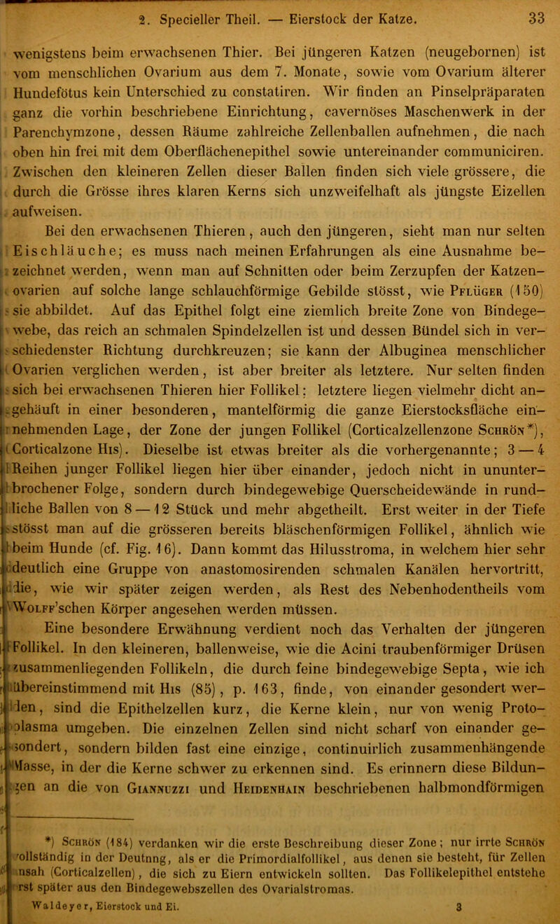wenigstens beim erwachsenen Thier. Bei jüngeren Katzen (neugebornen) ist vom menschlichen Ovarium aus dem 7. Monate, sowie vom Ovariurn älterer Hundefötus kein Unterschied zu constatiren. Wir finden an Pinselpräparaten ganz die vorhin beschriebene Einrichtung, cavernöses Maschenwerk in der Parenchymzone, dessen Räume zahlreiche Zellenballen aufnehmen, die nach oben hin frei mit dem Oberflächenepithel sowie untereinander communiciren. Zwischen den kleineren Zellen dieser Ballen finden sich viele grössere, die durch die Grösse ihres klaren Kerns sich unzweifelhaft als jüngste Eizellen aufweisen. Bei den erwachsenen Thieren, auch den jüngeren, sieht man nur selten Eischläuche; es muss nach meinen Erfahrungen als eine Ausnahme be- zeichnet werden, wenn man auf Schnitten oder beim Zerzupfen der Katzen- ovarien auf solche lange schlauchförmige Gebilde stösst, wie Pflüger (150) ' sie abbildet. Auf das Epithel folgt eine ziemlich breite Zone von Bindege- ! webe, das reich an schmalen Spindelzellen ist und dessen Bündel sich in ver- ^ schiedenster Richtung durchkreuzen; sie kann der Albuginea menschlicher ' Ovarien verglichen werden, ist aber breiter als letztere. Nur selten finden ? sich bei erwachsenen Thieren hier Follikel; letztere liegen vielmehr dicht an- I-gehäuft in einer besonderen, mantelförmig die ganze Eierstocksfläche ein- j; nehmenden Lage, der Zone der jungen Follikel (Gorticalzellenzone Sghrön* *), t Corticalzone His). Dieselbe ist etwas breiter als die vorhergenannte; 3 — 4 IReihen junger Follikel liegen hier über einander, jedoch nicht in ununter- 1 brochener Folge, sondern durch bindegewebige Querscheidewände in rund- ! liehe Ballen von 8 — 12 Stück und mehr abgetheilt. Erst weiter in der Tiefe ..'Stösst man auf die grösseren bereits bläschenförmigen Follikel, ähnlich wie Ibeim Hunde (cf. Fig. 16). Dann kommt das Hilusstroma, in welchem hier sehr odeutlich eine Gruppe von anastomosirenden schmalen Kanälen hervortritt, i;die, wie wir später zeigen werden, als Rest des Nebenhodentheils vom ^WoLFp’schen Körper angesehen w'erden müssen. Eine besondere Erwähnung verdient noch das Verhalten der jüngeren i f Follikel. In den kleineren, ballenweise, wie die Acini traubenförmiger Drüsen ; /?usammenliegenden Follikeln, die durch feine bindegewebige Septa , wie ich r <i(lbereinstimmend mit His (85), p. 163, finde, von einander gesondert wer- i'Ien, sind die Epithelzellen kurz, die Kerne klein, nur von wenig Proto- II olasma umgeben. Die einzelnen Zellen sind nicht scharf von einander ge- j-^jondert, sondern bilden fast eine einzige, continuirlich zusammenhängende (AiVIasse, in der die Kerne schwer zu erkennen sind. Es erinnern diese Bildun- p . 5en an die von Giannuzzi und Heidenhain beschriebenen halbmondförmigen T- i *) ScHRöN (184) verdanken wir die erste Beschreibung dieser Zone; nur irrte Schrön vollständig in der Deutnng, als er die Primordialfollikel, aus denen sie besteht, für Zellen i'' .nsah (Corticalzellen), die sich zu Eiern entwickeln sollten. Das Follikelepithel entstehe jiil rst später aus den Bindegewebszellen des Ovarialstromas. I Wa 1 dey e r, Eierstock und Ei. 3