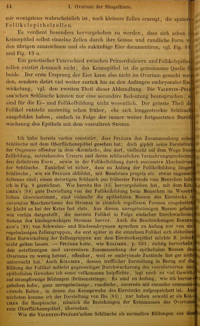 mir wenigstens wahrscheinlich ist, noch kleinere Zellen erzeugt, die später Follikelepithelzellen. Es verdient besonders hervorgehoben zu werden, dass sich schon Keimepithel selbst einzelne Zellen durch ihre Grösse und rundliche Form \| den übrigen auszeichnen und als zukünftige Eier documentiren, vgl. Fig. 1 und Fig. 13 a. Ein genetischer Unterschied zwischen Primordialeiern undFollikelepithr zellen existirt demnach nicht; das Keimepithel ist die gemeinsame Quelle beide. Der erste Ursprung der Eier kann also nicht im Ovarium gesucht wej den, sondern datirt viel weiter zurück bis zu den Anfängen embryonaler Ei Wickelung, vgl. den zweiten Theil dieser Abhandlung. Die Valentin-Pfl^ GER’schen Schläuche können nur eine secundäre Bedeutung beanspruchen; sind für die Ei- und Follikelbildung nicht wesentlich. Der grösste Theil dl Follikel entsteht unstreitig schon früher, ehe sich langgestreckte Schläue^ ausgebildet haben, einfach in Folge der immer weiter fortgesetzten Durcl wachsung des Epithels mit dem vasculären Stroma. ifj- r IK: litit Ir. h'-' W- Ich habe bereits vorhin constatirf, dass Pflüger den Zusammenhang sein Schläuche mit dem Oberflächenepithel gesehen hat; doch gipfelt seine Darstellu der Oogenese offenbar in dem »Keimfach«, den dort, vielleicht auf dem Wege frei Zellbildung, entstehenden Ureiern und deren schliesslichen Vermehrungsproducle den definitiven Eiern , sowie in der Follikelbildung durch successive Abschniiru der Schläuche. Zunächst ist sicher, dass zu Anfang der Follikelbildung länge Schläuche, wie sie Pflüger abbildet, mit Membrana propria etc. etwas ungemei] Seltenes sind; einen derartigen Schlauch aus frühester Periode vom Menschen hä ich in Fig. 9 gezeichnet. Wie bereits His (85) hervorgehoben hat, mit dem Kö liker’s (9 8) gute Darstellung von der Follikelbildung beim Menschen im Wesen liehen übereinslimmt, sind vielmehr die epithelialen Massen des Eierstocks i cavernöse Maschenräume des Stromas in ziemlich regellosen Formen eingebette So bleibt es bei der Katze fast stets. Aus diesen unregelmässigen Massen gehe: wie vorhin dargestellt, die meisten Follikel in Folge einfacher Durchwaebsun Seitens des bindegewebigen Stromas hervor. Auch die Beschreibungen Börsen^ Kow’s (29) von Schweins- und Rindsembryonen sprechen zu Anfang nur von un regelmässigen Zellengruppen, die erst später in die einzelnen Follikel sich abtheile Eine Entwickelung der Zellengruppen aus dem Eierstocksepithel möchte B. jedocl nicht gelten lassen. —Pflüger hatte, wie Rölliker, p. 553, richtig hervorhebtj den netzförmigen und cavernösen Zusammenhang der epithelialen Massen dei Ovariums zu wenig betont, offenbar, weil er embryonale Zustände fast gar nichj untersucht hat. Auch Kölliker , dessen trefflicher Darstellung in Bezug auf di Bildung der Follikel mittelst gegenseitiger Durchwucherung des vascularisirlen unc epithelialen Gewebes ich sonst vollkommen beipflichte, legt noch zu viel Gewich auf strangförmige Bildungen (Drüsenstränge). Es sind zu Anfang, wie ich hervor- gehoben habe, ganz unregelmässige, rundliche, cavernös mit einander communi- cirende Ballen , in denen das Keimgewebe des Eierstocks aufgespeichert ist. An nächsten komme ich der Darstellung von His (85) ; nur haben sowohl er als Köl- liker die Hauptsache, nämlich die Beziehungen der Keimmassen des Ovariums zum Oberflächenepithel, übersehen. Wie die VALENTiN-PFLÜGER’schen Schläuche als secundäre Bildungen aus dert ti<i itv r.