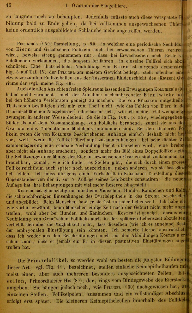 zu läugnen noch zu behaupten. Jedenfalls müsste auch diese verspätete l! bildung bald zu Ende gehen, da bei vollkommen ausgewachsenen Thier keine ordentlich ausgebildeten Schläuche mehr angetroffen werden. Pflügeb’s (t50) Darstellung, p. 90, in welcher eine periodische Neubildu von Eiern und Graafschen Follikeln auch bei erwachsenen Thieren verlret|i wird, beweist streng genommen nur, dass bei Erwachsenen noch Reste vj ^ Schläuchen Vorkommen, die langsam fortfahren, in einzelne Follikel sich abz li schnüren. Eine thatsächliche Neubildung von Eiern ist nirgends demonstriib Fig. 3 auf Taf. IV, der Pflüger am meisten Gewicht beilegt, stellt offenbar einlK etwas zerzupften Follikelballen aus der äussersten Rindenscbicbt des (Katzen) 0\|| riums dar (vgl. meine Fig. 16). Auch die allen Ansichten freien Spielraum lassenden Erwägungen Kölliker’s (9 haben nicht vermocht, mich der Annahme nacherabryonaler Eientwickelui bei den höheren Vertebraten geneigt zu machen. Die von Kölliker mitgetheilt ^ Thatsachen bestätigten sich mir zum Theil nicht (wie das Fehlen von Eiern in dl 4 Drüsenschläuchen Neugeborner) oder lassen sich, wie ich meine, viel weniger g| zwungen in anderer Weise deuten. So die in Fig. 400 , p. 559, wiedergegebeni Bilder als auf dem Zusammenhänge von Follikeln beruhend, zumal sie aus dej Ovarium eines 7monatlichen Mädchens entnommen sind. Bei den kleineren Fc likeln treten die von Kölliker beschriebenen Anhänge einfach deshalb nicht he vor, weil, wenn die Follikel überhaupt Zusammenhängen, bei sehr dichter Zi sammenlagerung eine schmale Verbindung leicht übersehen wird, eine breite aber nicht als Anhang erscheint, sondern mehr das Bild eines Doppelfollikels gib Die Schätzungen der Menge der Eier in erwachsenen Ovarien sind vollkommen ui brauchbar, zumal, wie ich finde, es Stellen gibt, die sich durch einen grossi Follikelreichthum auch später noch auszeichnen, neben anderen, wo sie fast gän; lieh fehlen. Ich muss übrigens einen Fortschritt in Kölliker’s Darstellung dies^ Gegenstandes von der 4. zur 5. Auflage seines Lehrbuchs constatiren : die neuei Auflage hat ihre Behauptungen mit viel mehr Reserve hingestellt. Koster hat gleichzeitig mit mir beim Menschen, Hunde, Kaninchen und Kall die schlauchförmigen Einsenkungen des Ovarialepithels in das Stroma beschriebe und abgebildet. Beim Menschen fand er sie fast zu jeder Lebenszeit. Ich habe sii wie vorhin erwähnt, beim Menschen einige Zeit nach der Geburt nicht mehr ange tröffen, wohl aber bei Hunden und Kaninchen. Koster ist geneigt, daraus eir Neubildung von Graafschen Follikeln auch in der späteren Lebenszeit abzuleiter verhehlt sich aber die Möglichkeit nicht, dass dieselben (wie ich es annehme) Resi der embryonalen Einstülpung sein könnten. Ich bemerke hierbei ausdrücklicl dass ich weder aus den Beschreibungen noch aus den Abbildungen Koster’s er sehen kann, dass er jemals ein Ei in diesen postnativen Einstülpungen ange troffen hat. Die Primärfollikel, so werden wohl am besten die jüngsten Bildungei dieser Art, vgl. Fig. II , bezeichnet, stellen einfache Keimepithelhaufen mi meist einer, aber auch mehreren besonders ausgezeichneten Zellen, Ei- zellen, Primordialeier His (87), dar, rings vom Bindegewebe des Eierstock umgeben. Sie hängen jedoch noch, wie Pflüger (150) nachgewiesen hat, ail einzelnen Stellen, Follikelpolen, zusammen und ein vollständiger Abschlusj erfolgt erst später. Die kleineren Keimepithelzellen innerhalb des Follikeli