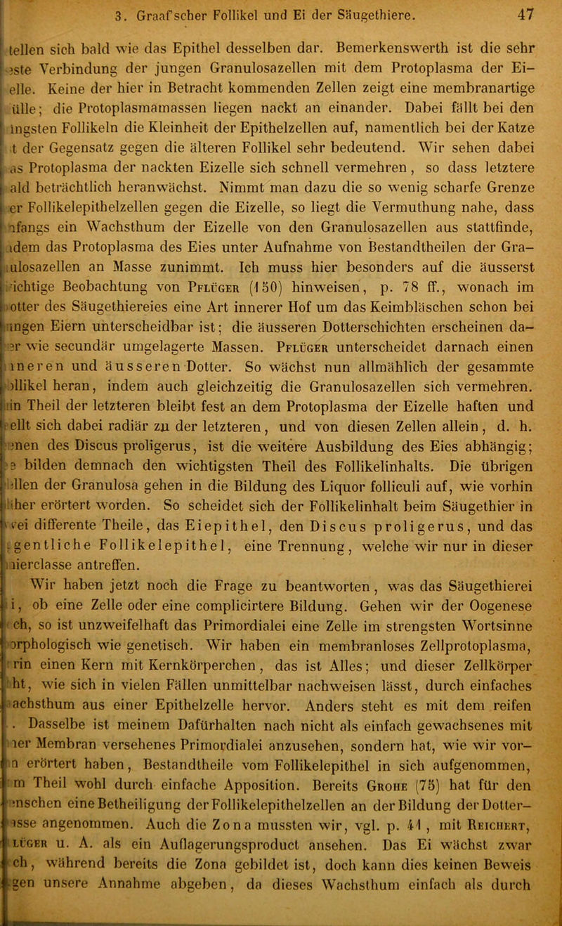 I teilen sich bald wie das Epithel desselben dar. Bemerkenswerth ist die sehr i 3ste Verbindung der jungen Granulosazellen mit dem Protoplasma der Ei- ; eile. Keine der hier in Betracht kommenden Zellen zeigt eine membranartige iille; die Protoplasmamassen liegen nackt an einander. Dabei fallt bei den mgsten Follikeln die Kleinheit der Epithelzellen auf, namentlich bei der Katze t der Gegensatz gegen die älteren Follikel sehr bedeutend. Wir sehen dabei j as Protoplasma der nackten Eizelle sich schnell vermehren , so dass letztere j ald beträchtlich heranw^ächst. Nimmt man dazu die so wenig scharfe Grenze er Follikelepithelzellen gegen die Eizelle, so liegt die Vermuthung nahe, dass afangs ein Wachsthum der Eizelle von den Granulosazellen aus stattfinde, idem das Protoplasma des Eies unter Aufnahme von Bestandtheilen der Gra- iilosazellen an Masse zunimmt. Ich muss hier besonders auf die äusserst •ichtige Beobachtung von Pflüger (150) hinweisen, p. 78 ff., wonach im Otter des Säugethiereies eine Art innerer Hof um das Keimbläschen schon bei Hingen Eiern unterscheidbar ist; die äusseren Dotterschichten erscheinen da- ?r wie secundär umgelagerte Massen. Pflüger unterscheidet darnach einen ineren und äusseren Dotter. So wächst nun allmählich der gesammte ollikel heran, indem auch gleichzeitig die Granulosazellen sich vermehren, iin Theil der letzteren bleibt fest an dem Protoplasma der Eizelle haften und t eilt sich dabei radiär zji der letzteren, und von diesen Zellen allein , d. h. men des Discus proligerus, ist die weitere Ausbildung des Eies abhängig; 9 bilden demnach den wichtigsten Theil des Follikelinhalts. Die übrigen dien der Granulöse gehen in die Bildung des Liquor folliculi auf, wie vorhin jiiher erörtert worden. So scheidet sich der Follikelinhalt beim Säugethier in vrei differente Theile, das Eiepithel, den Discus proligerus, und das igentliche Follikelepithel, eine Trennung , welche wir nur in dieser iiierclasse antreffen. Wir haben jetzt noch die Frage zu beantworten, was das Säugethierei u, ob eine Zelle oder eine complicirtere Bildung. Gehen wir der Oogenese ' ch, so ist unzweifelhaft das Primordialei eine Zelle im strengsten Wortsinne Sorphologisch wie genetisch. Wir haben ein membranloses Zellprotoplasma, ! rin einen Kern mit Kernkörperchen , das ist Alles; und dieser Zellkörper tht, wie sich in vielen Fällen unmittelbar nachweisen lässt, durch einfaches ■lachsthum aus einer Epithelzelle hervor. Anders steht es mit dem reifen . Dasselbe ist meinem Dafürhalten nach nicht als einfach gewachsenes mit ner Membran versehenes Primordialei anzusehen, sondern hat, wie wir vor- n erörtert haben, Bestandtheile vom Follikelepithel in sich aufgenommen, :m Theil wohl durch einfache Apposition. Bereits Groiie (75) hat für den mschen eine Betheiligung der Follikelepithelzellen an der Bildung derDotter- 'isse angenommen. Auch die Zona mussten wir, vgl. p. 41 , mit Reichert, 'lüger u. A. als ein Auflagerungsproduct ansehen. Das Ei vs'ächst zwar ich, während bereits die Zona gebildet ist, doch kann dies keinen Beweis ;gen unsere Annahme abgeben, da dieses Wachsthum einfach als durch