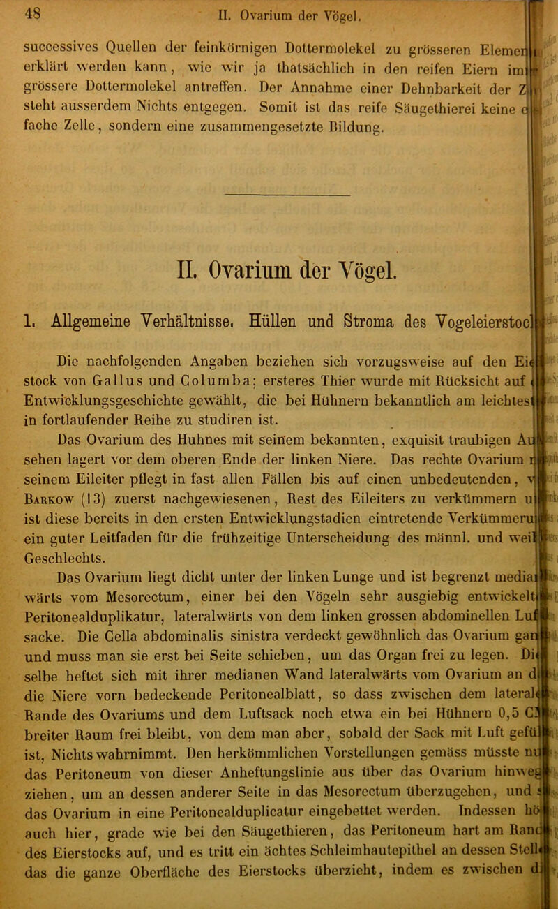 successives Quellen der feinkörnigen Dottermolekel zu grösseren Elemern erklärt werden kann, wie wir ja thatsächlich in den reifen Eiern im 8 grössere Dottermolekel antreffen. Der Annahme einer Dehnbarkeit der zi steht ausserdem Nichts entgegen. Somit ist das reife Säugethierei keine € 9 fache Zelle, sondern eine zusammengesetzte Bildung. I in fortlaufender Reihe zu studiren ist. I Das Ovarium des Huhnes mit seinem bekannten, exquisit trauliigen Ai | sehen lagert vor dem oberen Ende der linken Niere. Das rechte Ovarium i| seinem Eileiter pflegt in fast allen Fällen bis auf einen unbedeutenden, v Barkow (13) zuerst nachgewiesenen, Rest des Eileiters zu verkümmern u ist diese bereits in den ersten Entwdcklungstadien eintretende Verkümmern ein guter Leitfaden für die frühzeitige Unterscheidung des männl. und wer Geschlechts. Das Ovarium liegt dicht unter der linken Lunge und ist begrenzt media wärts vom Mesorectum, einer bei den Vögeln sehr ausgiebig entwickelt! Peritonealduplikatur, lateralwärts von dem linken grossen abdominellen Lui sacke. Die Cella abdominalis sinistra verdeckt gewöhnlich das Ovarium gad und muss man sie erst bei Seite schieben, um das Organ frei zu legen. Dij selbe heftet sich mit ihrer medianen Wand lateralwärts vom Ovarium an d die Niere vorn bedeckende Peritonealblatt, so dass zwischen dem lateral! Rande des Ovariums und dem Luftsack noch etwa ein bei Hühnern 0,5 C3 breiter Raum frei bleibt, von dem man aber, sobald der Sack mit Luft gefm ist, Nichts wahrnimmt. Den herkömmlichen Vorstellungen gemäss müsste nu das Peritoneum von dieser Anheftungslinie aus über das Ovarium hinwee ziehen, um an dessen anderer Seite in das Mesorectum überzugehen, und : das Ovarium in eine Peritonealduplicatur eingebettet werden. Indessen hö auch hier, grade wie bei den Säugethieren, das Peritoneum hart am Rane des Eierstocks auf, und es tritt ein ächtes Schleimhautepithel an dessen Stell II. Ovarium der Vögel. 1. Allgemeine Verhältnisse. Hüllen und Stroma des Vogeleierstoc Die nachfolgenden Angaben beziehen sich vorzugsweise auf den Ei( stock von Gallus und Columba; ersteres Thier wurde mit Rücksicht auf Entwicklungsgeschichte gew’ählt, die bei Hühnern bekanntlich am leichtes das die ganze Oberfläche des Eierstocks überzieht, indem es zwischen d.