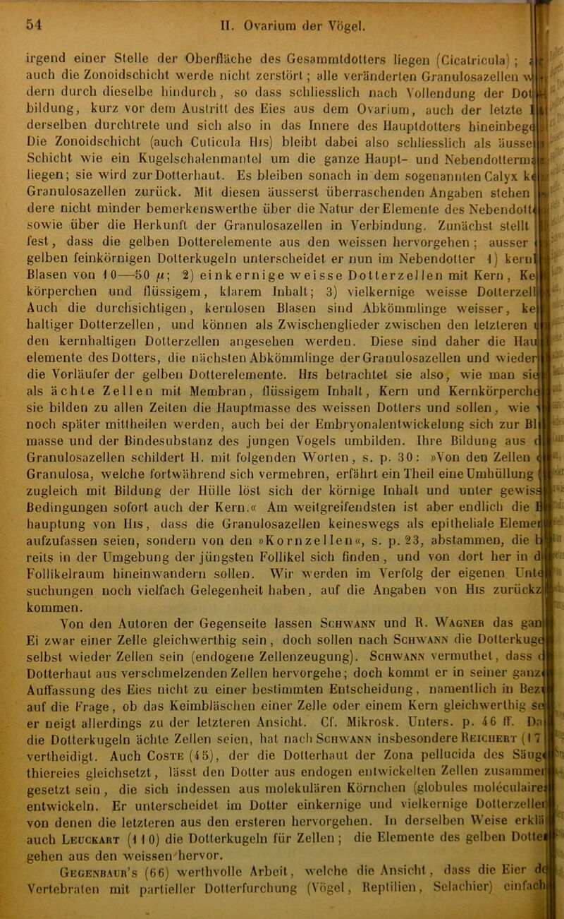 irgend einer Stelle der Oberfläche des Gesammtdolters liegen (Cicalricula) ; auch die Zonoidschichl werde nicht zerstört; alle veränderten Granulosazellen v dem durch dieselbe hindurch, so dass schliesslich nach Vollendung der Do hildung, kurz vor dem Austritt des Eies aus dem Ovarium, auch der letzte derselben durchlrete und sich also in das Innere des Hauptdotters hineinbeg Die Zonoidschichl (auch Cuticula Ilis) bleibt dabei also schliesslich als äusse! Schicht wie ein Kugelschalenmantel um die ganze Haupt- und Nebendolterm liegen; sie wird zurDotterliaut. Es bleiben sonach in dem sogenanntenCalyx k Granulosazellen zurück. Mit diesen äusserst überraschenden Angaben stehen dere nicht minder bemerkenswerlhe über die Natur der Elemente des Nebendott sowie über die Herkunft der Granulosazellen in Verbindung. Zunächst stellt fest, dass die gelben Dotterelemenle aus den weissen hervorgehen; ausser gelben feinkörnigen Dolterkugeln unterscheidet er nun im Nebendotier t) kern Blasen von 10—50 |w; 2) einkernige weisse Dotterzellen mit Kern, Ke! körperchen und flüssigem, klarem Inhalt; 3) vielkernige weisse Dollerzei Auch die durchsichtigen, kernlosen Blasen sind Abkömmlinge weisser, kej haltiger Dotterzellen, und können als Zwischenglieder zwischen den letzteren den kernhaltigen Dolterzellen angesehen werden. Diese sind daher die Ha elemente des Dotters, die nächsten AbkÖmmlinee der Granulosazellen und wiede die Vorläufer der gelben Dotterelemente. His betrachtet sie also, wie man si als ächte Zellen mit Membran, flüssigem Inhalt, Kern und Kernkörperch sie bilden zu allen Zeiten die Hauptmasse des weissen Dotters und sollen, wie noch später mittheilen werden, auch bei der Embryonalentwickelung sich zur Bl masse und der Bindesubstanz des jungen Vogels umbilden. Ihre Bildung aus Granulosazellen schildert H. mit folgenden Worten, s. p. 30: »Von den Zellen Granulosa, welche fortwährend sich vermehren, erfährt ein Theil eine Umhüllung zugleich mit Bildung der Hülle löst sich der körnige Inhalt und unter gewis Bedingungen sofort auch der Kern.« Am weitgreiferidsten ist aber endlich die hauptung von His, dass die Granulosazellen keineswegs als epitheliale Eleme aufzulässen seien, sondern von den »Kornzellen«, s. p. 23, abstammen, die reits in der Umgebung der jüngsten Follikel sich finden, und von dort her in Follikelraum hineinwandern sollen. Wir werden im Verfolg der eigenen Unt suchungen noch vielfach Gelegenheit haben, auf die Angaben von His zurück kommen. Von den Autoren der Gegenseite lassen Schwann und R. Wagneb das g Ei zwar einer Zelle gleichwertbig sein, doch sollen nach Schwann die Dotlerkug selbst wieder Zellen sein (endogene Zellenzeugung). Schwann vermulhet, dass Dotterhaut aus verschmelzenden Zellen hervorgehe; doch kommt er in seiner ganz Auffassung des Eies nicht zu einer bestimmten Entscheidung, namentlich in Bez auf die Frage, ob das Keimbläschen einer Zelle oder einem Kern gleichwertbig s er neigt allerdings zu der letzteren Ansicht. Cf. Mikrosk. Unters, p. 46 fl. Da die Dotterkugeln ächte Zellen seien, hat nach Schwann insbesondere Reichert (t 7 verlheidigt. Auch Coste (4 5), der die Dolterhaut der Zona pellucida des Säug thiereies gleichsetzt, lässt den Dotter aus endogen entwickelten Zellen zusamme gesetzt sein , die sich indessen aus molekulären Körnchen (globules moleculaire entwickeln. Er unterscheidet im Dotier einkernige und vielkernige Dotterzellei: von denen die letzteren aus den ersteren hervorgehen, ln derselben Weise erklä auch Leückaht (t 1 0) die Dollerkugeln für Zellen ; die Elemente des gelben Dotlei gehen aus den weissen'hervor. Gegenbaur’s (66) werihvolle Arbeit, welche die Ansicht, dass die Eier d Vertebraten mit partieller Dotierfurchung (Vögel, Reptilien, Selachier) einfach! -V.k.