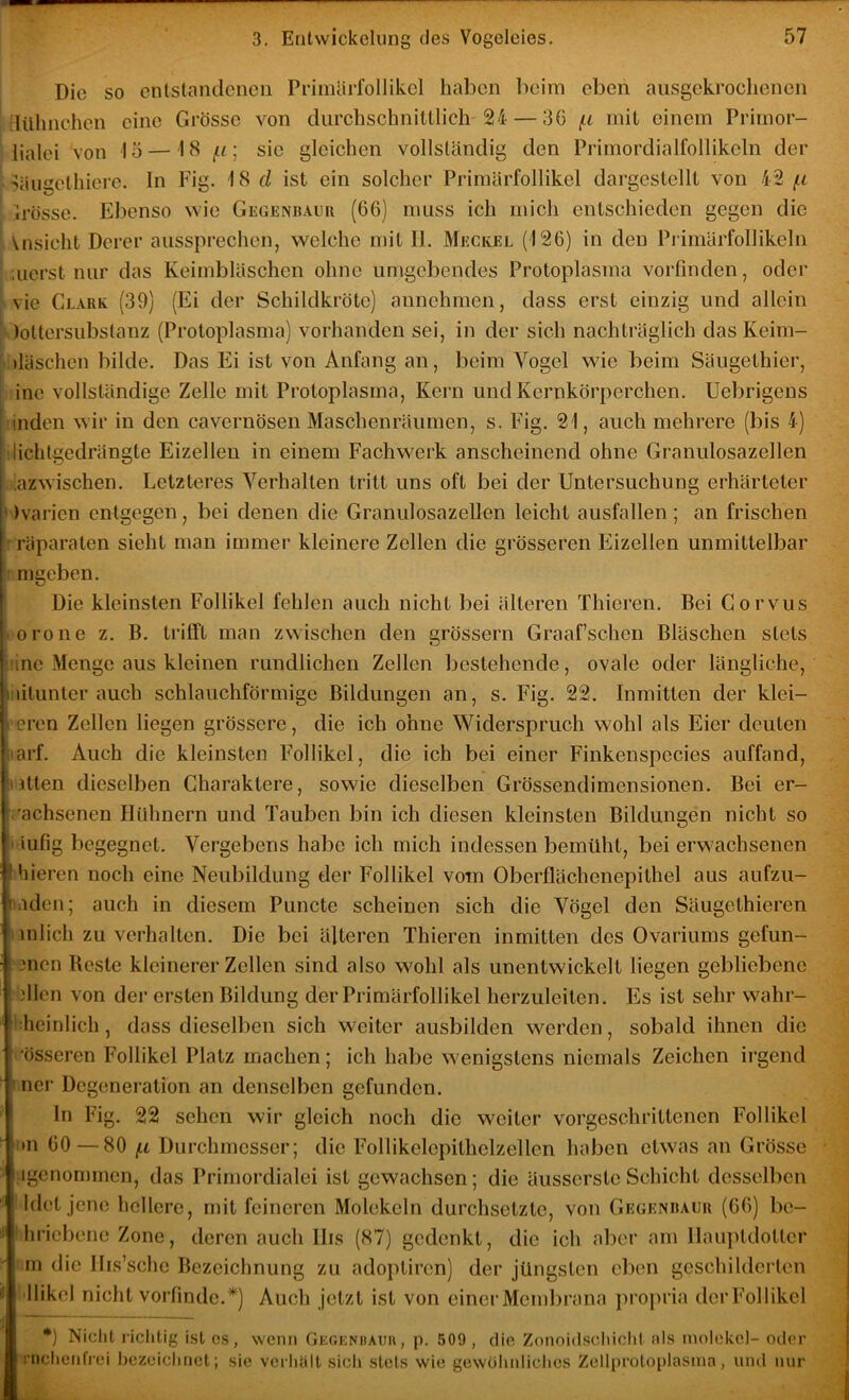 Die so entstandenen Priinarfollikcl haben beim eben ausgckroclienen tlühnchen eine Grösse von durchschnittlicli'24 — 36 {.i mit einem Primor- lialei von 13 — 18 (.i ] sic gleichen vollständig den Primordialfollikeln der •üäugethiere. In Fig. 18 d ist ein solcher Primärfollikel dargestellt von 42 (.i Irösse. Ebenso wie Gegenbauu (66) muss ich mich entschieden gegen die \nsicht Derer aussprechen, welche mit II. Meckel (126) in den Piimärfollikeln ;uerst nur das Keimbläschen ohne umgebendes Protoplasma vorfinden, oder vie Clark (39) (Ei der Schildkröte) annchmen, dass erst einzig und allein ' lottcrsubstanz (Protoplasma) vorhanden sei, in der sich nachträglich das Keim- )läschen bilde. Das Ei ist von Anfang an, beim Vogel wie beim Säiigethier, ine vollständige Zelle mit Protoplasma, Kern und Kernkörperchen. Uebrigeus inden wir in den cavernösen Maschenräumen, s. Fig. 21, auch mehrere (bis 4) I lichtgedrängte Eizellen in einem Fach werk anscheinend ohne Granulosazellen dazwischen. Letzteres Verhalten tritt uns oft bei der Untersuchung erhärteter »)varien entgegen, bei denen die Granulosazellen leicht ausfallen ; an frischen rräparaten sieht man immer kleinere Zellen die grösseren Eizellen unmittelbar |i mgeben. ■ Die kleinsten Follikel fehlen auch nicht bei älteren Thieren. Bei Gorvus • orone z. B. trifft man zwischen den grössern Graaf’schen Bläschen stets ine Menge aus kleinen rundlichen Zellen bestehende, ovale oder längliche, i'iitunter auch schlauchförmige Bildungen an, s. Fig. 22. Inmitten der klei- neren Zellen liegen grössere, die ich ohne Widerspruch wohl als Eier deuten iiarf. Auch die kleinsten Follikel, die ich bei einer Finkenspecies auffand, ijtten dieselben Charaktere, sowie dieselben Grössendimensionen. Bei er- ^'achsenen Hühnern und Tauben bin ich diesen kleinsten Bildungen nicht so I iufig begegnet. Vergebens habe ich mich indessen bemüht, bei erwachsenen Hiieren noch eine Neubildung der Follikel vom Oberflächenepithel aus aufzu- haden; auch in diesem Puncte scheinen sich die Vögel den Säugethieren mlich zu verhalten. Die bei älteren Thieren inmitten des Ovariums gefun- ! 3ncn Reste kleinerer Zellen sind also w^ohl als unentwickelt liegen gebliebene ! illen von der ersten Bildung der Primärfollikel herzuleitcn. Es ist sehr wahr- I heinlich, dass dieselben sich weiter ausbilden werden, sobald ihnen die össeren Follikel Platz machen; ich habe w'enigstens niemals Zeichen irgend rnci’ Degeneration an denselben gefunden. In Fig. 22 sehen wir gleich noch die weiter vorgeschrittenen Follikel !»n 60 — 80 (.1 Durchmesser; die Follikelepithelzellen haben etw^as an Grösse • igenommcn, das Primordialei ist gewachsen; die äusserste Schicht desselben Ildet jene hellere, mit feineren Molekeln durchsetzte, von Gegenraur (66) be- hricberie Zone, deren auch IIis (87) gedenkt, die ich aber am Ilauptdotlcr m die Ilis’sche Bezeichnung zu adopliren) der jüngsten eben geschilderten ■llikel nicht vorfinde.*) Auch jetzt ist von einer Membrana propria der Follikel *) Nicht i’iclitig ist cs, wenn OicoKNiiAim, p. 509, die Zonoidscliiclit als molckcl- oder mclienfrei bczciclinct; sie verhalt sicli stets wie gewöhnliches Zellprotoplasma, und nur