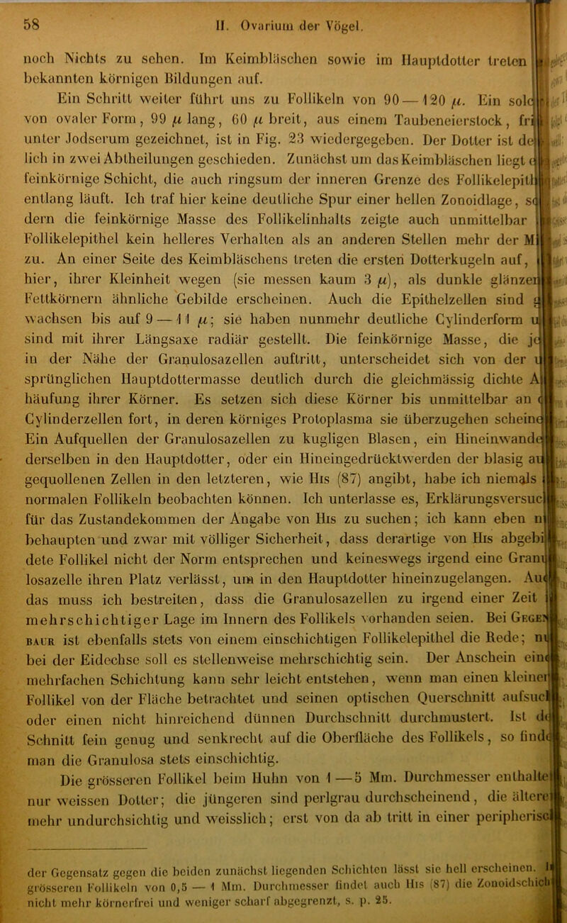 noch Nichts zu sehen. Im Keimbliischen sowie im Ilaupldotler treten bekannten körnigen Bildungen auf. Ein Schritt weiter führt uns zu Follikeln von 90 —120 /tf. Ein sol von ovaler Form, OO^iAlang, (iO breit, aus einem Taubeneierstock, fr unter Jodserum gezeichnet, ist in Fig. 23 wiedergegeben. Der Dotter ist d lieh in zwei Abtheilungen geschieden. Zunächst um das Keimbläschen liegt ( feinkörnige Schicht, die auch ringsum der inneren Grenze des Follikelepitl entlang läuft. Ich traf hier keine deutliche Spur einer hellen Zonoidlage, s dem die feinkörnige Masse des Follikelinhalts zeigte auch unmittelbar Follikelepithel kein helleres Verhalten als an anderen Stellen mehr der M zu. An einer Seite des Keimbläschens treten die ersten Dotterkugeln auf. hier, ihrer Kleinheit wegen (sie messen kaum 3 ^u), als dunkle glänzei Fettkörnern ähnliche Gebilde erscheinen. Auch die Epithelzellen sind wachsen bis auf 9 —11 fi ] sie haben nunmehr deutliche Gylinderform sind mit ihrer Längsaxe radiär gestellt. Die feinkörnige Masse, die je in der Nähe der Granulosazeilen auftritt, unterscheidet sich von der sprünglichen Hauptdottermasse deutlich durch die gleichmässig dichte A| häufung ihrer Körner. Es setzen sich diese Körner bis unmittelbar an Cylinderzellen fort, in deren körniges Protoplasma sie überzugehen schein Ein Aufquellen der Granulosazellen zu kugligen Blasen, ein Hineinwand derselben in den Hauptdotter, oder ein Hineingedrücktwerden der blasig a gequollenen Zellen in den letzteren, wie His (87) angibt, habe ich niemes normalen Follikeln beobachten können. Ich unterlasse es, Erklärungsversuc] für das Zustandekommen der Angabe von His zu suchen; ich kann eben n behaupten und zwar mit völliger Sicherheit, dass derartige von His abgeb dete Follikel nicht der Norm entsprechen und keineswegs irgend eine Gran losazelle ihren Platz verlässt, um in den Hauptdotter hineinzugelangen. Au das muss ich bestreiten, dass die Granulosazellen zu irgend einer Zeit mehrschichtiger Lage im Innern des Follikels vorhanden seien. Bei Gege: BAUE ist ebenfalls stets von einem einschichtigen Follikelepithel die Rede; n bei der Eidechse soll es stellenw'eise mehrschichtig sein. Der Anschein eim mehrfachen Schichtung kann sehr leicht entstehen, wenn man einen kleiner Follikel von der Fläche betrachtet und seinen optischen Querschnitt aufsuc oder einen nicht hinreichend dünnen Durchschnitt durchmustert. Ist d Schnitt fein genug und senkrecht auf die Oberfläche des Follikels, so lind man die Granulosa stets einschichtig. Die grösseren Follikel beim Huhn von 1 —5 Mm. Durchmesser enthalte! nur weissen Dotier; die jüngeren sind perlgrau durchscheinend, die älleie^ mehr undurchsichtig und weisslich; erst von da ab tritt in einer peripheiisc 1er Gegensatz gegen die beiden zunächst liegenden Schichten lässt sie hell erscheinen. Il grösseren Follikeln von 0,5 — 1 Mm. Durchmesser lindel auch llis (87) die Zonoidschichj licht mehr körnerfrei und weniger scharf abgegrenzt, s. ]). 25.