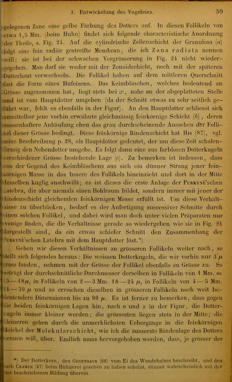elegencn Zone eine gelbe Färbung des Dotters uuf. In diesen Follikeln von etwa 1,5 Mm. (beim Huhn) findet sich folgende characteristische Anordnung der Theile, s. Fig. . Auf die cylindrische Zellenschicht der Granulosa (ß) folgt eine fein radiär gestreifte Membran, die ich Zona radiata nennen ! will; sie ist bei der schwachen Vergrösserung in Fig. 24 nicht wieder- gegeben. Man darf sie weder mit der Zonoidschicht, noch mit der späteren Dotterhaut verwechseln. Die Follikel haben auf dem mittleren Querschnitt fast die Form eines Hufeisens. Das Keimbläschen, welches bedeutend an ■ Grösse zugenommen hat, liegt stets beim, nahe an der abgeplatteten Stelle und ist vom Hauptdotter umgeben (da der Schnitt etwas zu sehr seitlich ge- iführt war, fehlt es ebenfalls in der Figur). An den Hauptdotter schliesst sich unmittelbar jene vorhin erwähnte gleichmässig feinkörnige Schicht [b] , deren massenhaftere Anhäufung eben das grau durchscheinende Aussehen dfer Folli- \iel dieser Grösse bedingt. Diese feinkörnige Rindenschicht hat His (87), vgl. • seine Beschreibung p. 28, als Hauptdotter gedeutet, der um diese Zeit schalen- !“örmig den Nebendotter umgebe. Es folgt dann eine aus farblosen Dotterkugeln . verschiedener Grösse bestehende Lage (c). Zu bemerken ist indessen, dass , ,'on der Gegend des Keimbläschens aus sich ein dünner Strang jener fein- ^ törnigen Masse in das Innere des Follikels hineinzieht und dort in der Mitte •i lesseiben kuglig anschwillt; es ist dieses die erste Anlage der PuRKVNE’schen 1 ^atebra, die aber niemals einen Hohlraum bildet, sondern immer mit jener der' n Hndenschicht gleichenden feinkörnigen Masse erfüllt ist. Um diese Verhält- ^lisse zu überblicken, bedarf es der Anfertigung successiver Schnitte durch ‘i'inen solchen Follikel, und dabei wird man doch unter vielen Präparaten nur wenige finden, die die Verhältnisse gerade so wiedergeben wie sie in Fig. 24 I largestellt sind, da ein etwas schiefer Schnitt den Zusammenhang der ’'üRKYNE’schen Latebra mit dem Hauptdotter löst.*) Gehen wir diesen Verhältnissen an grösseren Follikeln weiter nach, so I teilt sich folgendes heraus : Die weissen Dotterkugeln, die wir vorhin nur S'iii i;ross fanden, nehmen mit der Grösse der Follikel ebenfalls an Grösse zu. So ■leträgt der durchschnittliche Durchmesser derselben in Follikeln von 1 Mm. = 5—\Sß, in Follikeln von 2 — 3 Mm. 18 — 24 f.i, in Follikeln von 4 — 5 Mm. 14 — 30 f.1 und so erreichen dieselben in grösseren Follikeln noch weit be- 'leutcndere Dimensionen bis zu 80 ß. Es ist ferner zu bemerken, dass gegen ilie beiden feinkörnigen Lagen hin, nach a und in der Figur, die Dotter- i ' ugeln immer kleiner werden; die grössesten liegen stets in der Mitte; die Meincren gehen durch die unmerklichsten Uebergänge in die feinkörnigen lolckel der Molekularschicht, wie ich die äusscrste Rindenlage des Dotters ' ennen will, über. Endlich muss hervorgehoben werden, dass, je grösser der *) Der Dotterkern, den OECENnAun (66) vom Ei des Wendehalses beschreibt, und den uch Gramer (47) beim Hühnerei gesehen zu haben scheinf, stimmt wahrscheinlich mit der ier beschriebenen 'Bildung überein.