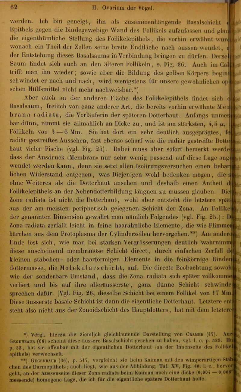 Pi werden. Ich bin geneigt, ihn als zusammenhängende Basalschicht Epithels gegen die bindegewebige Wand des Follikels aufzufassen und glau die eigenthümliche Stellung des Follikelepithels, die vorhin erwähnt wur wonach ein Theil der Zellen seine breite Endfläche nach aussen wendet, der Entstehung dieses ßasalsaums in Verbindung bringen zu dürfen. Derse Saum findet sich auch an den älteren Follikeln, s. Fig. 26. Auch im Ga trifft man ihn wieder; sowie aber die Bildung des gelben Körpers begin schwindet er nach und nach, wird wenigstens für unsere gewöhnlichen op sehen Hülfsmittel nicht mehr nachweisbar.*) Aber auch an der anderen Fläche des Follikelepithels findet sich ( Basalsaum, freilich von ganz anderer Art, die bereits vorhin erwähnte Me brana radiata, die Vorläuferin der späteren Dotterhaut. Anfangs unme bar dünn, nimmt sie allmählich an Dicke zu, und ist am stärksten, 4,5 fx, Follikeln von 3 — 6 Mm. Sie hat dort ein sehr deutlich ausgep’ägtes, f radiär gestreiftes Aussehen, fast ebenso scharf wie die radiär gestreifte Dot haut vieler Fische (vgl. Fig. 25). Dabei muss aber sofort bemerkt werd dass der Ausdruck »Membran« nur sehr wenig passend auf diese Lage ang wendet werden kann, denn sie setzt allen Isolirungsversuchen einen behar liehen Widerstand entgegen, was Diejenigen wohl bedenken mögen, die ohne Weiteres als die Dotterhaut ansehen und deshalb einen Antheil Follikelepithels an der Nebendotterbildung läugnen zu müssen glauben. Di Zona radiata ist nicht die Dotterhaut, wohl aber entsteht die letztere spät! aus der am meisten peripherisch gelegenen Schicht der Zona. An Follike der genannten Dimension gewahrt man nämlich Folgendes (vgl. Fig. 25.) Zona radiata zerfällt leicht in feine haarähnliche Elemente , die wie Flimme härchen aus dem Protoplasma der Cylinderzellen hervorgehen.**) Am anderi Ende löst sich, wie man bei starken Vergrösserungen deutlich wahrnim diese anscheinend membranöse Schicht direct, durch einfachen Zerfall d kleinen Stäbchen- oder haarförmigen Elemente in die feinkörnige Binder ^ dottermasse, die Molekula rschicht, auf. Die directe Beobachtung sowoh wie der sonderbare Umstand, dass die Zona radiata sich später vollkomm verliert und bis auf ihre alleräusserste , ganz dünne Schicht schwinde sprechen dafür. (Vgl. Fig. 26, dieselbe Schicht bei einem Follikel von 17 Mm Diese äusserste basale Schicht ist dann die eigentliche Dotterhaut. Letztere ent steht also nicht aus der Zonoidschicht des Hauptdotters, hat mit dem letztere '.Han *) Vörgl. hierzu die zicmlicl) gleichlautende Darstellung von Gramer (47). Auc^ Gegenbaur (66) scheint diese äussere Basalschicht gesehen zu haben, vgl. 1. c. p. 525. Hr p. 33, hat sie offenbar mit der eigentlichen Dotterhaut (an der Innenseite des Follike epithels) verwechselt. **) Gegenbaur (66), p. 517, vergleicht sic beim Kaiman mit den winiperartigcn Stäb eben des Darmepithels; auch liegt, wie aus der Abbildung, Taf. XV, Fig. 10. I. c., hervor geht, an der Au.ssensoite dieser Zona radiata beim Kaiman noch eine dicke (0,004 — 0,006' messende) homogene Lago, die ich für die eigentliche spätere Dotterhaut halte.