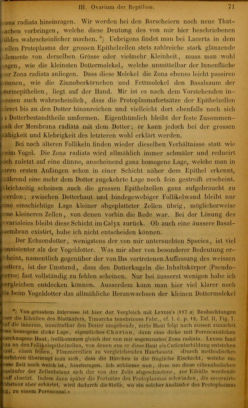 I iona radiata hineinragen. Wir werden bei den Barscheiern noch neue That- ! achen Vorbringen, welche diese Deutung des von mir hier beschriebenen I üldes wahrscheinlicher machen. *) Uebrigens findet man bei Lacerta in dem j eilen Protoplasma der grossen Epithelzellen stets zahlreiche stark glänzende I llemente von derselben Grösse oder vielmehr Kleinheit, muss man wohl agen, wie die kleinsten Dottermolekel, welche unmittelbar der Innenfläche er Zona radiata anliegen. Dass diese Molekel die Zona ebenso leicht passiren I önnen, wie die Zinnoberkörnchen und Fettmolekel den Basalsaum der j »armepithelien, liegt auf der Hand. Mir ist es nach dem Vorstehenden in- ossen auch wahrscheinlich, dass die Protoplasmafortsätze der Epithelzellen irect bis an den Dotter hinanreichen und vielleicht dort ebenfalls noch sich 1 Dotterbestandtheile umformen. Eigenthürnlich bleibt der feste Zusammen- ;alt der Membrana radiata mit dem Dotter; er kann jedoch bei der grossen .i ähigkeit und Klebrigkeit des letzteren wohl erklärt werden. Bei noch älteren Follikeln finden wieder dieselben Verhältnisse statt wie eim Vogel. Die Zona radiata wird allmählich immer schmäler und reducirt (ich zuletzt auf eine dünne, anscheinend ganz homogene Lage, welche man in . iren ersten Anfängen schon in einer Schicht näher dem Epithel erkennt, ./ährend eine mehr dem Dotter zugekehrte Lage noch fein gestreift erscheint. :i leichzeitig scheinen auch die grossen Epithelzellen ganz aufgebraucht zu ../erden; zwischen Dotterhaut und bindegewebiger Follikelwand bleibt nur iiine einschichtige Lage kleiner abgeplatteter Zellen übrig, möglicherweise :me kleineren Zellen, von denen vorhin die Rede war. Bei der Lösung des varialeies bleibt diese Schicht imCalyx zurück. Ob auch eine äussere Basal- idembran existirt, habe ich nicht entscheiden können. Der Echsendotter, wenigstens der von mir untersuchten Species, ist viel jmsistenter als der Vogeldotter. Was mir aber von besonderer Bedeutung er- : iheint, namentlich gegenüber der vonHis vertretenen Auffassung des weissen | ['Otters, ist der Umstand, dass den Dotterkugeln die Inhaltskörper (Pseudo- j » erne) fast vollständig zu fehlen scheinen. Nur bei äusserst wenigen habe ich ‘ lergleichen entdecken können. Ausserdem kann man hier viel klarer noch | ls beim Vogeldotter das allmähliche Heranwachsen der kleinen Dottermolekel i ! *) Von grösstem Interesse ist hier der Vergleich mit Leydig’s (117 a) Beobachtungen j| oer die Eihüllen des Blattkäfers, Timarcha tenebricosa Fahr., cf. 1. c. p. 12, Taf. II, Fig. 7. li ‘Uf die innerste, unmittelbar den Dotter umgebende, zarte Haut folgt nach aussen zunächst ;! ^ne homogene dicke Lage, eigentliches Chorion, dann eine dicke mit Porencanälchen - jrchzogene Haut, ivollkommen gleich der von mir sogenannten;Zona radiata. Leydig fand j jn an den Follikelepithelzellen, von denen aus er diese Haut als Cuticularbildung entstehen \ 'SSt, einen feinen, Flimmercilien zu vergleichenden Häärbesatz. »Durch methodisches i5 “erfahren überzeugt man sich, dass die Härchen in die fragliche Eischicht, welche um | ‘■ese Zeit noch weich ist, hineinrngen. Ich schliesse nun, dass um diese cilienühnlichen ^ asläufer der Zellsubstanz sich der von der Zelle abgeschiedene, zur Eihülle werdende j off absetzt. Indem dann später die Fortsätze des Protoplasmas schwinden, die secernirtc ihstanz aber erhärtet, wird dadurch die Stelle, wo ein solcher Ausläufer des Protoplasmas t ig, zu einem Porencanal.« i