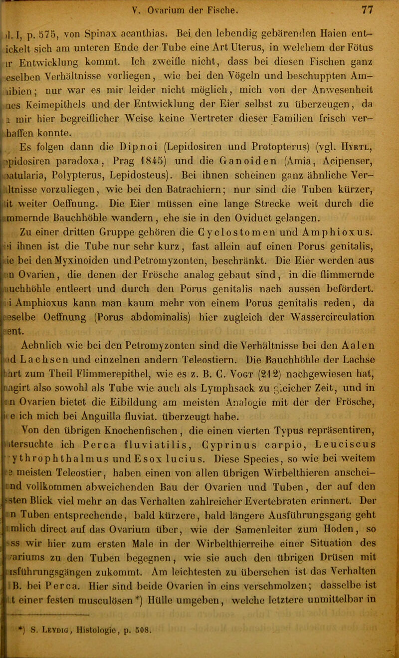 il. I, p. 575, von Spinax ncanthias. Bei den lebendig gebärenden Haien ent- ickelt sich am unteren Ende der Tube eine Art Uterus, in welcliem der Fötus ir Entwicklung kommt. Ich zweifle nicht, dass bei diesen Fischen ganz eselben Verhältnisse vorliegen, wie bei den Vögeln und beschuppten Am- libien; nur war es mir leider nicht möglich, mich von der Anwesenheit i aes Keimepithels und der Entwicklung der Eier selbst zu überzeugen, da I 1 mir hier begreiflicher Weise keine Vertreter dieser Familien frisch ver- haßen konnte. I Es folgen dann die Dipnoi (Lepidosiren und Protopterus) (vgl. Hyrtl, i jpidosiren paradoxa, Prag 1845) und die Ganoiden (Arnia, Acipenser, j )atularia, Polypterus, Lepidosteus). Bei ihnen scheinen ganz ähnliche Ver- I ltnisse vorzuliegen, wie bei den Batrachiern; nur sind die Tuben kürzer, it weiter Oefifnung. Die Eier müssen eine lange Strecke weit durch die ümmernde Bauchhöhle wandern, ehe sie in den Oviduct gelangen. Zu einer dritten Gruppe gehören die Gyclostomen und Amphioxus. (i ihnen ist die Tube nur sehr kurz, fast allein auf einen Perus genitalis, 1 ie bei den Myxinoiden und Petromyzonten, beschränkt. Die Eier werden aus in Ovarien, die denen der Frösche analog gebaut sind, in die flimmernde uuchhöhle entleert und durch den Poms genitalis nach aussen befördert. ‘i Amphioxus kann man kaum mehr von einem Porus genitalis reden, da leselbe Oeffnung (Porus abdominalis) hier zugleich der Wassercirculation ^ ent. Aehnlich wie bei den Petromyzonten sind die Verhältnisse bei den Aalen ütid Lachsen und einzelnen andern Teleostiern. Die Bauchhöhle der Lachse f hrt zum Theil Flimmerepithel, wie es z. B. G. Vogt (212) nachgewiesen hat, iiQgirt also sowohl als Tube wie auch als Lymphsack zu gleicher Zeit, und in ‘I n Ovarien bietet die Eibildung am meisten Analogie mit der der Frösche, il e ich mich bei Anguilla fluviat. überzeugt habe. Von den übrigen Knochenfischen, die einen vierten Typus repräsentiren, utersuchte ich Perca fluviatilis, Gyprinus carpio, Leuciscus ‘• •ythrophthalmus undEsox lucius. Diese Species, so wie bei weitem t 9 meisten Teleostier, haben einen von allen übrigen Wirbelthieren anschei- ind vollkommen abweichenden Bau der Ovarien und Tuben, der auf den ^5ten Blick viel mehr an das Verhalten zahlreicher Evertebraten erinnert. Der in Tuben entsprechende, bald kürzere, bald längere Ausführungsgang geht I mlich direct auf das Ovarium über, wie der Samenleiter zum Hoden, so ;ss wir hier zum ersten Male in der Wirbelthierreihe einer Situation des ^ariums zu den Tuben begegnen, wie sie auch den übrigen Drüsen mit I isführungsgängen zukommt. Am leichtesten zu übersehen ist das Verhalten 1 B. bei Perca. Hier sind beide Ovarien in eins verschmolzen; dasselbe ist I t einer festen musculösen^) Hülle umgeben, welche letztere unmittelbar in *) S, Leydig, Histologie, p. 508.