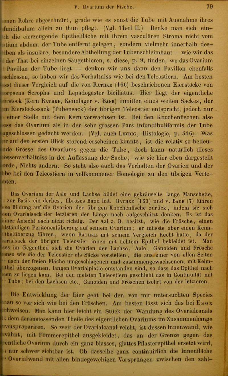 j ?nen Röhre abgeschnürt, grade wie es sonst die Tube mit Ausnahme ihres ! fundibulum allein zu thun pflegt. (Vgl. Theil II.) Denke man sich ein- j jh die eierzeugende Epithelfläche mit ihrem vasculären Stroma nicht vom j ’.tium abdom. der Tube entfernt gelegen, sondern vielmehr innerhalb des- j Iben als insulare, besondere Abtheilung der Tubenschleimhaut — wie wir das I der That bei einzelnen Säugethieren, s. diese, p. 9, finden, wo das Ovarium j Pavillon der Tube liegt — denken wir uns dann den Pavillon ebenfalls j schlossen, so haben wir das Verhältniss wie bei den Teleostiern. Am besten I sst dieser Vergleich auf die von Rathke (166) beschriebenen Eierstöcke von I orpaena Scropha und Lepadogaster biciliatus. Hier liegt der eigentliche 31'stock (Kern Rathke, Keimlager v. Baer) inmitten eines weiten Sackes, der ■m Eierstockssack (Tubensack) der übrigen Teleostier entspricht, jedoch nur , einer Stelle mit dem Kern verwachsen ist. Bei den Knochenfischen also I ISS das Ovarium als in der sehr grossen Pars infundibuliformis der Tube i;.igeschlossen gedacht werden. (Vgl. auch Leydig, Histologie, p. 516). Was •:;r auf den ersten Blick störend erscheinen könnte, ist die relativ so bedeu- iide Grösse des Ovariums gegen die Tube, doch kann natürlich dieses i'össenverhältniss in der Auffassung der Sache, wie sie hier eben dargestellt rirde. Nichts ändern. So steht also auch das Verhalten der Ovarien und der ?1 be bei den Teleostiern in vollkommener Homologie zu den übrigen Verte- i iten. Das Ovarium der Aale und Lachse bildet eine gekräuselte lange Manschette, zur Basis ein derbes, fibröses Band hat. Rathke (163) und v. Baer (7) führen se Bildung auf die Ovarien der übrigen Knochenfische zurück, indem sie sich ven Ovarialsack der letzteren der Länge nach aufgeschlitzt denken. Es ist das , iner Ansicht nach nicht richtig. Der Aal z. B. besitzt, wie die Frösche, einen j i! Iständigen Peritonealüberzug auf seinem Ovarium; er müsste aber einen Keim- l ! Ihelüberzug führen, wenn Rathke mit seinem Vergleich Recht hätte, da der j aarialsack der übrigen Teleostier innen mit ächtem Epithel bekleidet ist. Man ^ !'ss im Gegentheil sich die Ovarien der Lachse, Aale, Ganoiden und Frösche 'S f mso wie die der Teleostier als Säcke vorstellen , die aus^ einer von allen Seiten ^ • • nach der freien Fläche umgeschlagenen und zusammengewachsenen, mit Keim- ( 1 Ihel überzogenen, langen Ovarialplatte entstanden sind, so dass das Epithel nach < »en zu liegen kam. Bei den meisten Teleostiern geschieht das in Continuität mit f ’ Tube; bei den Lachsen etc., Ganoiden und Fröschen isolirt von der letzteren. ^ i f Die Entwicklung der Eier geht bei den von mir untersuchten Species | nau so vor sich wie bei den Fröschen. Am besten lässt sich das bei Esox | chweisen. Man kann hier leicht ein Stück der Wandung des Ovarialcanals j, t dem daranstossenden Theile des eigentlichen Ovariums im Zusammenhänge } -auspräpariren. So weit der Ovarialcanal reicht, ist dessen Innenwand, wie | 'vähnt, mit Flimmerepithel ausgekleidet, das an der Grenze gegen das ? • entliehe Ovarium durch ein ganz blasses, glattes Pflasterepithel ersetzt wird, i 5 nur schwer sichtbar ist. Ob dasselbe ganz continuirlich die Innenfläche | ’ Ovarialwand mit allen bindegewebigen Vorsprüngen zwischen den zahl- ^