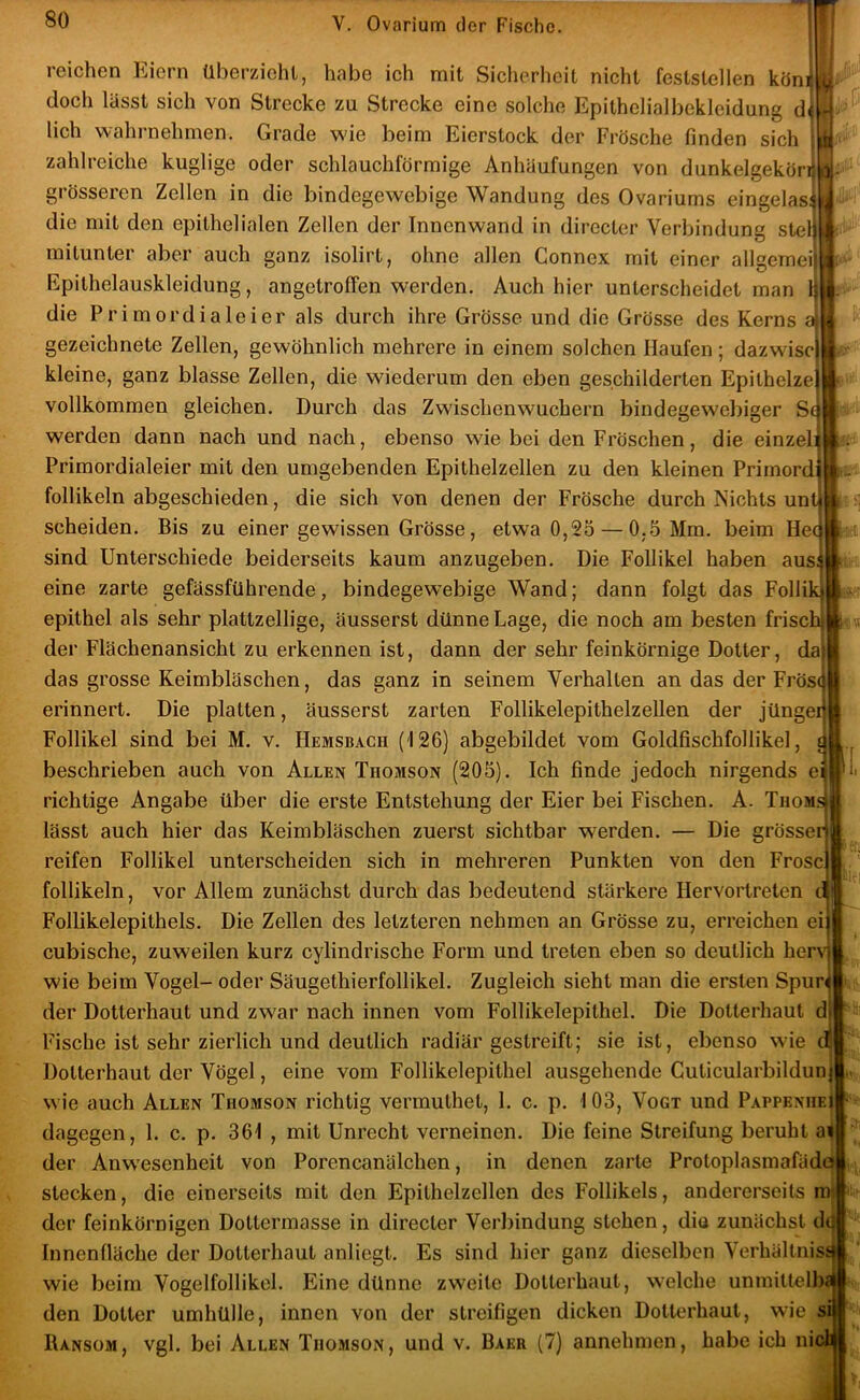 reichen Eiern überzieht, habe ich mit Sicherheit nicht feststellen könt doch lässt sich von Strecke zu Strecke eine solche Epithelialbekleidung d< lieh wahrnehmen. Grade wie beim Eierstock der Frösche finden sich zahlreiche kuglige oder schlauchförmige Anhäufungen von dunkelgekörfi grösseren Zellen in die bindegewebige Wandung des Ovariurns eingelass die mit den epithelialen Zellen der Innenwand in directer Verbindung stell mitunter aber auch ganz isolirt, ohne allen Connex mit einer allgerneii Epithelauskleidung, angetroffen werden. Auch hier unterscheidet man 1 die Primordialeier als durch ihre Grösse und die Grösse des Kerns a gezeichnete Zellen, gewöhnlich mehrere in einem solchen Haufen; dazwiscl kleine, ganz blasse Zellen, die wiederum den eben geschilderten Epithelze) vollkommen gleichen. Durch das Zwischenwuchern bindegewebiger Sc| werden dann nach und nach, ebenso wie bei den Fröschen, die einzelii Primordialeier mit den umgebenden Epithelzellen zu den kleinen Prirnordi follikeln abgeschieden, die sich von denen der Frösche durch Nichts untj scheiden. Bis zu einer gewissen Grösse, etwa 0,25 — 0.5 Mm. beim Hcc sind Unterschiede beiderseits kaum anzugeben. Die Follikel haben aus; eine zarte gefässführende, bindegewebige Wand; dann folgt das Follik epithel als sehr plattzellige, äusserst dünne Lage, die noch am besten frischj der Flächenansicht zu erkennen ist, dann der sehr feinkörnige Dotter, da) das grosse Keimbläschen, das ganz in seinem Verhalten an das der Frösc) erinnert. Die platten, äusserst zarten Follikelepithelzellen der jüngeij Follikel sind bei M. v. Hemsbach (126) abgebildet vom Goldfischfollikel, d beschrieben auch von Allen Thomson (205). Ich finde jedoch nirgends e| richtige Angabe über die erste Entstehung der Eier bei Fischen. A. Thom.s lässt auch hier das Keimbläschen zuerst sichtbar werden. — Die grösser reifen Follikel unterscheiden sich in mehreren Punkten von den Frosc follikeln, vor Allem zunächst durch das bedeutend stärkere Hervortreten Follikelepithels. Die Zellen des letzteren nehmen an Grösse zu, erreichen eij cubische, zuweilen kurz cylindrische Form und treten eben so deutlich herv wie beim Vogel- oder Säugethierfollikel. Zugleich sieht man die ersten Spun der Dotterhaut und zwar nach innen vom Follikelepithel. Die Dotterhaut d Fische ist sehr zierlich und deutlich radiär gestreift; sie ist, ebenso wie d Dotterhaut der Vögel, eine vom Follikelepithel ausgehende Cuticularbildun wie auch Allen Thomson richtig vermuthet, 1. c. p. 103, Vogt und Pappenhei dagegen, 1. c. p. 361 , mit Unrecht verneinen. Die feine Streifung beruht ai der Anw'esenheit von Porencanälchen, in denen zarte Protoplasmafädo stecken, die einerseits mit den Epithelzellen des Follikels, andererseits mi der feinkörnigen Dottermasse in directer Verbindung stehen, dio zunächst d( Innenfläche der Dotterhaut anliegt. Es sind hier ganz dieselben Verhältniss wie beim Vogelfollikel. Eine dünne zweite Dotterhaut, w’elche unmittelba den Dotter umhülle, innen von der streifigen dicken Dotterhaut, wie si Ransom, vgl. bei Allen Thomson, und v. Bakr (7) annehmen, habe ich nicl :1,