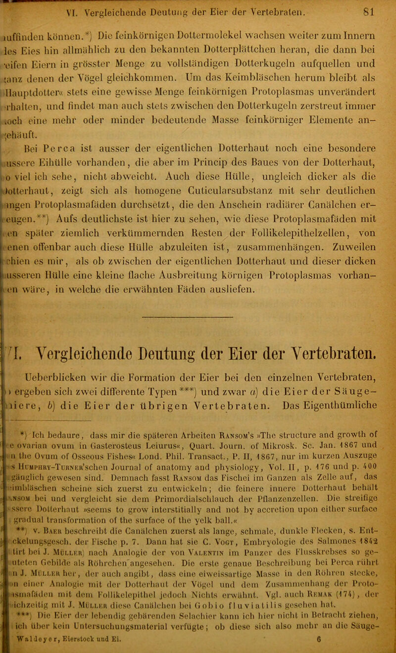 luffinden können. *) Die feinkörnigen Dottermolekel wachsen weiter zum Innern les Eies hin allmählich zu den bekannten Dolterplättchen heran, die dann bei ‘cifen Eiern in grösster Menge zu vollständigen Dotterkugeln aufquellcn und 'anz denen der Vögel gleichkommen. Um das Keimbläschen herum bleibt als llauptdotler« stets eine gewisse Menge feinkörnigen Protoplasmas unverändert •rhalten, und findet man auch stets zwischen den Dotterkugeln zerstreut immer .och eine mehr oder minder bedeutende Masse feinkörniger Elemente an- ',ehäuft. Boi Perca ist ausser der eigentlichen Dotterhaut noch eine besondere ussore Eihülle vorhanden, die aber im Princip des Baues von der Dotterhaiit, 0 viel ich sehe, nicht abweicht. Auch diese Hülle, ungleich dicker als die ',)otterhaut, zeigt sich als homogene Guticularsubstanz mit sehr deutlichen ingen Protoplasmafäden durchsetzt, die den Anschein radiärer Ganälchen er- i. engen,Aufs deutlichste ist hier zu sehen, wie diese Protoplasmafäden mit on später ziemlich verkümmernden Resten der Follikelepithelzellen, von . enen offenbar auch diese Hülle abzuleiten ist, Zusammenhängen. Zuweilen Schien es mir, als ob zwischen der eigentlichen Dotterhaut und dieser dicken iiLisseren Hülle eine kleine flache Ausbreitung körnigen Protoplasmas vorhan- f<en wäre, in welche die erwähnten Fäden ausliefen. f ü. Vergleichende Deutung der Eier der Vertebraten. Ueberblicken wir die Formation der Eier bei den einzelnen Vertebraten, I) ergeben sich zwei differente Typen***) und zwar a) die Eier der Säuge- niere, 6) die Eier der übrigen Vertebraten. Das Eigenthümliche *} Ich bedaure, dass mir die späteren Arbeiten Ransom’s »The structure and growth of fe ovarian ovuin in Gasterosteus Leiurus«, Quart. Journ. of Mikrosk. Sc. Jan. 1867 und , i n Ihe Ovum of Osseous Fishes« Lond. Phil. Transact., P. II, 1867, nur im kurzen Auszuge ‘ S HüMPHRY-TuRNER’schen Journal of anatomy and physiology, Vol. II, p. 176 und p. 400 . gänglich gewesen sind. Demnach fasst Ransom das Fischei im Ganzen als Zelle auf, das nimhläschen scheine sich zuerst zu entwickeln; die feinere innere Dotterhaut behält *.NS0M bei und vergleicht sie dem Primordialschlauch der Pflanzenzellen. Die streifige 'Sserc Dotterhaut »seems to grow interstitially and not by accretion upon either surfaco gradual transformation of the surface of the yelk ball.« **) V. Baku beschreibt die Ganälchen zuerst als lange, schmale, dunkle Flecken, s. Ent- ' ckelungsgesch. der Fische p. 7, Dann hat sie C. Vogt, Embryologie des Salmones 1842 t tirt bei J. Mülleh) nach Analogie der von Valentin im Panzer des Flusskrebses so ge- ' uteten Gebilde als Röhrchen'angesehen. Die erste genaue Beschreibung bei Perca rührt inJ, Müller her, der auch angibt, dass eine eiweissarlige Masse in den Röhren stecke, iii einer Analogie mit der Dotterhaut der Vogel und dem Zusammenhang der Proto- ' isinafäden mit dem Follikelepithel jedoch Nichts envahnt. Vgl. auch Remak (174), tier ichzeitig mit J. Müller diese Ganälchen bei Gobio fluviatilis gesehen hat. ***} Die Eier der lebendig gebärenden .Selachier kann ich hier nicht in Betracht ziehen, ich über kein Untersuchungsmaterial verfügte; ob diese sich also mehr an die Säuge- Waldeyer, Eieratock und Ei. 6