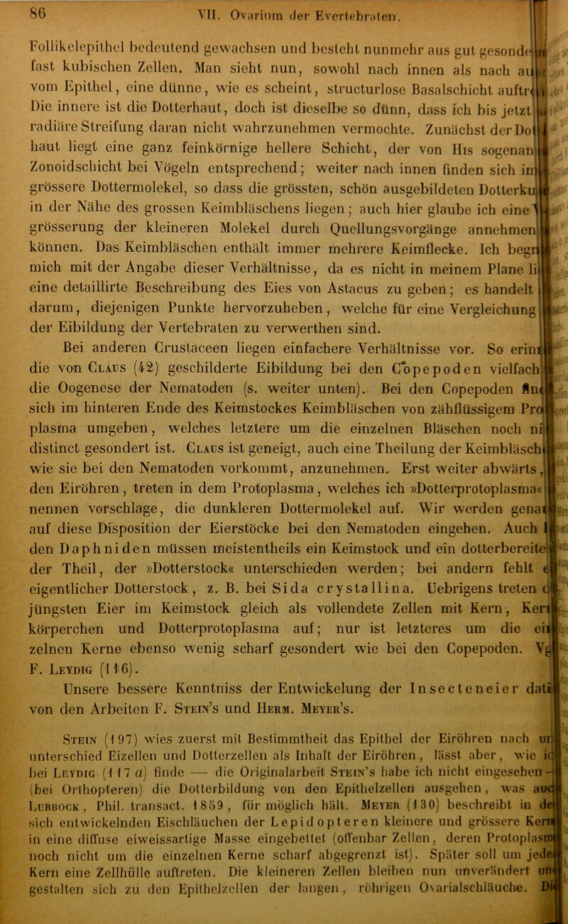 Follikelepilhol bedculend gewachsen und besieht nunmehr aus gut gesondo fast kubischen Zellen. Man sieht nun, sowohl nach innen als nach a4 vom Epithel, eine dünne, wie es scheint, structurlosc Basalschicht auftr Die innere ist die Dotterhaut, doch ist dieselbe so dünn, dass ich bis jetzt radiäre Streifung daran nicht wahrzunehmen vermochte. Zunächst der Do haut liegt eine ganz feinkörnige hellere Schicht, der von Ilts sogenan Zonoidschicht bei Vögeln entsprechend; weiter nach innen fmden sich i grössere Dottermolekel, so dass die grössten, schön ausgebildeten Dotterk in der Nähe des grossen Keimbläschens liegen; auch hier glaube ich eine grösserung der kleineren Molekel durch Qucllungsvorgänge annehmen] können. Das Keimbläschen enthält immer mehrere Keimflecke. Ich beg mich mit der Angabe dieser Verhältnisse, da es nicht in meinem Plane li eine detaillirte Beschreibung des Eies von Astacus zu geben; es handelt darum, diejenigen Punkte hervorzuheben , welche für eine Vergleichung der Eibildung der Vertebraten zu vemerthen sind. Bei anderen Grustaceen liegen einfachere Verhältnisse vor. So erin die von Claus (42) geschilderte Eibildung bei den Copepoden vielfach! die Oogenese der Nematoden (s. weiter unten). Bei den Copepoden Än sich im hinteren Ende des Keimstockes Keimbläschen von zähflüssigem Pn plasma umgeben, welches letztere um die einzelnen Bläschen noch n distinct gesondert ist. Claus ist geneigt, auch eine Theilung der Keimbläsch wie sie bei den Nematoden vorkommt, anzunehmen. Erst weiter abwärts,! den Eiröhren, treten in dem Protoplasma, welches ich »Dottei’protoplasma« nennen vorschlage, die dunkleren Dottermolekel auf. Wir werden genai auf diese Disposition der Eierstöcke bei den Nematoden eingehen. Auch den Daphniden müssen meistentheils ein Keimstock und ein dotterbereite ^ der Theil, der »Dotterstock« unterschieden werden; bei andern fehlt eigentlicher Dotterstock, z. B. bei Sida crystallina, üebrigens treten c jüngsten Eier im Keimstock gleich als vollendete Zellen mit Kern , Ken körperchen und Dotterprotoplasma auf; nur ist letzteres um die eil zelnen Kerne ebenso wenig scharf gesondert wie bei den Copepoden. Vg F. Leydig (116). Unsere bessere Kenntniss der Entwickelung der Insecteneier dati von den Arbeiten F. Stein’s und Herm. Meyer’s. iieJ Stein (197) wies zuerst mit Bestimmtheit das Epithel der Eiröhren nach ur unterschied Eizellen und Dotterzellen als Inhalt der Eiröhren, lässt aber, wie i( hei Leydig (117 a) finde — die Originalarbeit Stein’s habe ich nicht eingesehen- (bei Orthopteren) die Dolterbildung von den Epithelzellen ausgehen, was auc Lubuock , Phil, transact. 1 859 , für möglich hält. Meter (130) beschreibt in d .sich entwickelnden Eischläuchen der Lepidopteren kleinere und grössere Ken in eine diffuse eiweissartige Mas.se eingebettet (offenbar Zellen, deren Protoplasm noch nicht um die einzelnen Kerne scharf abgegrenzt ist). Später soll um jede Kern eine Zellhülle auftrelen. Die kleineren Zellen bleiben nun unverändert iin gestalten sich zu den Epithelzcllen der langen, röhrigen 0\arialschläuche. Dl
