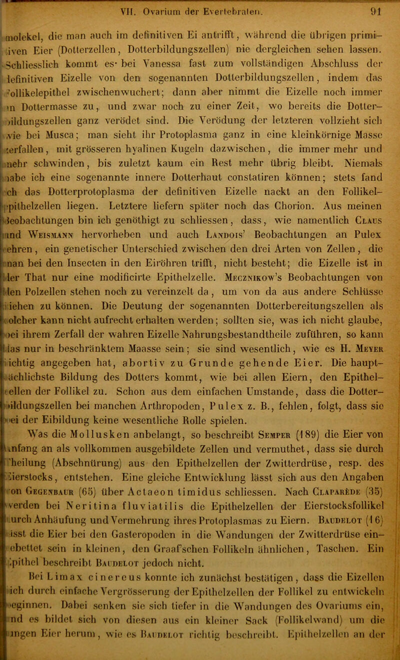 molekel, die man auch im definitiven Ei antriffl, während die übrigen primi- tiven Eier (Dotterzellen, Dotterbildungszellen) nie dergleichen sehen lassen. Schliesslich kommt es* bei Vanessa fast zum vollständigen Abschluss dci- iefinitiven Eizelle von den sogenannten Dotterbildungszellen, indem das ^llikelepithel zwischen wuchert; dann aber nimmt die Eizelle noch immer m Dottermasse zu, und zwar noch zu einer Zeit, wo bereits die Dotter- uldungszellen ganz verödet sind. Die Verödung der letzteren vollzieht sich ,vie bei Musca; man sieht ihr Protoplasma ganz in eine kleinkörnige Masse I lerfallen, mit grösseren hyalinen Kugeln dazwischen, die immer mehr und I nehr schwinden, bis zuletzt kaum ein Rest mehr übrig bleibt. Niemals labe ich eine sogenannte innere Dotterhaut constatiren können; stets fand ch das Dotterprotoplasraa der definitiven Eizelle nackt an den Follikel- rpithelzellen liegen. Letztere liefern später noch das Chorion. Aus meinen ^ Beobachtungen bin ich genöthigt zu schliessen, dass, wie namentlich Glaus und Weismann hervorheben und auch Landois’ Beobachtungen an Pulex - ehren, ein genetischer Unterschied zwischen den drei Arten von Zellen, die man bei den Insecten in den Eiröhren trifft, nicht besteht; die Eizelle ist in Iler That nur eine modificirte Epithelzelle. Mecznikow’s Beobachtungen von l len Polzellen stehen noch zu vereinzelt da , um von da aus andere Schlüsse iehen zu können. Die Deutung der sogenannten Dotterbereitungszellen als olcher kann nicht aufrecht erhalten werden; sollten sie, was ich nicht glaube, M)ei ihrem Zerfall der wahren Eizelle Nahrungsbestandtheile zuführen, so kann las nur in beschränktem Maasse sein; sie sind wesentlich, wie es H. Meyer richtig angegeben hat, abortiv zu Grunde gehende Eier. Die haupt- | mchlichste Bildung des Dotters kommt, wie bei allen Eiern, den Epithel- | (eilen der Follikel zu. Schon aus dem einfachen Umstande, dass die Dotter- itüldungszellen bei manchen Arthropoden, Pulex z. B., fehlen, folgt, dass sie ; )nei der Eibildung keine wesentliche Rolle spielen. t Was die Mollusken anbelangt, so beschreibt Semper (189) die Eier von i infang an als vollkommen ausgebildete Zellen und vermuthet, dass sie durch I ’heilung (Abschnürung) aus den Epithelzellen der Zwitterdrüse, resp. des | ■Cierstocks, entstehen. Eine gleiche Entwicklung lässt sich aus den Angaben j| ron Gegenbaur (65) über Actaeon timidus schliessen. Nach GuAPARtDE (35) werden bei Neritina fluviatilis die Epithelzellen der Eierstocksfollikel | ‘ urch Anhäufung und Vermehrung ihres Protoplasmas zu Eiern. Baudelot (16) ; I isst die Eier bei den Gasteropoden in die Wandungen der Zwitterdrüse ein- I. ebettetsein in kleinen, den Graafschen Follikeln ähnlichen, Taschen. Ein j, Epithel beschreibt Baudelot jedoch nicht. Bei Limax cinercus konnte ich zunächst bestätigen, dass die Eizellen f lieh durch einfache Vergrösserung derEpithclzellcn der Follikel zu entwickeln i'Cginncn. Dabei senken sie sich tiefer in die Wandungen des Ovariums ein, ij ind es bildet sich von diesen aus ein kleiner Sack (Follikelwand) um die j' ingen Eier hemm, wie es Baudklot richtig beschreibt. Epilhelzellen an der '