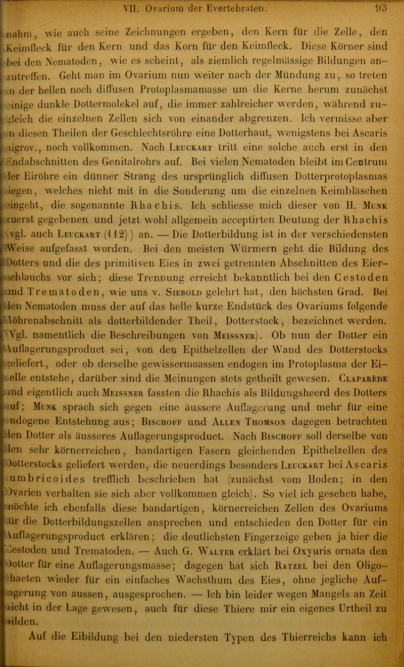j j nahm, wie auch seine Zeichnungen ergeben, den Kern für die Zelle, den j Keiinfleck für den Kern und das Korn für den Keimfleck. Diese Körner sind I bei den Nematoden, wie es scheint, als ziemlich regelmässige Bildungen an- j zutreffen. Geht man im Ovariurn nun weiter nach der Mündung zu, so treten i n der hellen noch diffusen Protoplasmamasse um die Kerne herum zunächst t einige dunkle Dottermolekel auf, die immer zahlreicher werden, während zu- I gleich die einzelnen Zellen sich von einander abgrenzen. Ich vermisse aber j n diesen Theilen der Geschlechtsröhre eine Dotterhaut, wenigstens bei Ascaris lisrov., noch vollkommen. Nach Leuckart tritt eine solche auch erst in den Rndabschnitten des Genitalrohrs auf. Bei vielen Nematoden bleibt im Gentrum 1er Eiröhre ein dünner Strang des ursprünglich diffusen Dotterprotoplasmas iegen, w^elches nicht mit in die Sonderung um die einzelnen Keimbläschen ?ingeht, die sogenannte Rhachis. Ich schliesse mich dieser von H. Munk iuerst gegebenen und jetzt wohl allgemein acceptirten Deutung der Rhachis *'vgl. auch Leuckart (112)) an. — Die Dotterbildung ist in der verschiedensten VWeise aufgefasst worden. Bei den meisten Würmern geht die Bildung des 1 Dotters und die des primitiven Eies in zwei getrennten Abschnitten des Eier- (>5chlauchs vor sich; diese Trennung erreicht bekanntlich bei den Gestoden uind Trematoden, wie uns v. Siebold gelehrt hat, den höchsten Grad. Bei ‘ilen Nematoden muss der auf das helle kurze Endstück des Ovariums folgende (l\öhrenabschnitt als dotterbildender Theil, Dotterstock, bezeichnet werden. :'Vgl. namentlich die Beschreibungen von Meissner). Ob nun der Dotter ein iU.uflagerungsproduct sei, von den Epithelzellen der Wand des Dotterstocks :.'eliefert, oder ob derselbe gewissermaassen endogen im Protoplasma der Ei- t.elle entstehe, darüber sind die Meinungen stets getheilt gewesen. GuAPARfeDE und eigentlich auch Meissner fassten die Rhachis als Bildungsheerd des Dotters i'iuf; Münk sprach sich gegen eine äussere Auflagerung und mehr für eine '! ndogene Entstehung aus; Bischöfe und Allen Thomson dagegen betrachten Heil Dotter als äusseres Auflagerungsproduct. Nach Bischoff soll derselbe von Ilen sehr körnerreichen, bandartigen Fasern gleichenden Epithelzellen des Ootterstocks geliefert werden, die neuerdings besonders Leuckart bei Ascaris umbricoides trefflich beschrieben hat (zunächst vom Hoden; in den Ovarien verhalten sie sich aber vollkommen gleich). So viel ich gesehen habe, möchte ich ebenfalls diese bandartigen, körnerreichen Zellen des Ovariums lür die Dotterbildungszellen ansprechen und entschieden den Dotter für ein Auflagerungsproduct erklären; die deutlichsten Fingerzeige geben ja hier die Gestoden und Trematoden. — Auch G. Walter erklärt bei Oxyuris ornata den Ootter für eine Auflagerungsmasse; dagegen hat sich Ratzel bei den Oligo- ’haeten wieder für ein einfaches Wachsthum des Eies, ohne jegliche Auf- ■agerung von aussen, ausgesprochen. — Ich bin leider wegen Mangels an Zeit licht in der Lage gewesen, auch für diese Thiere mir ein eigenes Urtheil zu 'lüden. Auf d e Eibildung bei den niedersten Typen des Thierreichs kann ich