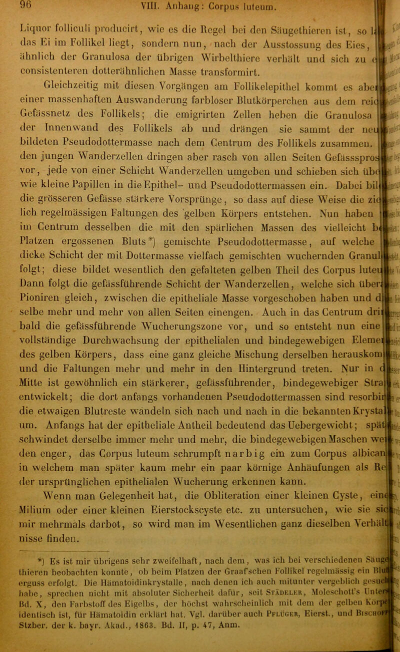 Liquor folliculi producirl, wie es die Regel bei den Silugethieren ist, so das Ei irn hollikel liegt, sondern nun, nach der Ausstossung des Eies, ähnlich der Granulosa der übrigen Wirbclthiere verhält und sich zu consistentercn dotterähnlichen Masse transformirt. Gleichzeitig mit diesen Vorgängen am Follikelepithel kommt es abe einer massenhaften Auswanderung farbloser Blutkörperchen aus dem rei Gefässnetz des Follikels; die emigrirten Zellen heben die Granulosa der Innenwand des Follikels ab und drängen sie sarnrnt der neu bildeten Pseudodottermasse nach dem Gentrum des Follikels zusammen, den jungen Wanderzellen dringen aber rasch von allen Seiten Gefässspron u.liL. vor, jede von einer Schicht Wanderzellen umgeben und schieben sich übn| wie kleine Papillen in die Epithel- und Pseudodotiermassen ein. Dabei bilj die grösseren Gefässe stärkere Vorsprünge, so dass auf diese Weise die ziof lieh regelmässigen Faltungen des 'gelben Körpers entstehen. Nun haben } im Cenlrum desselben die mit den spärlichen Massen des vielleicht b^ Platzen ergossenen Bluts *) gemischte Pseudodottermasse, auf welche j dicke Schicht der mit Dottermasse vielfach gemischten wuchernden Gran folgt; diese bildet wesentlich den gefalteten gelben Theil des Corpus lutev Dann folgt die gefässführende Schicht der Wanderzellen, welche sich über Pioniren gleich, zwischen die epitheliale Masse vorgeschoben haben und selbe mehr und mehr von allen Seiten einengen. Auch in das Gentrum dri bald die gefässführende Wucherungszone vor, und so entsteht nun eine vollständige Durchwachsung der epithelialen und bindegewebigen Eleme des gelben Körpers, dass eine ganz gleiche Mischung derselben herauskom und die Faltungen mehr und mehr in den Hintergrund treten. Nur in c Mitte ist gewöhnlich ein stärkerer, gefässführender, bindegewebiger Stra entwickelt; die dort anfangs vorhandenen Pseudodottermassen sind resorbi die etwaigen Blutreste wandeln sich nach und nach in die bekannten Krysta um. Anfangs hat der epitheliale Antheil bedeutend das Uebergewicht; spät 155, schwindet derselbe immer mehr und mehr, die bindegewebigen Maschen we den enger, das Corpus luteum schrumpft narbig ein zum Corpus albican e in welchem man später kaum mehr ein paar körnige Anhäufungen als Rc der ursprünglichen epithelialen Wucherung erkennen kann. Wenn man Gelegenheit hat, die Obliteration einer kleinen Cyste, ein< ir Milium oder einer kleinen Eierstockscyste etc. zu untersuchen, wie sie sic mir mehrmals darbot, so wird man im Wesentlichen ganz dieselben Verhält nisse linden. *) Es ist mir übrigens sehr zweifelhaft, nach dem, was ich bei verschiedenen Säug« thicren beobachten konnte, ob beim Platzen der Graaf.sehen Follikel regelmässig ein Bin erguss erfolgt. Die llämatoidinkrystalle, nach denen ich auch milunter vergeblich gesu habe, sprechen nicht mit absoluter Sichcrlieit dafür, seit Stadklkr, MoleschoU's Unte Bd. X, den FarbstolT des Eigelbs, der hücbst wahrscheinlich mit dom der gelben Kürp^ identisch ist, für Hämatoidin erklärt hat. Vgl. darüber auch Pflüger, Eierst., und Biscuo Stzber. der k. bayr. Akad., 1863. Bd. 11, p. 47, Anm.