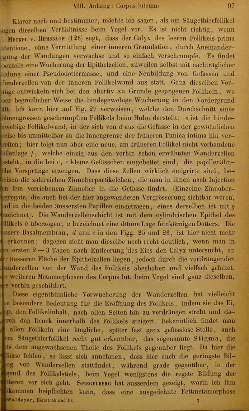 Klarer noch und bestimmter, möchte ich sagen, als am Säugethierfollikel egen dieselben Verhältnisse beim Vogel vor. Es ist nicht richtig, wenn . Meckel v. Hejisbach (126) sagt, dass der Galyx des leeren Follikels prima itentione, ohne Vermittlung einer inneren Granulation, durch Aneinander- gung der Wandungen verwachse und so einfach verschrumpfe. Es findet )enfalls eine Wucherung der Epithelzellen, zuweilen selbst mit nachträglicher ddiing einer Pseudodottermasse, und eine Neubildung von Gefässen und ’ anderzellen von der inneren Follikelwand aus statt. Ganz dieselben Vor- inge entwickeln sich bei den abortiv zu Grunde gegangenen Follikeln, wo )er begreiflicher Weise die bindegewebige Wucherung in den Vordergrund itt. Ich kann hier auf Fig. 27 verweisen, welche den Durchschnitt eines I )hnengrossen geschrumpften Follikels beim Huhn darstellt: e ist die binde- iwebige Follikelwand, in der sich von d aus die Gefässe in der gewöhnlichen ’eise bis unmittelbar an die Innengrenze der früheren Tunica intima hin ver- ii-eiten; hier folgt nun aber eine neue, am früheren Follikel nicht vorhandene filenlage f, welche einzig aus den vorhin schon erwähnten Wanderzellen ^!Steht, in die bei c, c kleine Gefässchen eingebettet sind, die papillenähn- iS he Vorsprünge erzeugen. Dass diese Zellen wirklich emigrirte sind, be- ; 3isen die zahlreichen Zinnoberpartikelchen, die man in ihnen nach Injection in fein verriebenem Zinnober in die Gefässe findet. (Einzelne Zinnober- l-gregate, die auch bei der hier angewendeten Vergrösserung sichtbar waren, iid in die beiden äussersten Papillen eingetragen, eines derselben ist mit g zeichnet). Die Wanderzellenschicht ist mit dem cylindrischen Epithel des llikels b überzogen; a bezeichnet eine dünne Lage feinkörnigen Dotters. Die ssere Basalmembran, d und e in den Figg. 25 und 26, ist hier nicht mehr erkennen; dagegen sieht man dieselbe noch recht deutlich, wenn man in :n ersten 2 — 3 Tagen nach Entleerung ;des Eies den Calyx untersucht, an äusseren Fläche der Epithelzellen liegen, jedoch durch die vordrängenden imderzellen von der Wand des Follikels abgehoben und vielfach gefaltet. ; weiteren Metamorphosen des Corpus lut. beim Vogel sind ganz dieselben, ■Q vorhin geschildert. Diese eigenthümliche Vorwucherung der Wanderzellen hat vielleicht e besondere Bedeutung für die Eröffnung des Follikels, indem sie das Ei, ip. den Follikelinhalt, nach allen Seiten hin zu verdrängen strebt und da- rch den Druck innerhalb des Follikels steigert. Bekanntlich findet man allen Follikeln eine längliche, später fast ganz gefässlose Stelle, auch im Säugethierfollikel recht gut erkennbar, das sogenannte Stigma, die Ils dem angewachsenen Theile des Follikels gegenüber liegt. Da hier die ässe fehlen, so lässt sich annehmen, dass hier auch die geringste Bil- ig von Wanderzellen stattfindet, während grade gegenüber, in der 5end des Follikelstiels, beim Vogel wenigstens die regste Bildung der iteren vor sich geht. Spieghlberg hat ausserdem gezeigt, worin ich ihm »kommen beipflichten kann, dass eine ausgedehnte Fettmetamorphose Waldeyer, Eierstock und Ei. 7